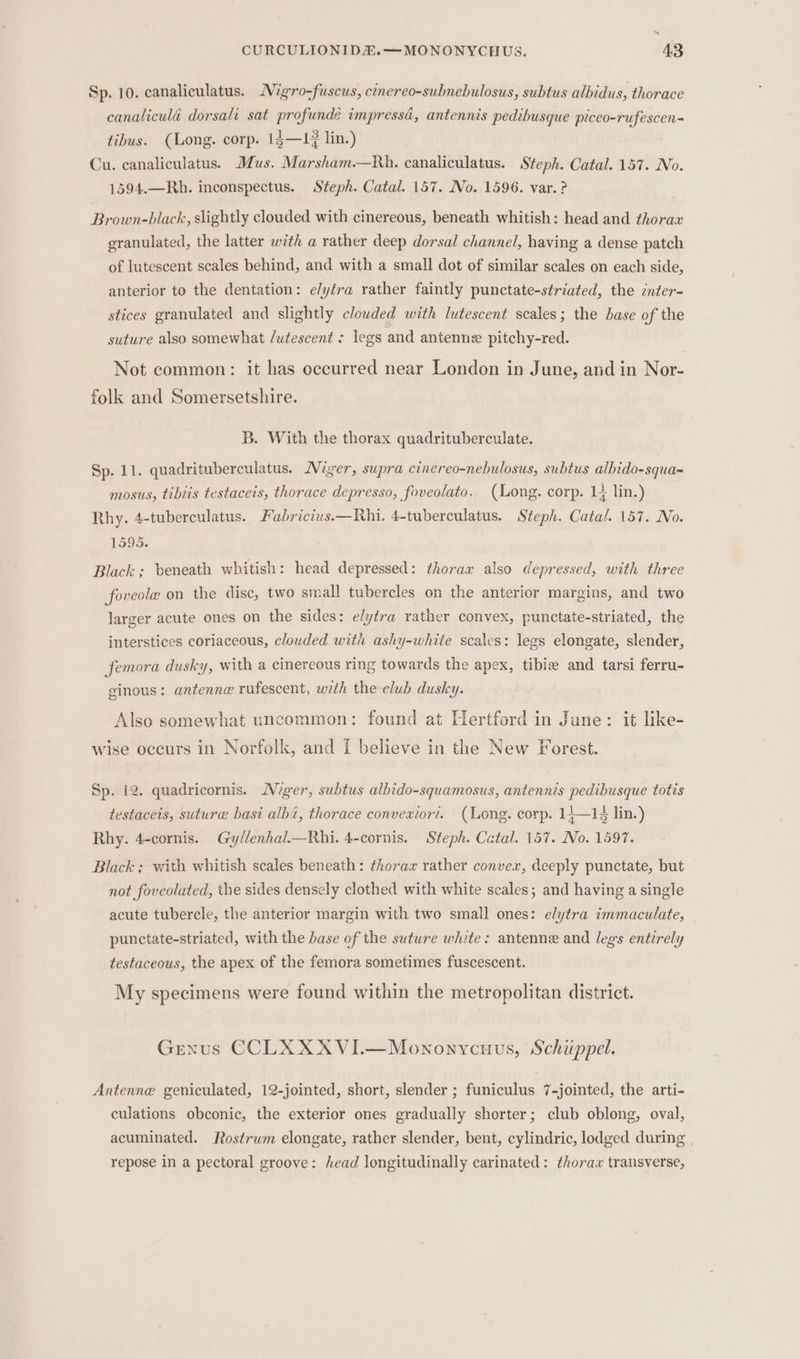 = CURCULIONIDEH.—MONONYCHEIUS. 43 Sp. 10. canaliculatus. Migro-fuscus, cenereo-subnebulosus, subtus albidus, thorace canaliculd dorsali sat profunde impressd, antennis pedibusque piceo-rufescen= tibus. (Long. corp. 13—1? lin.) Cu. canaliculatus. Mus. Marsham.—Rh. canaliculatus. Steph. Catal. 157. No. 1594.—Rh. inconspectus. Steph. Catal. 157. No. 1596. var. ? Brown-black, slightly clouded with cinereous, beneath whitish: head and thorax eranulated, the latter wth a rather deep dorsal channel, having a dense patch of lutescent scales behind, and with a small dot of similar scales on each side, anterior to the dentation: e/ytra rather faintly punctate-striated, the znter- stices granulated and slightly clouded with lutescent scales; the base of the suture also somewhat dutescent ; legs and antenne pitchy-red. Not common: it has occurred near London in June, and in Nor- folk and Somersetshire. B. With the thorax quadrituberculate. Sp. 11. quadrituberculatus. Niger, supra cinereo-nebulosus, subtus albido-squa-= mosus, tibiis testaceis, thorace depresso, foveolato. (Long. corp. 1; lin.) Rhy. 4-tuberculatus. Fabricius.—Rhi. 4-tuberculatus. Steph. Catal. 157. No. 1595. Black ; beneath whitish: head depressed: thorax also depressed, with three foveole on the disc, two small tubercles on the anterior margins, and two larger acute ones on the sides: elytra rather convex, punctate-striated, the interstices coriaceous, clouded with ashy-white scales: legs elongate, slender, femora dusky, with a cinereous ring towards the apex, tibie and tarsi ferru- ginous: antenne rufescent, wrth the elub dusky. Also somewhat uncommon: found at Hertford in June: it like- wise occurs in Norfolk, and I believe in the New Forest. 3 Sp. 12. quadricornis. Niger, subtus albido-squamosus, antennis pedibusque totis testaceis, suture basi alba, thorace convexior?. (Long. corp. 14;—14 lin.) Rhy. 4-cornis. Gyllenhal.—Rhi. 4-cornis. Steph. Catal. 157. No. 1597. Black ; with whitish scales beneath: thorax rather convex, deeply punctate, but not foveolated, the sides densely clothed with white scales; and having a single acute tubercle, the anterior margin with two small ones: elytra immaculate, punctate-striated, with the base of the suture white: antenne and legs entzrely testaceous, the apex of the femora sometimes fuscescent. My specimens were found within the metropolitan district. Genus CCLXXXVI.—Mononycuus, Schuppel. Antenne geniculated, 12-jointed, short, slender ; funiculus 7-jointed, the arti- culations obconic, the exterior ones gradually shorter; club oblong, oval, acuminated. Rostrum elongate, rather slender, bent, cylindric, lodged during repose in a pectoral groove: head longitudinally carinated: thorax transverse,