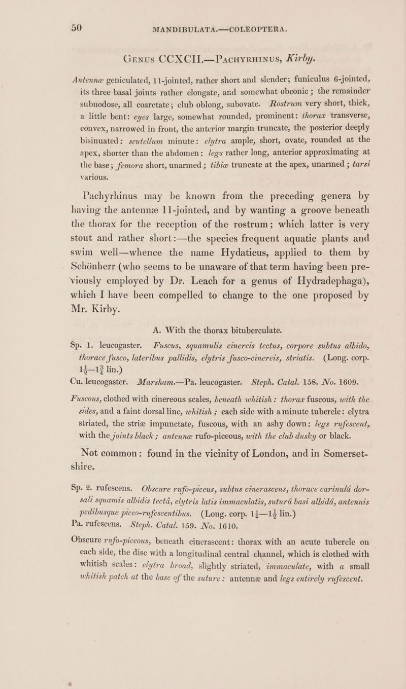 Genus CCXCII.—Pacuyruinus, Kirby. Antenne geniculated, 11-jointed, rather short and slender; funiculus 6-jointed, its three basal joints rather elongate, and somewhat obconic ; the remainder subnodose, all coarctate; club oblong, subovate. Rostrum very short, thick, a little bent: eyes large, somewhat rounded, prominent: thorax transverse, convex, narrowed in front, the anterior margin truncate, the posterior deeply bisinuated: scutellum minute: elytra ample, short, ovate, rounded at the apex, shorter than the abdomen: Jegs rather long, anterior approximating at the base; femora short, unarmed ; tibie truncate at the apex, unarmed ; ¢arsz Various. Pachyrhinus may be known from the preceding genera by having the antenne 11-jointed, and by wanting a groove beneath the thorax for the reception of the rostrum; which latter is very stout and rather short:—the species frequent aquatic plants and swim well—whence the name Hydaticus, applied to them by Schénherr (who seems to be unaware of that term having been pre- viously employed by Dr. Leach for a genus of Hydradephaga), which I have been compelled to change to the one proposed by Mr. Kirby. A. With the thorax bituberculate. Sp. 1. leucogaster. Fuscus, squamulis cinereis tectus, corpore subtus albido, thorace fusco, laterihbus pallidis, elytris fusco-cinereis, striatis. (Long. corp. 13—13 lin.) Cu. leucogaster. Marsham.—Pa. leucogaster. Steph. Catal. 158. No. 1609. Fuscous, clothed with cinereous scales, beneath whitish: thorax fuscous, with the sides, and a faint dorsal line, whitish ; each side with a minute tubercle: elytra striated, the strie impunctate, fuscous, with an ashy down: legs rufescent, with the joints black ; antenne rufo-piceous, with the club dusky or black. Not common: found in the vicinity of London, and in Somerset- shire. Sp. 2. rufescens. Obscure rufo-piceus, subtus cinerascens, thorace carinulé dor- salt squamis albidis tectd, elytris latis immaculatis, suturd basi albidd, antennis pedibusque piceo-rufescentibus. (Long. corp. 14—12 lin.) Pa. rufescens. Steph. Catal. 159. No. 1610. Obscure rufo-piceous, beneath cinerascent: thorax with an acute tubercle on each side, the disc with a longitudinal central channel, which is clothed with whitish scales: elytra broad, slightly striated, immaculate, with a small whitish patch at the base of the suture: antenne and legs entirely rufescent.