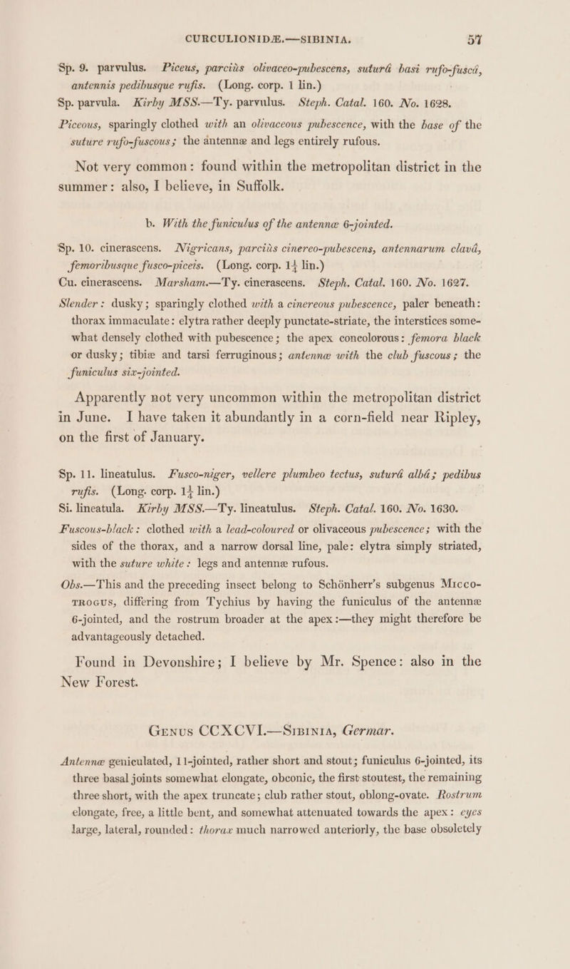 Sp. 9. parvulus. Piceus, parciiis olivaceo-pubescens, suturd bast rufo-fuscd, antennis pedibusque rufis. (ong. corp. 1 lin.) Sp. parvula. Kirby MSS.—Ty. parvulus. Steph. Catal. 160. No. 1628. Piceous, sparingly clothed with an olevaceous pubescence, with the hase of the suture rufo-fuscous; the antenne and legs entirely rufous. Not very common: found within the metropolitan district in the summer: also, I believe, in Suffolk. b. With the funtculus of the antenne 6-jointed. Sp. 10. cinerascens. MNigricans, parciis cinereo-pubescens, antennarum clava, femoribusque fusco-picers. (Long. corp. 14 lin.) Cu. cinerascens. Marsham.—Ty. cinerascens. Steph. Catal. 160. No. 1627. Slender: dusky; sparingly clothed wth a cinereous pubescence, paler beneath: thorax immaculate: elytra rather deeply punctate-striate, the interstices some- what densely clothed with pubescence; the apex concolorous: femora black or dusky; tibia and tarsi ferruginous; antenne with the club fuscous ; the funiculus six-jointed. Apparently not very uncommon within the metropolitan district in June. I have taken it abundantly in a corn-field near Ripley, on the first of January. Sp. 11. lineatulus. Fusco-niger, vellere plumbeo tectus, suturaé alba; pedibus rufis. (Long. corp. 1+ lin.) . Si. lineatula. Kerby MSS.—Ty. lineatulus. Steph. Cata/. 160. No. 1630. Fuscous-black: clothed with a lead-coloured or olivaceous pubescence; with the sides of the thorax, and a narrow dorsal line, pale: elytra simply striated, with the suture white: legs and antenne rufous. Obs.—This and the preceding insect belong to Schénherr’s subgenus Micco- trocus, differing from Tychius by having the funiculus of the antenne 6-jointed, and the rostrum broader at the apex:—they might therefore be advantageously detached. Found in Devonshire; I believe by Mr. Spence: also in the New Forest. Genus CCXCVI.—Sizin1a, Germar. Antenne geniculated, 11-jointed, rather short and stout; funiculus 6-jointed, its three basal joints somewhat elongate, obconic, the first stoutest, the remaining three short, with the apex truncate; club rather stout, oblong-ovate. Rostrum elongate, free, a little bent, and somewhat attenuated towards the apex: eyes large, lateral, rounded: thorax much narrowed anteriorly, the base obsoletely