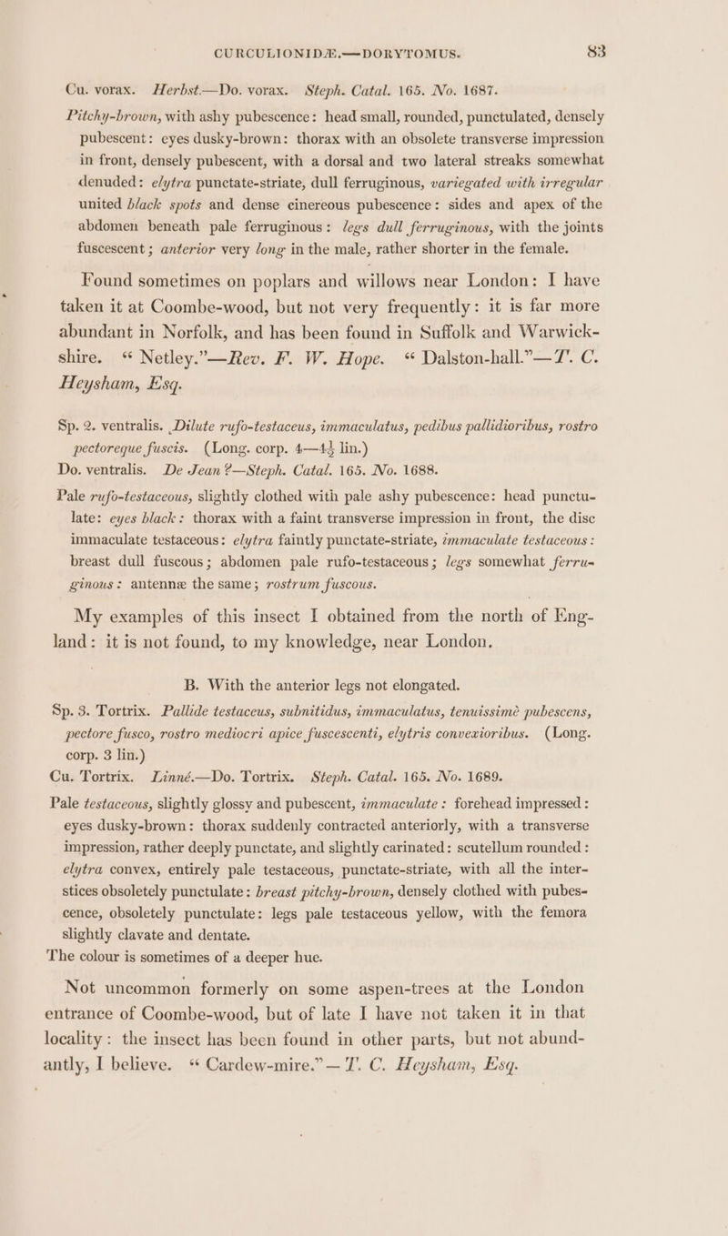 Cu. vorax. Herbst—Do. vorax. Steph. Catal. 165. No. 1687. Pitchy-brown, with ashy pubescence: head small, rounded, punctulated, densely pubescent: eyes dusky-brown: thorax with an obsolete transverse impression in front, densely pubescent, with a dorsal and two lateral streaks somewhat denuded: e/ytra punctate-striate, dull ferruginous, variegated with irregular united b/ack spots and dense cinereous pubescence: sides and apex of the abdomen beneath pale ferruginous: Jdegs dull ferruginous, with the joints fuscescent ; anterior very dong in the male, rather shorter in the female. Found sometimes on poplars and willows near London: | have taken it at Coombe-wood, but not very frequently: it is far more abundant in Norfolk, and has been found in Suffolk and Warwick- shire. “ Netley.”—Rev. F. W. Hope. “ Dalston-hall..—7’. C. Heysham, Esq. Sp. 2. ventralis. Dilute rufo-testaceus, immaculatus, pedibus pallidioribus, rostro pectoreque fuscis. (Long. corp. 4—4¢ lin.) Do. ventralis. De Jean ?—Steph. Catal. 165. No. 1688. Pale rufo-testaceous, slightly clothed with pale ashy pubescence: head punctu- late: eyes black: thorax with a faint transverse impression in front, the disc immaculate testaceous: elytra faintly punctate-striate, zmmaculate testaceous : breast dull fuscous; abdomen pale rufo-testaceous; legs somewhat ferru- ginous: antenne the same; rostrum fuscous. My examples of this insect I obtained from the north of Eng- land: it is not found, to my knowledge, near London. B. With the anterior legs not elongated. Sp. 3. Tortrix. Pallide testaceus, subnitidus, immaculatus, tenuissime pubescens, pectore fusco, rostro mediocri apice fuscescenti, elytris convexioribus. (Long. corp. 3 lin.) Cu. Tortrix. Linné.—Do. Tortrix. Steph. Catal. 165. No. 1689. Pale testaceous, slightly glossy and pubescent, zmmaculate : forehead impressed : eyes dusky-brown: thorax suddenly contracted anteriorly, with a transverse impression, rather deeply punctate, and slightly carinated: scutellum rounded : elytra convex, entirely pale testaceous, punctate-striate, with all the inter- stices obsoletely punctulate: breast pitchy-brown, densely clothed with pubes- cence, obsoletely punctulate: legs pale testaceous yellow, with the femora slightly clavate and dentate. The colour is sometimes of a deeper hue. Not uncommon formerly on some aspen-trees at the London entrance of Coombe-wood, but of late I have not taken it in that locality: the insect has been found in other parts, but not abund- antly, I believe. ‘ Cardew-mire.”— T. C. Heysham, Esq.