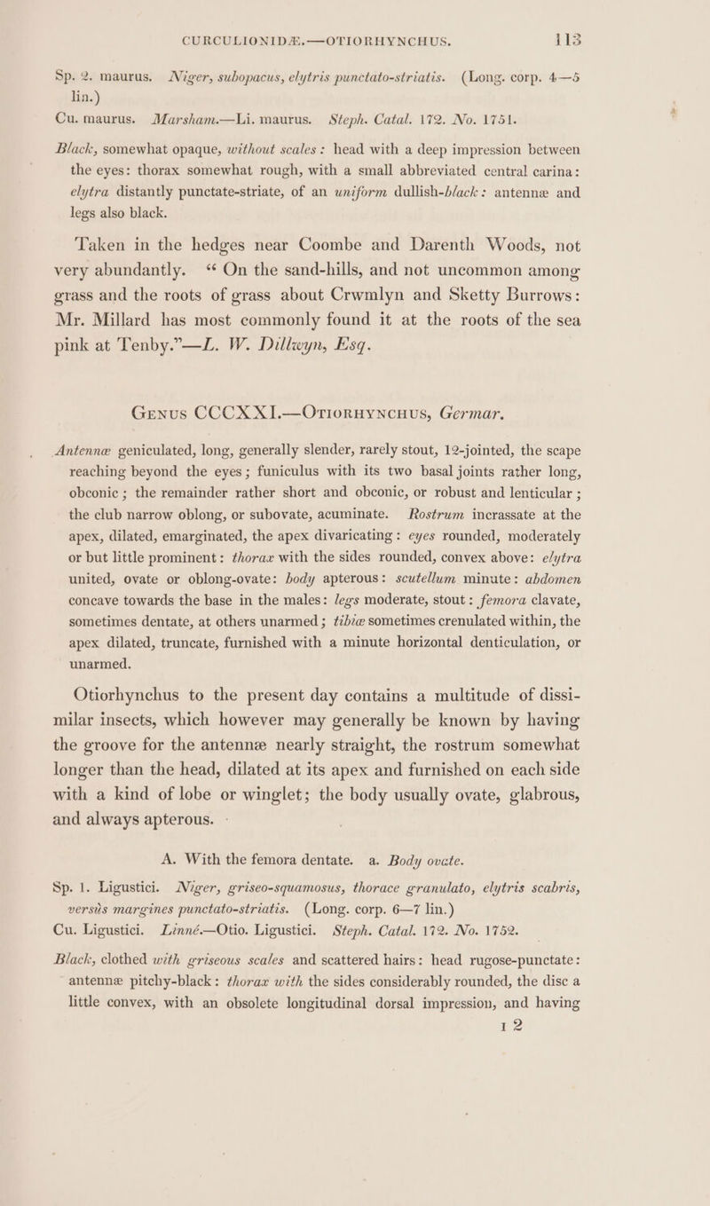 Sp. 2. maurus. Viger, suhopacus, elytris punctato-striatis. (Long. corp. 4—5 lin.) Cu. maurus. Marsham.—Li.maurus. Steph. Catal. 172. No. 1751. Black, somewhat opaque, without scales: head with a deep impression between the eyes: thorax somewhat rough, with a small abbreviated central carina: elytra distantly punctate-striate, of an uniform dullish-b/ack: antenne and legs also black. Taken in the hedges near Coombe and Darenth Woods, not very abundantly. “ On the sand-hills, and not uncommon among grass and the roots of grass about Crwmlyn and Sketty Burrows: Mr. Millard has most commonly found it at the roots of the sea pink at Tenby.”-—L. W. Dillwyn, Esq. Genus CCCX XI.—OriorHyncuHUus, Germar. Antenne geniculated, long, generally slender, rarely stout, 12-jointed, the scape reaching beyond the eyes; funiculus with its two basal joints rather long, obconic ; the remainder rather short and obconic, or robust and lenticular ; the club narrow oblong, or subovate, acuminate. Rostrum incrassate at the apex, dilated, emarginated, the apex divaricating : eyes rounded, moderately or but little prominent: thorax with the sides rounded, convex above: e/ytra united, ovate or oblong-ovate: body apterous: scutellum minute: abdomen concave towards the base in the males: /egs moderate, stout: femora clavate, sometimes dentate, at others unarmed ; tzbz@ sometimes crenulated within, the apex dilated, truncate, furnished with a minute horizontal denticulation, or unarmed. Otiorhynchus to the present day contains a multitude of dissi- milar insects, which however may generally be known by having the groove for the antenne nearly straight, the rostrum somewhat longer than the head, dilated at its apex and furnished on each side with a kind of lobe or winglet; the body usually ovate, glabrous, and always apterous. A. With the femora dentate. a. Body ovate. Sp. 1. Ligustici. Mger, griseo-squamosus, thorace granulato, elytris scabris, versus margines punctato-striatis. (Long. corp. 6—7 lin.) Cu. Ligustici. Lznné.—Otio. Ligustici. Steph. Catal. 172. No. 1752. Black, clothed with griseous scales and scattered hairs: head rugose-punctate : antenne pitchy-black: thorax with the sides considerably rounded, the disc a little convex, with an obsolete longitudinal dorsal impression, and having 12