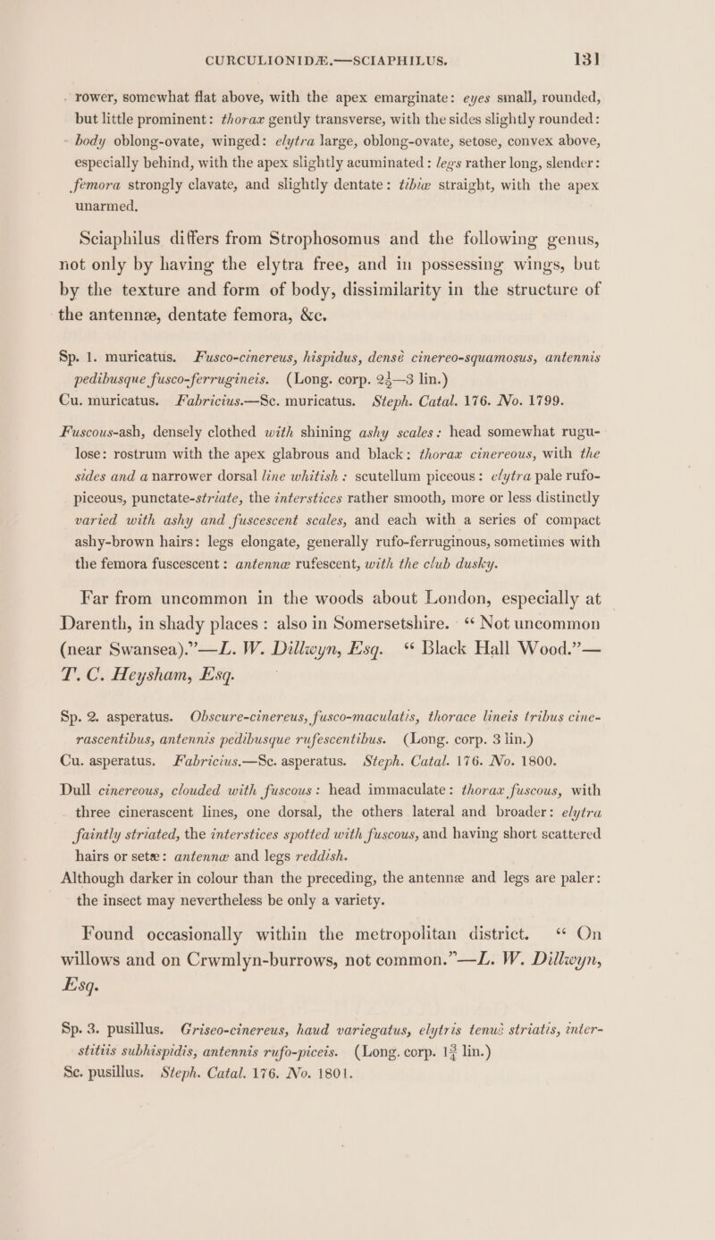 CURCULIONID&amp;.—SCIAPHILUS. 13] . rower, somewhat flat above, with the apex emarginate: eyes small, rounded, but little prominent: thorax gently transverse, with the sides slightly rounded: - body oblong-ovate, winged: elytra large, oblong-ovate, setose, convex above, especially behind, with the apex slightly acuminated : legs rather long, slender: femora strongly clavate, and slightly dentate: ¢zbze straight, with the apex unarmed, Sciaphilus differs from Strophosomus and the following genus, not only by having the elytra free, and in possessing wings, but by the texture and form of body, dissimilarity in the structure of the antenna, dentate femora, &amp;c. Sp. 1. muricatus. Fusco-cinereus, hispidus, densé cinereo-squamosus, antennis pedibusque fusco-ferrugineis. (Long. corp. 24—3 lin.) Cu. muricatus. Fabricius.—Sc. muricatus. Steph. Catal. 176. No. 1799. Fuscous-ash, densely clothed with shining ashy scales: head somewhat rugu- lose: rostrum with the apex glabrous and black: thorax cinereous, with the sides and a narrower dorsal line whitish : scutellum piceous: elytra pale rufo- piceous, punctate-strzate, the interstices rather smooth, more or less distinctly varied with ashy and fuscescent scales, and each with a series of compact ashy-brown hairs: legs elongate, generally rufo-ferruginous, sometimes with the femora fuscescent : antenna rufescent, with the club dusky. Far from uncommon in the woods about London, especially at Darenth, in shady places: also in Somersetshire. - “ Not uncommon (near Swansea).”—L. W. Dillwyn, Esq. ‘* Black Hall Wood.”— T.C. Heysham, Esq. Sp. 2. asperatus. Obscure-cinereus, fusco-maculatis, thorace lineis tribus cine- rascentibus, antennis pedibusque rufescentibus. (Long. corp. 3 lin.) Cu. asperatus. Fabricius.—Sc. asperatus. Steph. Catal. 176. No. 1800. Dull cinereous, clouded with fuscous: head immaculate: thorax fuscous, with three cinerascent lines, one dorsal, the others lateral and broader: elytra faintly striated, the interstices spotted with fuscous, and having short scattered hairs or setee: antenne and legs reddish. Although darker in colour than the preceding, the antenne and legs are paler: the insect may nevertheless be only a variety. Found occasionally within the metropolitan district. ‘“ On willows and on Crwmlyn-burrows, not common.”—L. W. Dillwyn, sq. Sp. 3. pusillus. Griseo-cinereus, haud variegatus, elytris tenué striatis, wnter- stitiis subhispidis, antennis rufo-piceis. (Long. corp. 1} lin.) Se. pusillus. Steph. Catal. 176. No. 1801.