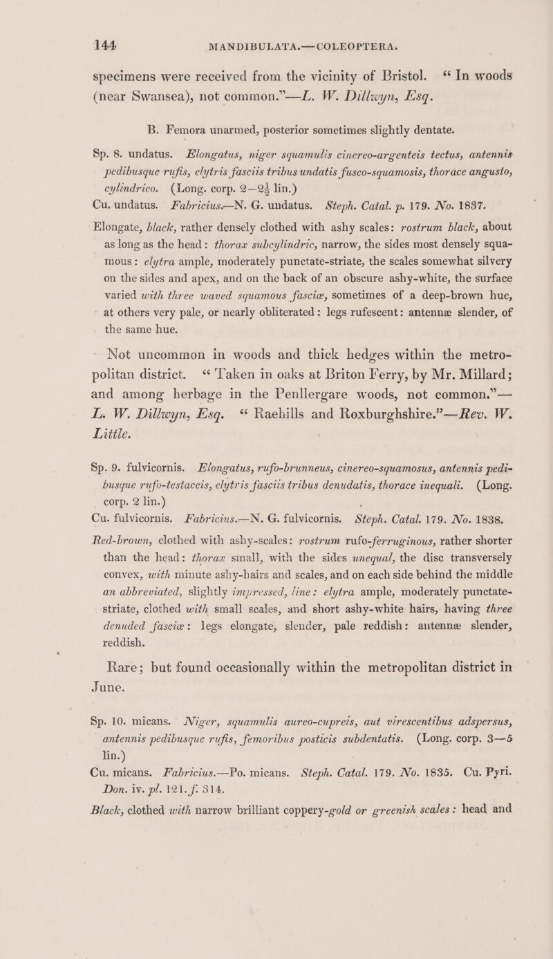 specimens were received from the vicinity of Bristol. ‘ In woods (near Swansea), not common.”—L. W. Dillwyn, Esq. B. Femora unarmed, posterior sometimes slightly dentate. Sp. 8. undatus. Hlongatus, niger squamulis cinereo-argenteis tectus, antennis pedibusque rufis, elytris fascits tribus undatis fusco-squamosis, thorace angusto, cylindrico. (Long. corp. 2—2é lin.) Cu. undatus. Fabricius——N. G. undatus. Steph. Catal. p. 179. No. 1837. Elongate, black, rather densely clothed with ashy scales: rostrum black, about as long as the head: thorax subcylindric, narrow, the sides most densely squa- ' mous: elytra ample, moderately punctate-striate, the scales somewhat silvery on the sides and apex, and on the back of an obscure ashy-white, the surface varied with three waved squamous fascie, sometimes of a deep-brown hue, ~ at others very pale, or nearly obliterated: legs rufescent: antenne slender, of the same hue. Not uncommon in woods and thick hedges within the metro- politan district. “ ‘Taken in oaks at Briton Ferry, by Mr. Millard; and among herbage in the Penllergare woods, not common.”— L. W. Dillwyn, Esq. “‘ Raehills and Roxburghshire.”—Rev. W. Litile. : Sp. 9. fulvicornis. Hlongatus, rufo-brunneus, cinereo-squamosus, antennis pedi= busque rufo-testaceis, elytris fascits tribus denudatis, thorace inequali. (Long. _ corp. 2 lin.) ; Cu. fulvicornis. Fabricius.—N. G. fulvicornis. Steph. Catal. 179. No. 1838. Red-brown, clothed with ashy-scales: rostrum rufo-ferruginous, rather shorter than the head: thorax small, with the sides wnequal, the disc transversely convex, with minute ashy-hairs and scales, and on each side behind the middle an abbreviated, slightly impressed, line: elytra ample, moderately punctate- striate, clothed with small scales, and short ashy-white hairs, having three denuded fascie: legs elongate, slender, pale reddish: autenne slender, reddish. Rare; but found occasionally within the metropolitan district in: June. Sp. 10. micans. Niger, squamulis aureo-cupreis, aut virescentibus adspersus, —antennis pedibusque rufis, femoribus posticis subdentatis. (Long. corp. 3—5 lin.) Cu. micans. Fabricius.—Po. micans. Steph. Catal. 179. No. 1835. Cu. Pyri. Don. iv. pl. 121. f. 314. , Black, clothed with narrow brilliant coppery-gold or greenish scales: head and