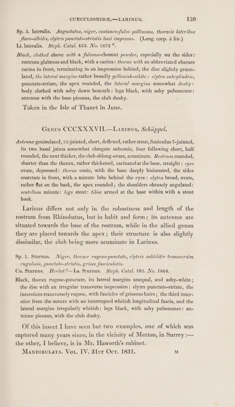 Sp. 5. lateralis. Angustatus, niger, castaneo-fulvo pollinosus, thoracis lateribus Slavo-albidis, elytris punctato-striatis basi impresso. (Long. corp. 5 lin.) Li. lateralis. Steph. Catal. 412. No. 1672 *. Black, clothed above with a fulvous-chesnut powder, especially on the sides: rostrum glabrous and black, with a carina: thorax with an abbreviated obscure carina in front, terminating in an impression behind, the disc slightly granu- lated, the lateral margins rather broadly yellowish-white : elytra subcylindric, punctate-striate, the apex rounded, the lateral margins somewhat dusky : body clothed with ashy down beneath : legs black, with aie pubescence : antenne with the base piceous, the club dusky. Taken in the Isle of Thanet in June. GENUS CCCXXXVIL—Lanrinus, Schuppel. Antenne genieulated, 12-jointed, short, deflexed, rather stout, funiculus 7-jointed, its two basal joints somewhat elongate subconic, four following short, half rounded, the next thicker, the club oblong-ovate, acuminate. Rostrum rounded, shorter than the thorax, rather thickened, carinated at the base, straight : eyes ovate, depressed: thorax conic, with the base deeply bisinuated, the sides coarctate in front, with a minute lobe behind the eyes: elytra broad, ovate, rather flat on the back, the apex rounded ; the shoulders obtusely angulated : scutellum minute: Jegs stout: tébie armed at the base within with a stout hook. Larinus differs not only in the robustness and length of the rostrum from Rhinobatus, but in habit and form; its antenne are situated towards the base of the rostrum, while in the allied genus they are placed towards the apex; their structure is also slightly dissimilar, the club being more acuminate in Larinus. Sp. 1. Sturnus. Niger, thorace rugoso-punctato, elytris subtiliter transversim rugulosis, punctato-striatis, griseo fasciculatis. Cu. Sturnus. Herbst?—La. Sturnus. Steph. Catal. 182. No. 1864, Black, thorax rugose-punctate, its lateral margins unequal, and ashy-white ; the disc with an irregular transverse impression: elytra punctate-striate, the interstices transversely rugose, with fascicles of griseous hairs ; the third inter- stice from the suture with an interrupted whitish longitudinal fascia, and the lateral margins irregularly whitish: legs black, with ashy pubescence: an- tenne piceous, with the club dusky. Of this insect I have seen but two examples, one of which was captured many years since, in the vicinity of Merton, in Surrey :— the other, I believe, is in Mr. Haworth’s cabinet. Manpipuata. Vou. IV. 31st Ocr. 1831. M