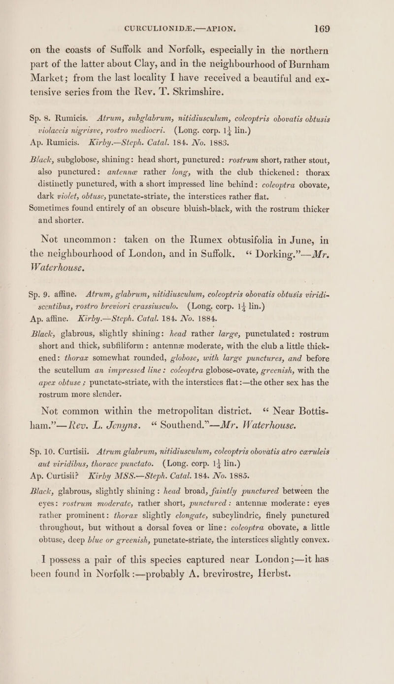 on the coasts of Suffolk and Norfolk, especially in the northern part of the latter about Clay, and in the neighbourhood of Burnham Market; from the last locality I have received a beautiful and ex- tensive series from the Rey. ‘I’. Skrimshire. Sp. 8. Rumicis. Atrum, subglabrum, nitidiusculum, coleoptris obovatis obtusis violaceis nigrisve, rostro mediocri. (Long. corp. 1+ lin.) Ap. Rumicis. Kirby.—Steph. Catal. 184. No. 1883. Black, subglobose, shining: head short, punctured: rostrum short, rather stout, also punctured: antenne rather /ong, with the club thickened: thorax distinctly punctured, with a short impressed line behind: coleoptra obovate, dark violet, obtuse, punctate-striate, the interstices rather flat. Sometimes found entirely of an obscure bluish-black, with the rostrum thicker and shorter. Not uncommon: taken on the Rumex obtusifolia in June, in the neighbourhood of London, and in Suffolk. ‘* Dorking.”—Mr. Waterhouse. Sp. 9. affine. Atrum, glabrum, nitidiusculum, coleoptris ebovatis obtusis viridi- scentibus, rostro breviori crassiusculo. (Long. corp. 1 lin.) Ap. affine. Kirby.—Steph. Catal. 184. No. 1884. Black, glabrous, slightly shining: head rather large, punctulated: rostrum short and thick, subfiliform : antenne moderate, with the club a little thick- ened: thorax somewhat rounded, globose, with large punctures, and before the scutellum an impressed line: coleoptra globose-ovate, greenish, with the apex obtuse ; punctate-striate, with the interstices flat:—the other sex has the rostrum more slender. Not common within the metropolitan district. ‘‘ Near Bottis- ham.”— Rev. L. Jenyns. “ Southend.”—-Mr. Waterhouse. Sp. 10. Curtisii. Atrum glabrum, nitidiusculum, coleoptris obovatis atro ceruleis aut viridibus, thorace punctato. (Long. corp. 14 lin.) Ap. Curtisii? Kirby MSS.—Steph. Catal. 184. No. 1885. Black, glabrous, slightly shining : head broad, faintly punctured between the eyes: rostrum moderate, rather short, punctured: antenne moderate: eyes rather prominent: thorax slightly elongate, subcylindric, finely punctured throughout, but without a dorsal fovea or line: coleoptra obovate, a little obtuse, deep blue or greenish, punctate-striate, the interstices slightly convex. I possess a pair of this species captured near London ;—it has been found in Norfolk :—probably A. brevirostre, Herbst.