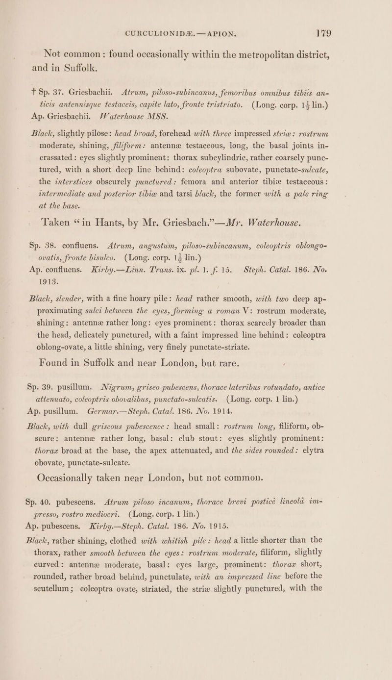 Not common: found occasionally within the metropolitan district, and in Suffolk. t Sp. 37. Griesbachii. Atrum, piloso-subincanus, femoribus omnibus tibits an- ticts antennisque testaceis, capite lato, fronte tristriato. (Long. corp. 14 lin.) Ap. Griesbachii. /Vaterhouse MSS. Black, slightly pilose: head broad, forehead with three impressed striae: rostrum moderate, shining, fil7form: antenne testaceous, long, the basal joints in- crassated : eyes slightly prominent: thorax subcylindric, rather coarsely punc- tured, with a short deep line behind: coleoptra subovate, punctate-sulcate, the interstices obscurely punctured: femora and anterior tibiw testaceous: intermediate and posterior tibie and tarsi black, the former with a pale ring at the hase. Taken “in Hants, by Mr. Griesbach.”—Mr. Waterhouse. Sp. 38. confluens. Atrum, angustum, piloso-subincanum, coleoptris oblongo- ovatis, fronte bisuleo. (Long. corp. 14 lin.) Ap. confluens. Kirby.—Linn. Trans. ix. pl. 1. f- 15. Steph. Catal. 186. No. 1913. Black, slender, with a fine hoary pile: head rather smooth, with two deep ap- proximating sulci between the eyes, forming a roman V: rostrum moderate, shining: antenne rather long: eyes prominent: thorax scarcely broader than the head, delicately punctured, with a faint impressed line behind: coleoptra oblong-ovate, a little shining, very finely punctate-striate. Found in Suffolk and near London, but rare. Sp. 39. pusillum. MNigrum, griseo pubescens, thorace lateribus rotundato, antice attenuato, coleoptris obovalibus, punctato-sulcatis. (Long. corp. 1 lin.) Ap. pusillum. Germar.—sSteph. Catal. 186. No. 1914. Black, with dall griseous pubescence: head small: rostrum long, filiform, ob- scure: antenne rather long, basal: club stout: eyes slightly prominent: thorax broad at the base, the apex attenuated, and the sedes rounded: elytra obovate, punctate-sulcate. Occasionally taken near London, but not common. Sp. 40. pubescens. Atrum piloso incanum, thorace brevi posticé lineold im- presso, rostro mediocri. (Long. corp. 1 lin.) Ap. pubescens. Kirby.—Steph. Catal. 186. No. 1915. Black, rather shining, clothed with whitish pile: head a little shorter than the thorax, rather smooth between the eyes: rostrum moderate, filiform, slightly curved: antenne moderate, basal: eyes large, prominent: thorax short, rounded, rather broad beliind, punctulate, with an zmpressed line before the scutellum; coleoptra ovate, striated, the strie slightly punctured, with the