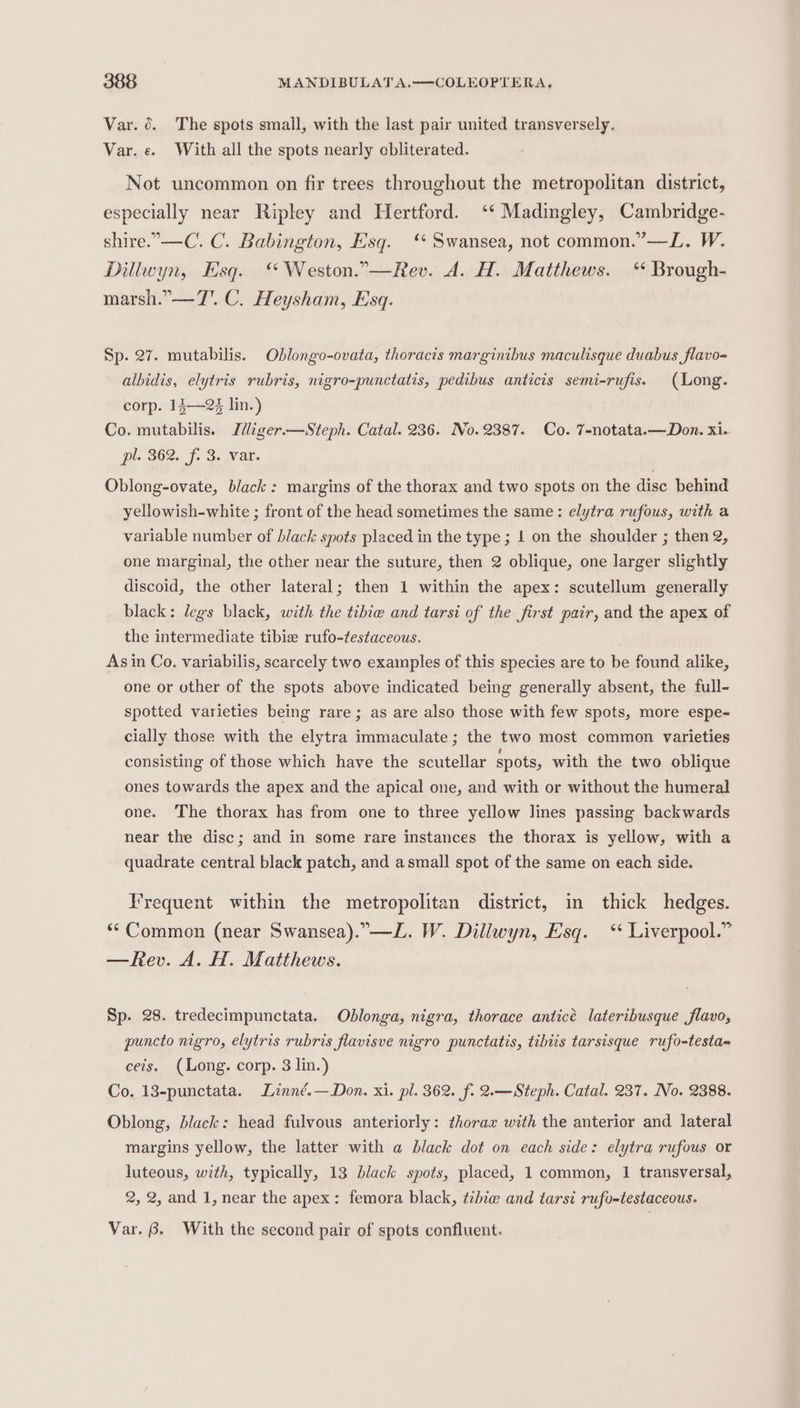 Var. 6. The spots small, with the last pair united transversely. Var. «. With all the spots nearly cbliterated. Not uncommon on fir trees throughout the metropolitan district, especially near Ripley and Hertford. ‘* Madingley, Cambridge- shire.”°—C. C. Babington, Esq. ‘ Swansea, not common.’—L. W. Dillwyn, Esq. ‘ Weston.”—Rev. A. H. Matthews. “ Brough- marsh.” —7'. C. Heysham, Esq. Sp. 27. mutabilis. Oblongo-ovata, thoracis marginibus maculisque duabus flavo- albidis, elytris rubris, nigro-punctatis, pedibus anticis semi-rufis. (Long. corp. 15—23 lin.) Co. mutabilis. Iliger—Steph. Catal. 236. No. 2387. Co. 7-notata.—Don. xi. pl. 362. f. 3. var. Oblong-ovate, black: margins of the thorax and two spots on the disc behind yellowish-white ; front of the head sometimes the same: elytra rufous, with a variable number of black spots placed in the type; 1 on the shoulder ; then 2, one marginal, the other near the suture, then 2 oblique, one larger slightly discoid, the other lateral; then 1 within the apex: scutellum generally black: legs black, with the tibie and tarsi of the first pair, and the apex of the intermediate tibie rufo-testaceous. | Asin Co. variabilis, scarcely two exainples of this species are to be found alike, one or other of the spots above indicated being generally absent, the full- spotted varieties being rare; as are also those with few spots, more espe- cially those with the elytra immaculate; the two most common varieties consisting of those which have the scutellar spots, with the two oblique ones towards the apex and the apical one, and with or without the humeral one. The thorax has from one to three yellow lines passing backwards near the disc; and in some rare instances the thorax is yellow, with a quadrate central black patch, and asmall spot of the same on each side. Frequent within the metropolitan district, in thick hedges. “Common (near Swansea).”—L. W. Dillwyn, Esq. ‘‘ Liverpool.” —Rev. A. H. Matthews. Sp. 28. tredecimpunctata. Oblonga, nigra, thorace anticé lateribusque flavo, puncto nigro, elytris rubris flavisve nigro punctatis, tihits tarsisque rufo-testa- ceis. (Long. corp. 3 lin.) Co. 13-punctata. Linné.—Don. xi. pl. 362. f. 2.—Steph. Catal. 237. No. 2388. Oblong, black: head fulvous anteriorly: thorax with the anterior and lateral margins yellow, the latter with a black dot on each side: elytra rufous or luteous, with, typically, 13 black spots, placed, 1 common, 1 transversal, 2, 2, and 1, near the apex: femora black, tibie and tarsi rufo-testaceous. Var. 8. With the second pair of spots confluent.