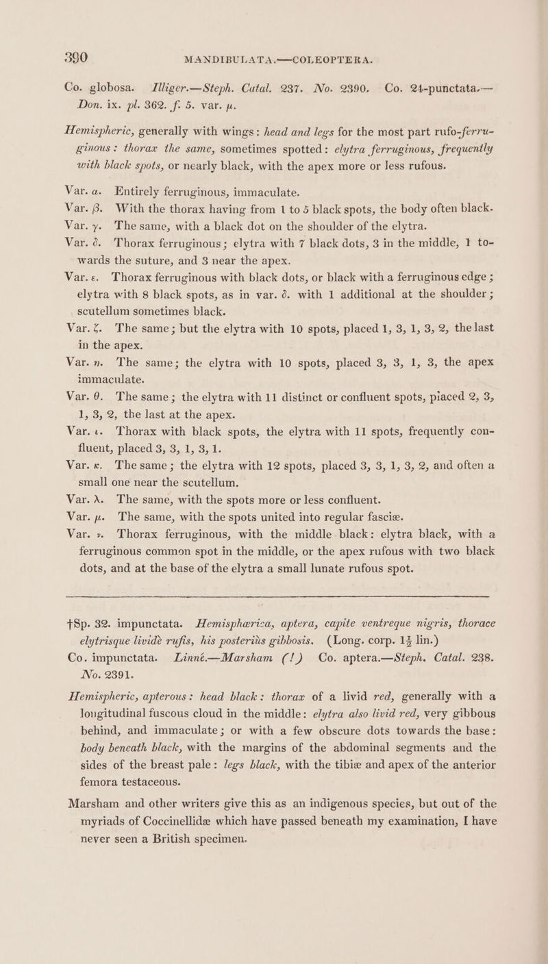 Co. globosa. Jlliger.—Steph. Cutal. 237. No. 2390. Co. 24-punctata.— Don. ix, pl. 362. f. 5. var. ji. Hemispheric, generally with wings: head and legs for the most part rufo-ferru- ginous : thorax the same, sometimes spotted: elytra ferruginous, frequently with black spots, or nearly black, with the apex more or less rufous. Var.a. Entirely ferruginous, immaculate. Var. 8. With the thorax having from 1 to 5 black spots, the body often black. Var. y. The same, with a black dot on the shoulder of the elytra. Var. 0. Thorax ferruginous; elytra with 7 black dots, 3 in the middle, 1 to- wards the suture, and 3 near the apex. Var.«. Thorax ferruginous with black dots, or black with a ferruginous edge ; elytra with 8 black spots, as in var. 6. with 1 additional at the shoulder ; scutellum sometimes black. Var.g. The same; but the elytra with 10 spots, placed 1, 3, 1, 3, 2, the last in the apex. Var. n. The same; the elytra with 10 spots, placed 3, 3, 1, 3, the apex immaculate. Var. 0. The same; the elytra with 11 distinct or confluent spots, piaced 2, 3, 1, 3, 2, the last at the apex. Var.c. Thorax with black spots, the elytra with 11 spots, frequently con- fluent, placed 3, 3, 1, 3, 1. Var. x. Thesame; the elytra with 12 spots, placed 3, 3, 1, 3, 2, and often a small one near the scutellum. Var. X. The same, with the spots more or less confluent. Var. «. The same, with the spots united into regular fascie. Var. » Thorax ferruginous, with the middle black: elytra black, with a ferruginous common spot in the middle, or the apex rufous with two black dots, and at the base of the elytra a small lunate rufous spot. tSp. 32. impunctata. Hemispherica, aptera, capite ventreque nigris, thorace elytrisque lividé rufis, his posterits gihbosis, (ong. corp. 13 lin.) Co. impunctata. Linné.—Marsham (!) Co. aptera.—Steph. Catal. 238. No. 2391. Hemispheric, apterous: head black: thorax of a livid red, generally with a longitudinal fuscous cloud in the middle: elytra also livid red, very gibbous behind, and immaculate; or with a few obscure dots towards the base: body beneath black, with the margins of the abdominal segments and the sides of the breast pale: legs black, with the tibie and apex of the anterior femora testaceous. Marsham and other writers give this as an indigenous species, but out of the myriads of Coccinellide which have passed beneath my examination, I have never seen a British specimen.
