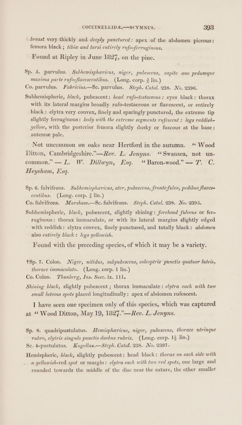 \ breast very thickly and deeply punctured: apex of the abdomen piceous : femora black ; ¢ibie and tarsi entirely ru O-ferruginous. Found at Ripley in June 1827, on the pine. Sp. 5. parvulus. Subhemisphericus, miger, pubescens, capite ano pedumque maxima parte rufo-flavescentibus. (Long. corp. 2 lin.) Co. parvulus. Fabricius.—Sc. parvulus. Steph. Catal. 238. No. 2396. Subhemispheric, black, pubescent: head rufo-testaceous: eyes black: thorax with its lateral margins broadly rufo-testaceous or flavescent, or entirely black: elytra very convex, finely and sparingly punctured, the extreme tip slightly ferruginous: body with the extreme segments rufescent : legs reddish= yellow, with the posterior femora slightly dusky or fuscous at the base: antenne pale. Not uncommon on oaks near Hertford in the autumn. ‘“ Wood Ditton, Cambridgeshire.—Rev. L. Jenyns. ‘Swansea, not un- common.” — L. W. Dillwyn, Esq. ‘“ Baron-wood.” — 7. C. Heysham, Esq. Sp. 6. fulvifrons. Subhemisphwricus, ater, pubescens, fronte fulvo, pedibus flaves= centibus. (Long. corp. 3 lin.) Co. fulvifrons. Marsham.—Sc. fulvifrons. Steph. Catal. 238. No. 2395. Subhemispheric, black, pubescent, slightly shining: forehead fulvous or fer- ruginous: thorax immaculate, or with its lateral margins slightly edged with reddish: elytra convex, finely punctured, and totally black: abdomen also entirely black: legs yellowish. Found with the preceding species, of which it may be a variety. tSp. 7. Colon. Niger, nitidus, subpubescens, coleoptris punctis quatuor lutets, thorace immaculato. (Long. corp. 1 lin.) Co. Colon. Thunberg, Ins. Suec. ix. 111. Shining black, slightly pubescent ; thorax immaculate: elytra each with two small luteous spots placed longitudinally: apex of abdomen rufescent. I have seen one specimen only of this species, which was captured at “ Wood Ditton, May 19, 1827.”—Rev. L. Jenyns. Sp. 8. quadripustulatus. Hemisphericus, niger, pubescens, thorace utrinque rubro, elytris singulo punctis duobus rubris. (Long. corp. 1% lin.) Sc. 4-pustulatus. Kugellan.—Steph. Catal. 238. No. 2397. Hemispheric, black, slightly pubescent: head black: thorax on each side with a yellowish-red spot or margin: elytra each with two red spots, one large and rounded towards the middle of the disc near the suture, the other smaller