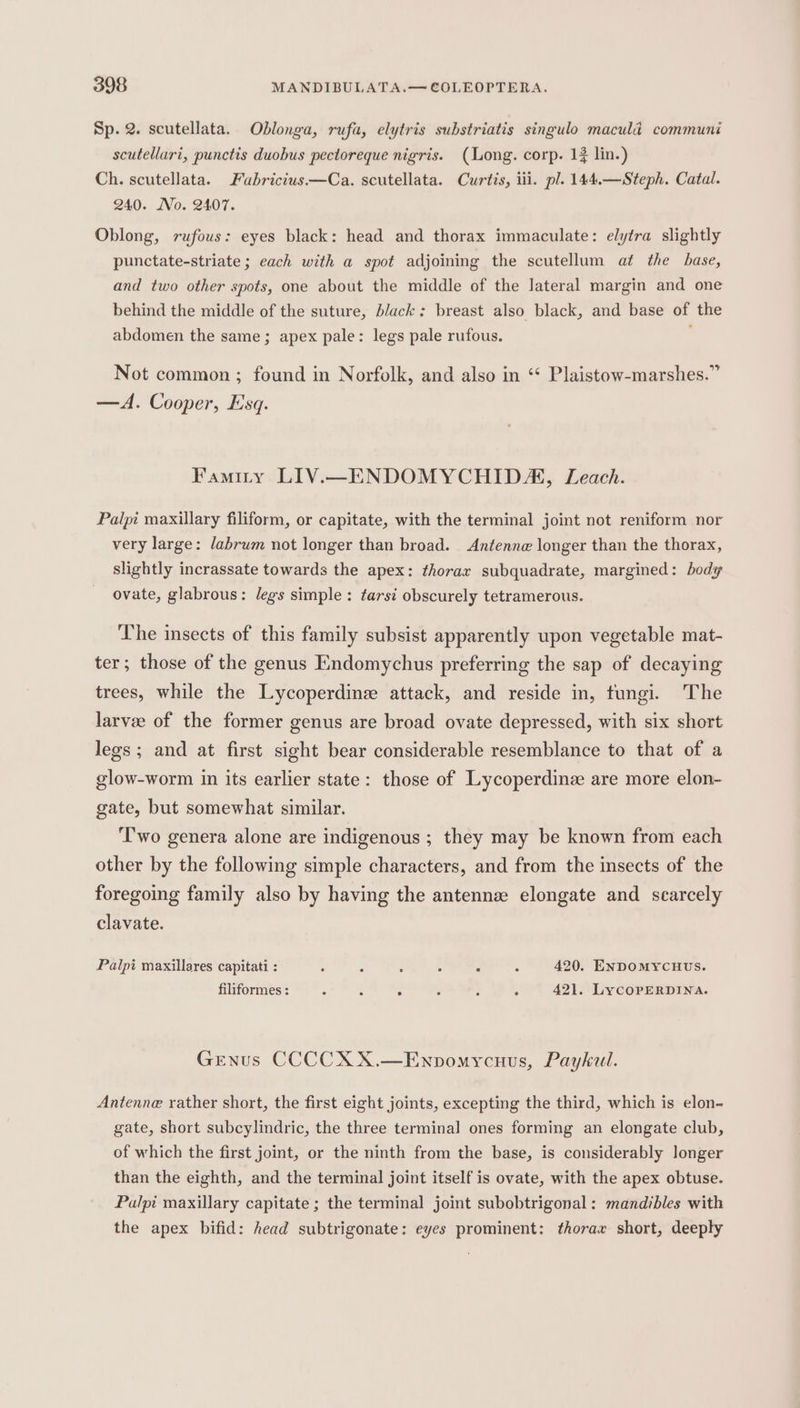 Sp. 2. scutellata. Oblonga, rufa, elytris substriatis singulo maculad communi scutellari, punctis duobus pectoreque nigris. (Long. corp. 13 lin.) Ch. scutellata. Fubricius——Ca. scutellata. Curtis, ili. pl. 144.—Steph. Catal. 240. No. 2407. Oblong, rufous: eyes black: head and thorax immaculate: elytra slightly punctate-striate ; each with a spot adjoining the scutellum at the base, and two other spots, one about the middle of the lateral margin and one behind the middle of the suture, black: breast also black, and base of the abdomen the same; apex pale: legs pale rufous. Not common ; found in Norfolk, and also in ‘* Plaistow-marshes.” —A. Cooper, Esq. Famiry LIV.—ENDOMYCHIDA, Leach. Palpi maxillary filiform, or capitate, with the terminal joint not reniform nor very large: labrum not longer than broad. Antenne longer than the thorax, slightly incrassate towards the apex: thorax subquadrate, margined: body ovate, glabrous: legs simple: tarsi obscurely tetramerous. The insects of this family subsist apparently upon vegetable mat- ter; those of the genus Endomychus preferring the sap of decaying trees, while the Lycoperdine attack, and reside in, tungi. The larvee of the former genus are broad ovate depressed, with six short legs ; and at first sight bear considerable resemblance to that of a glow-worm in its earlier state: those of Lycoperdine are more elon- gate, but somewhat similar. Two genera alone are indigenous ; they may be known from each other by the following simple characters, and from the insects of the foregoing family also by having the antenne elongate and scarcely clavate. Palpi maxillares capitati : : : ‘ . . : 420. ENDOMYCHUS. filiformes : ; : . : : ° 421. LycoPpERDINA. Genus CCCCXX.—Enpomycuus, Paykul. Antenne rather short, the first eight joints, excepting the third, which is elon- gate, short subcylindric, the three terminal ones forming an elongate club, of which the first joint, or the ninth from the base, is considerably longer than the eighth, and the terminal joint itself is ovate, with the apex obtuse. Palpi maxillary capitate; the terminal joint subobtrigonal: mandibles with the apex bifid: head subtrigonate: eyes prominent: thorax short, deeply