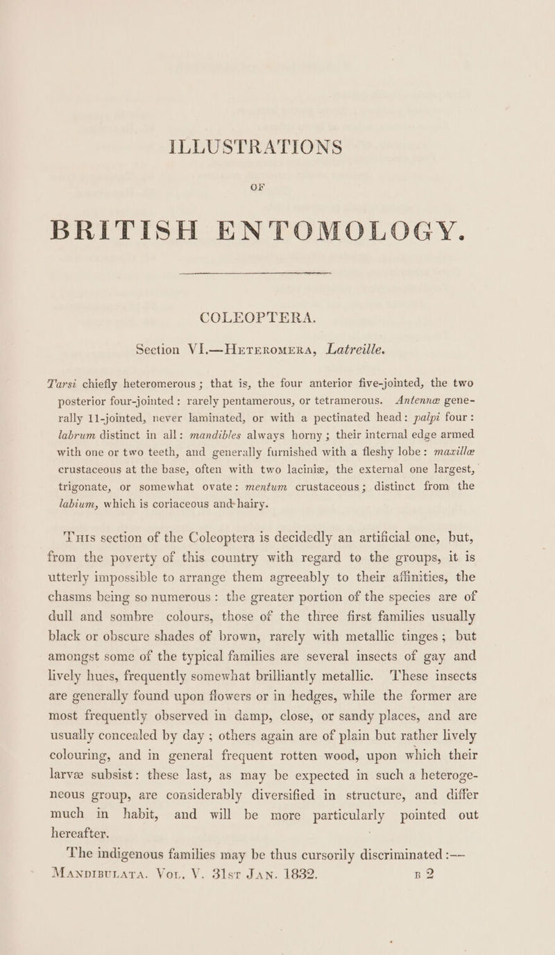 Or BRITISH ENTOMOLOGY. COLEOPTERA. Section VI.—Hzrrrernomera, Latreille. Tarsi chiefly heteromerous ; that is, the four anterior five-jointed, the two posterior four-jointed : rarely pentamerous, or tetramerous. Antenne gene- rally 11-jointed, never laminated, or with a pectinated head: paipi four: labrum distinct in all: mandibles always horny ; their internal edge armed with one or two teeth, and generally furnished with a fleshy lobe: mazille crustaceous at the base, often with two lacinie, the external one largest, trigonate, or somewhat ovate: mentum crustaceous; distinct from the labium, which is coriaceous and-hairy. Tuts section of the Coleoptera is decidedly an artificial one, but, from the poverty of this country with regard to the groups, it is utterly impossible to arrange them agreeably to their affinities, the chasms being so numerous: the greater portion of the species are of dull and sombre colours, those of the three first families usually black or obscure shades of brown, rarely with metallic tinges; but amongst some of the typical families are several insects of gay and lively hues, frequently somewhat brilliantly metallic. These insects are generally found upon flowers or in hedges, while the former are most frequently observed in damp, close, or sandy places, and are usually concealed by day ; others again are of plain but rather lively colouring, and in general frequent rotten wood, upon which their larvee subsist: these last, as may be expected in such a heteroge- neous group, are considerably diversified in structure, and differ much in habit, and will be more particularly poimted out hereafter. ' The indigenous families may be thus cursorily discriminated :-— Manorgutara. Vor. V. 3lsr Jan. 1832. BQ