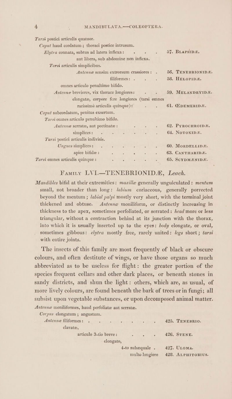 Tarsi postici articulis quatuor. Caput haud cordatum ; thoraci postice intrusum. Elytra connata, subtus ad latera inflexa : . 4 ; 57. BLAPSIDA. aut libera, sub abdomine non inflexa. Tarst articulis simplicibus. Antenne sensim extrorsum crassiores: . 56. TENEBRIONID&amp;. filiformes: . ; , 58. HELOPIDA. omnes articulo penultimo bifido. Antenne breviores, vix thorace longiores: . , 59. MELANDRYIDZ. elongate, corpore fere longiores (tarsi omnes rarissimé articulis quinque)* ; , 61. GEDEMERID, Caput subcordatum, penitus exsertum. Tarst omnes articulo penuJtimo bifide. Antenne serrate, aut pectinate : 3 ° “ 62. PyROCHROID, simplices: : : : c ; 64. NoTOXID®. Tarsi postici articulis indivisis. Ungues simplices: —. ; : : : : 60. MorDELLID#. apice bifid : : 6 . : ; 63. CANTHARID#. Tarsi omnes articulis quinque : : : : : ; 65. SCYDMANID&amp;. Famity LVI.—TENEBRIONIDA, Leach. Mandibles bifid at their extremities: mazille generally unguiculated : mentum small, not broader than long: Jlabiuwm coriaceous, generally porrected beyond the mentum ; labial palpi mostly very short, with the terminal joint thickened and obtuse. Antenne moniliform, or distinctly increasing in thickness to the apex, sometimes perfoliated, or serrated: head more or less triangular, without a contraction behind at its junction with the thorax, into which it is usually inserted up to the eyes: body elongate, or oval, sometimes gibbous: elytra mostly free, rarely united: legs short; tarsé with entire joints. The insects of this family are most frequently of black or obscure colours, and often destitute of wings, or have those organs so much abbreviated as to be useless for flight: the greater portion of the species frequent cellars and other dark places, or beneath stones in sandy districts, and shun the light: others, which are, as usual, of more lively colours, are found beneath the bark of trees or in fungi; all subsist upon vegetable substances, or upon decomposed animal matter. Antenne moniliformes, haud perfoliate aut serrate. Corpus elongatum ; angustum. Antenne filiformes: . ‘ ; é 3 : : 425. TENEBRIO. clavate, articulo 3-tio breve : ‘ . 426, STENE. elongato, 4.to subequale . 427. ULoma. multolongiore 428. ALPHITOBIUS.