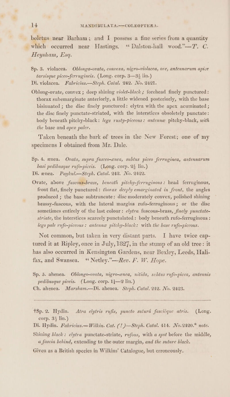 boletus near Barham; and I possess a fine series from a quantity which occurred near Hastings. ‘ Dalston-hall woed.—T. C. Heysham, Esq. Sp. 3. violacea. Oblonga-ovata, convexa, nigro-violacea, ore, antennarum apice tarsisque piceo-ferrugineis. (Long. corp. 3—3% lin.) Di. violacea. Fabricius.—Steph. Catal. 242. [Vo. 2421. Oblong-ovate, convex ; deep shining violet-black ; forehead finely punctured: thorax subemarginate anteriorly, a little widened posteriorly, with the base bisinuated ; the disc finely punctured: elytra with the apex acuminated ; the disc finely punctate-striated, with the interstices obsoletely punctate: body beneath pitchy-black: legs rusty-piceous: antenne pitchy-black, with the base and apex paler. Taken beneath the bark of trees in the New Forest; one of my specimens I obtained from Mr. Dale. Sp. 4. enea. Ovata, supra fusceo-enea, subtus piceo ferruginea, antennarum basi pedibusque rufo-piceis. (Long. corp. 2% lin.) Di. enea. Paykul.—Steph. Catal. 242. No. 2422. Ovate, above fuscous-brass, beneath pitchy-ferruginous: head ferruginous, front flat, finely punctured: thorax deeply emarginated in front, the angles produced ; the base subtruncate: disc moderately convex, polished shining brassy-fuscous, with the lateral margins rufo-ferruginous; or the disc sometimes entirely of the last colour: e/ytra fuscous-brass, finely punctate- striate, the interstices scarcely punctulated: body beneath rufo-ferruginous : legs pale rufo-piceous : antenne pitchy-black: with the base rufo-piceous. Not common, but taken in very distant parts. I have twice cap- tured it at Ripley, once in July, 1827, in the stump of an old tree: it has also occurred in Kensington Gardens, near Bexley, Leeds, Hali- fax, and Swansea. ‘* Netley..—Rev. F. W. Hope. Sp. 5. ahenea. Oblongo-ovaia, nigro-wnea, nitida, subtus rufo-picea, antennis pedibusque piceis. (Long. corp. 1}—@ lin.) Ch. ahenea. Marsham.—Di. ahenea. Steph. Catal. 242. No. 2423. tSp. 2. Hydin. Aira elytris rufis, puncto suturd fuscicque atris. (Long. corp. 34 lin.) Di. Hydin. Fabricius.— Wilkin. Cat. (! )—Steph. Catal. 414. No.2420.* note. Shining black: elytra punctate-striate, rufous, with a spot before the middle, a fascia behind, extending to the outer margin, and the suture black. Given as a British species in Wilkins’ Catalogue, but erroneously.