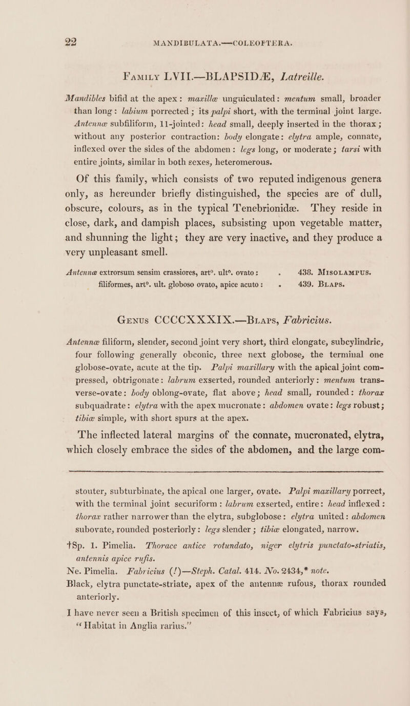 Famity LVII.—BLAPSIDA, Latreille. Mandibles bifid at the apex: maville unguiculated: mentum small, broader than long: labium porrected ; its palpi short, with the terminal joint large. Antenne subfiliform, 11-jointed: head small, deeply inserted in the thorax ; without any posterior contraction: body elongate: elytra ample, connate, inflexed over the sides of the abdomen: legs long, or moderate ; tarsi with entire joints, similar in both sexes, heteromerous. Of this family, which consists of two reputed indigenous genera only, as hereunder briefly distinguished, the species are of dull, obscure, colours, as in the typical Tenebrionide. ‘They reside in close, dark, and dampish places, subsisting upon vegetable matter, and shunning the light; they are very inactive, and they produce a very unpleasant smell. Antenne extrorsum sensim crassiores, art®. ult®. ovato: : 438. M1soLamMPus. filiformes, art®. ult. globoso ovato, apice acuto : ° 439. BLaps. Genus CCCCXXXIX.—Buaprs, Fabricius. Antenne filiform, slender, second joint very short, third elongate, subcylindric, four following generally obconic, three next globose, the terminal one globose-ovate, acute at the tip. Palpt mavillary with the apical joint com- pressed, obtrigonate: labrum exserted, rounded anteriorly: mentum trans-~ verse-ovate: body oblong-ovate, flat above; head small, rounded: thorax subquadrate: elytra with the apex mucronate: abdomen ovate: legs robust; tibie simple, with short spurs at the apex. The inflected lateral margins of the connate, mucronated, elytra, which closely embrace the sides of the abdomen, and the large com- stouter, subturbinate, the apical one larger, ovate. Palpi maxillary porrect, with the terminal joint securiform : labrum exserted, entire: head inflexed : thorax rather narrower than the elytra, subglobose: elytra united: abdomen subovate, rounded posteriorly: legs slender ; t¢bie elongated, narrow. tSp. 1. Pimelia. horace antice rotundato, niger elytris punctato-striatis, antennis apice rufis. Ne. Pimelia. Fabricius (!)—Steph. Catal. 414. No. 2434,* note. Black, elytra punctate-striate, apex of the antenne rufous, thorax rounded anteriorly. I have never seen a British specimen of this insect, of which Fabricius says, * Habitat in Anglia rarius.”