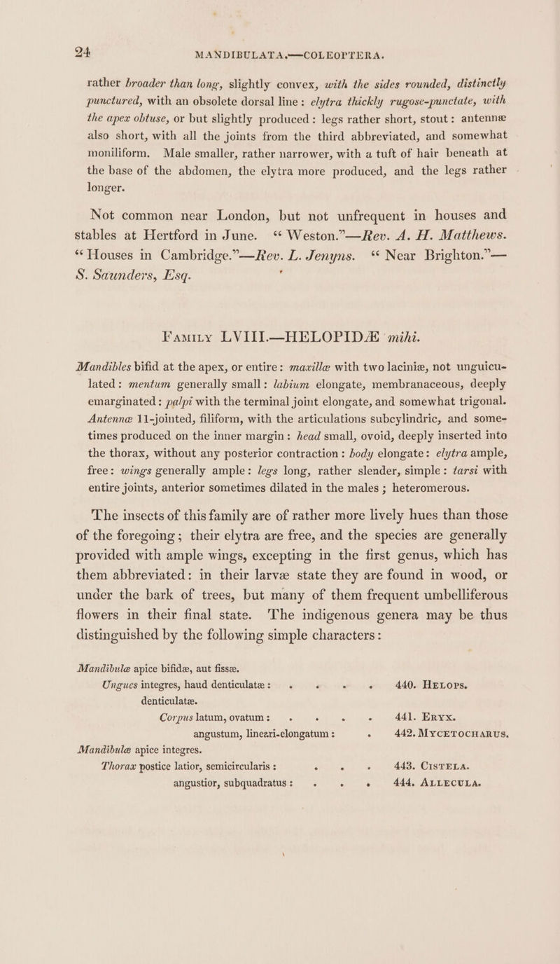 rather broader than long, slightly convex, with the sides rounded, distinctly punctured, with an obsolete dorsal line: elytra thickly rugose-punctate, with the apex obtuse, or but slightly produced: legs rather short, stout: antenne also short, with all the joints from the third abbreviated, and somewhat moniliform. Male smaller, rather narrower, with a tuft of hair beneath at the base of the abdomen, the elytra more produced, and the legs rather longer. Not common near London, but not unfrequent in houses and stables at Hertford in June. ‘‘ Weston.”—Rev. A. H. Matthews. ‘** Houses in Cambridge.”—Rev. L. Jenyns. ‘“ Near Brighton.” — S. Saunders, Esq. : Famity LVIIIL—HELOPID ‘mihi. Mandibles bifid at the apex, or entire: mawille with two lacinie, not unguicu- lated: mentum generally small: labium elongate, membranaceous, deeply emarginated: palpi with the terminal joint elongate, and somewhat trigonal. Antenne 11-jointed, filiform, with the articulations subcylindric, and some- times produced on the inner margin: head small, ovoid, deeply inserted into the thorax, without any posterior contraction: body elongate: elytra ample, free: wings generally ample: legs long, rather slender, simple: ¢arst with entire joints, anterior sometimes dilated in the males ; heteromerous. The insects of this family are of rather more lively hues than those of the foregoing ; their elytra are free, and the species are generally provided with ample wings, excepting in the first genus, which has them abbreviated: in their larvee state they are found in wood, or under the bark of trees, but many of them frequent umbelliferous flowers in their final state. ‘The indigenous genera may be thus distinguished by the following simple characters : Mandibule apice bifide, aut fisse. Ungues integres, haud denticulate: . ‘ ° . 440. HELOps. denticulate. Corpus latum,ovatum: . . . : 441. Eryx. angustum, lineari-elongatum : ° 442, MycETOCHARUS, Mandibule apice integres. Thorax postice latior, semicircularis : aris . 443, CISTELA. angustior, subquadratus: =. . ° 444, ALLECULA.