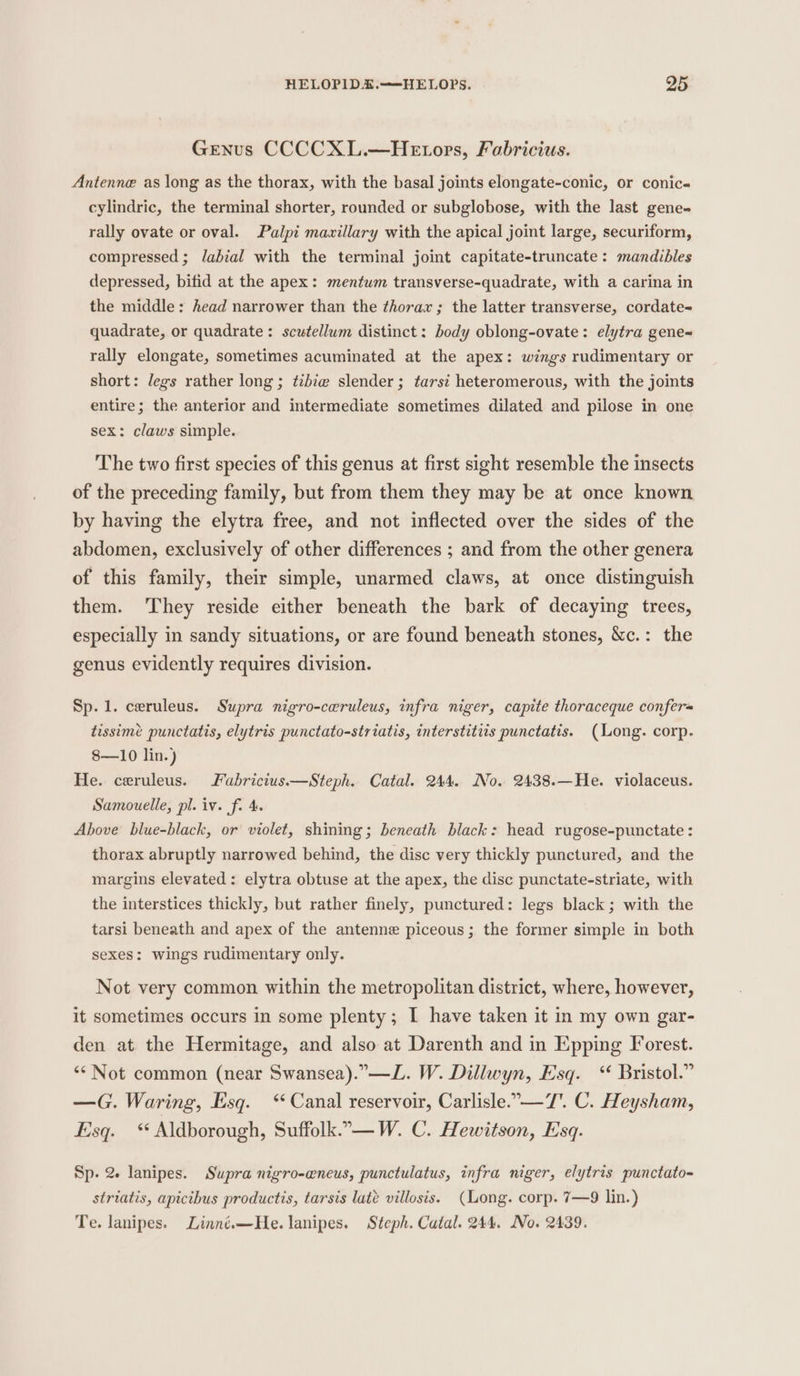 Genus CCCCXL.—HeE tors, Fabricius. Antenne as long as the thorax, with the basal joints elongate-conic, or conic- cylindric, the terminal shorter, rounded or subglobose, with the last gene- rally ovate or oval. Palpi maxillary with the apical joint large, securiform, compressed ; labial with the terminal joint capitate-truncate: mandibles depressed, bifid at the apex: mentum transverse-quadrate, with a carina in the middle: head narrower than the thorax; the latter transverse, cordate= quadrate, or quadrate: scutellum distinct: body oblong-ovate: elytra gene~ rally elongate, sometimes acuminated at the apex: wings rudimentary or short: legs rather long; tibiw slender; tarsi heteromerous, with the joints entire; the anterior and intermediate sometimes dilated and pilose in one sex: claws simple. The two first species of this genus at first sight resemble the insects of the preceding family, but from them they may be at once known by having the elytra free, and not inflected over the sides of the abdomen, exclusively of other differences ; and from the other genera of this family, their simple, unarmed claws, at once distinguish them. They reside either beneath the bark of decaying trees, especially in sandy situations, or are found beneath stones, &amp;c.: the genus evidently requires division. Sp. 1. ceruleus. Supra nigro-cwruleus, infra niger, capite thoraceque confer« tissime punctatis, elytris punctato-striatis, interstitiis punctatis. (Long. corp. 8—10 lin.) He. ceruleus. Fabricius.—Steph. Catal. 244. No. 2438.—He. violaceus. Samouelle, pl. iv. fi 4. Above blue-black, or violet, shining; beneath black: head rugose-punctate : thorax abruptly narrowed behind, the disc very thickly punctured, and the margins elevated: elytra obtuse at the apex, the disc punctate-striate, with the interstices thickly, but rather finely, punctured: legs black; with the tarsi beneath and apex of the antenne piceous; the former simple in both sexes: wings rudimentary only. Not very common within the metropolitan district, where, however, it sometimes occurs in some plenty; I have taken it in my own gar- den at the Hermitage, and also at Darenth and in Epping Forest. ‘* Not common (near Swansea).”—L. W. Dillwyn, Esq. “ Bristol.” —G. Waring, Esq. ‘* Canal reservoir, Carlisle.-—7. C. Heysham, Esq. ‘ Aldborough, Suffolk. —W. C. Hewitson, Esq. Sp- 2 lanipes. Supra nigro-eneus, punctulatus, infra niger, elytris punctato- striatis, apicthbus productis, tarsis late villosis. (Long. corp. 7—9 lin.) Te. lanipes. Linné.—He. lanipes. Steph. Catal. 244. No. 2439.