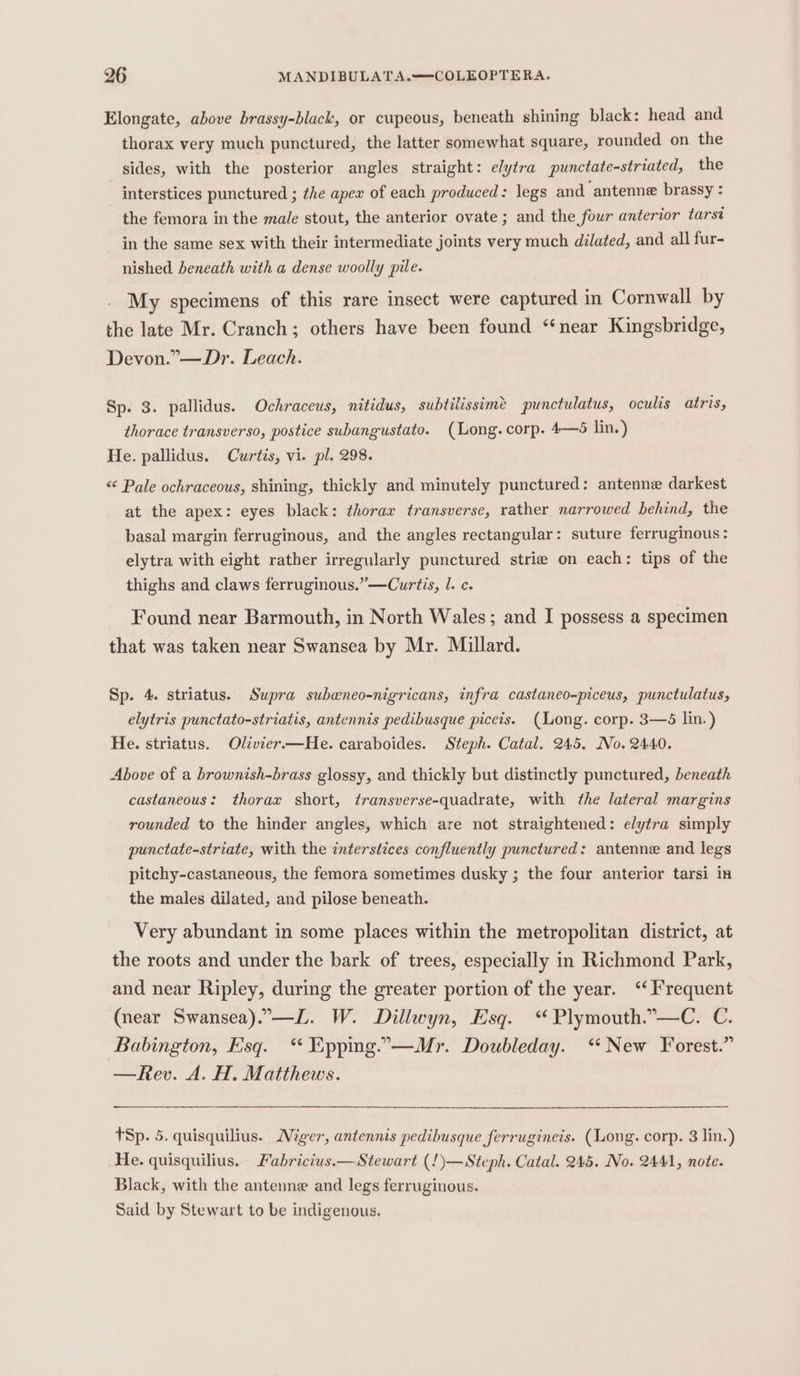 Elongate, above brassy-black, or cupeous, beneath shining black: head and thorax very much punctured, the latter somewhat square, rounded on the sides, with the posterior angles straight: elytra punctate-striated, the interstices punctured ; the apex of each produced: legs and ‘antenne brassy : the femora in the male stout, the anterior ovate ; and the four anterior tarst in the same sex with their intermediate joints very much dilated, and all fur- nished beneath with a dense woolly pile. My specimens of this rare insect were captured in Cornwall by the late Mr. Cranch; others have been found “near Kingsbridge, Devon.”—Dr. Leach. Sp. 3. pallidus. Ochraceus, nitidus, subtilissime punctulatus, oculis atris, thorace transverso, postice subangustato. (Long.corp. 4—6 lin.) He. pallidus. Curtis, vi. pl. 298. &lt; Pale ochraceous, shining, thickly and minutely punctured: antenne darkest at the apex: eyes black: thorax transverse, rather narrowed behind, the basal margin ferruginous, and the angles rectangular: suture ferruginous: elytra with eight rather irregularly punctured strie on each: tips of the thighs and claws ferruginous.”—Curtis, 1. c. Found near Barmouth, in North Wales; and I possess a specimen that was taken near Swansea by Mr. Millard. Sp. 4. striatus. Supra subeneo-nigricans, infra castaneo-piceus, punctulatus, elytris punctato-striatis, antennis pedibusque piceis. (Long. corp. 3—65 lin.) He. striatus. Olivier.—He. caraboides. Steph. Catal. 245. No. 2440. Above of a brownish-brass glossy, and thickly but distinctly punctured, beneath castaneous: thorax short, transverse-quadrate, with the lateral margins rounded to the hinder angles, which are not straightened: elytra simply punctate-striate, with the interstices confluently punctured: antenne and legs pitchy-castaneous, the femora sometimes dusky ; the four anterior tarsi in the males dilated, and pilose beneath. Very abundant in some places within the metropolitan district, at the roots and under the bark of trees, especially in Richmond Park, and near Ripley, during the greater portion of the year. ‘‘ Frequent (near Swansea).-—L. W. Dillwyn, Esq. “ Plymouth.”—C. C. Babington, Esq. “ Epping..—Mr. Doubleday. ‘New Forest.” —Rev. A. H. Matthews. TSp. 5. quisquilius. Miger, antennis pedibusque ferrugineis. (Long. corp. 3 lin.) He. quisquilius. Fabricius.—Stewart (!)—Steph. Catal. 245. No. 2441, note. Black, with the antenne and legs ferruginous. Said by Stewart to be indigenous.
