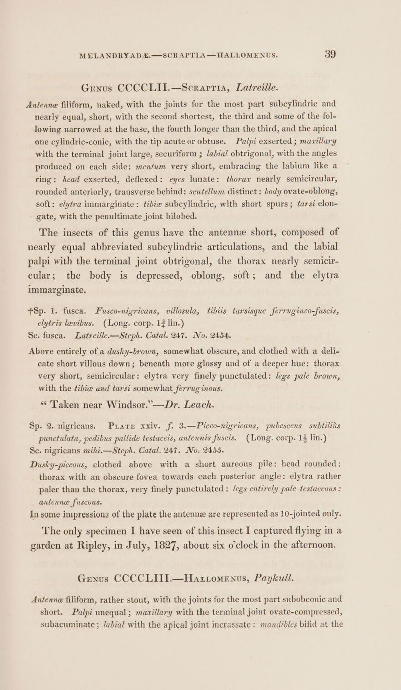 Grnus CCCCLII.—Scrarria, Latreille. Antenne filiform, naked, with the joints for the most part subcylindric and nearly equal, short, with the second shortest, the third and some of the fol- lowing narrowed at the base, the fourth longer than the third, and the apical one cylindric-conic, with the tip acute or obtuse. Palpi exserted ; maxillary with the terminal joint large, securiform ; /abial obtrigonal, with the angles produced on each side: mentum very short, embracing the labium like a ring: head exserted, deflexed: eyes lunate: thorax nearly semicircular, rounded anteriorly, transverse behind: scutellum distinct : body ovate-oblong, soft: elytra immarginate: tébie subcylindric, with short spurs; tarsi elon- gate, with the penultimate joint bilobed. The insects of this genus have the antennz short, composed of nearly equal abbreviated subcylindric articulations, and the labial palpi with the terminal joint obtrigonal, the thorax nearly semicir- cular; the body is depressed, oblong, soft; and the elytra immarginate. +Sp. i. fusca. Fusco-nigricans, villosula, tibiis tarsisque ferrugineo-fusces, elytris levibus. (Long. corp. 13 lin.) Sc. fusca. Latreille.—Steph. Catal. 247. No. 2454. Above entirely of a dusky-brown, somewhat obscure, and clothed with a deli- cate short villous down; beneath more glossy and of a deeper hue: thorax very short, semicircular: elytra very finely punctulated: legs pale brown, with the ¢ibiw und tarsi somewhat ferruginous. “¢ Taken near Windsor.’—Dr. Leach. Sp. 2. nigricans. Prare xxiv. f. 3.—Piceo-nigricans, pubescens subtiliis punctulata, pedibus pallide testaceis, antennis fuscis. (ong. corp. 1% lin.) Sc. nigricans mihi.—Steph. Catal. 247. No. 2455. Dusky-piceous, clothed above with a short aureous pile: head rounded: thorax with an obscure fovea towards each posterior angle: elytra rather paler than the thorax, very finely punctulated : legs entirely pale testaceous : antenne fuscous. in some impressions of the plate the antenne are represented as 10-jointed only. The only specimen I have seen of this insect I captured flying in a garden at Ripley, in July, 1827, about six o'clock in the afternoon. Genus CCCCLIII.—Hattomenus, Paykult. Antenne filiform, rather stout, with the joints for the most part subobconic and short. Palpt unequal; mavillary with the terminal joint ovate-compressed, subacuminate; labial with the apical joint incrassate : mandibles bifid at the