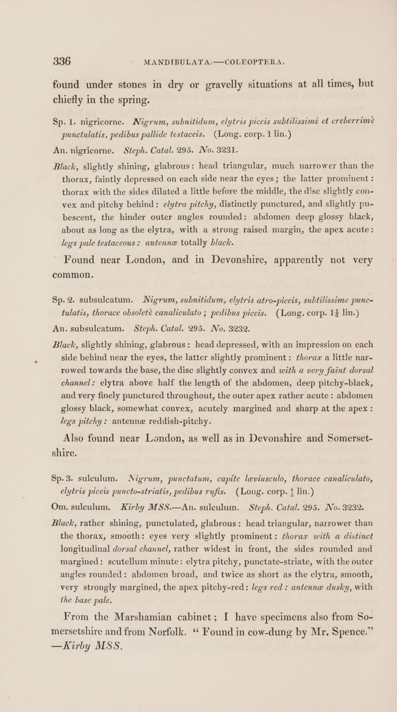 found under stones in dry or gravelly situations at all times, but chiefly in the spring. Sp. 1. nigricorne. Nigrum, subnitidum, elytris piceis subtilissimé et creberrime punctulatis, pedibus pallide testaceis. (Long. corp. 1 lin.) An. nigricorne. Steph. Catal. 295. No. 3231. Black, slightly shining, glabrous: head triangular, much narrower than the thorax, faintly depressed on each side near the eyes; the latter prominent : thorax with the sides dilated a little before the middle, the disc slightly con- vex and pitchy behind: elytra pitchy, distinctly punctured, and slightly pu- bescent, the hinder outer angles rounded: abdomen deep glossy black, about as long as the elytra, with a strong raised margin, the apex acute: legs pale testaceous: antenna totally black. Found near London, and in Devonshire, apparently not very common. Sp.2. subsulcatum. Nigrum, subnitidum, elytris atro-piceis, subtilissime punc- tulatis, thorace obsoleté canaliculato ; pedibus piceis. (Long. corp. 1¥ lin.) An. subsulcatum. Steph. Catal. 295. No. 3232. Black, slightly shining, glabrous: head depressed, with an impression on each side behind near the eyes, the latter slightly prominent: t¢horaz a little nar- rowed towards the base, the disc slightly convex and with a very faint dorsal channel: elytra above half the length of the abdomen, deep pitchy-black, and very finely punctured throughout, the outer apex rather acute : abdomen glossy black, somewhat convex, acutely margined and sharp at the apex: legs pitchy: antenne reddish-pitchy. Also found near London, as well as in Devonshire and Somerset- shire. Sp-3. suleulum. Nigrum, punctatum, capite leviusculo, thorace canaliculato, elytris piceis puncto-striatis, pedibus rufis. (Loug. corp. 4 lin.) Om. sulculum. Kirby MSS.—An. sulculum. Steph. Catal. 295. No. 3232. Black, rather shining, punctulated, glabrous: head triangular, narrower than the thorax, smooth: eyes very slightly prominent: thorax with a distinct longitudinal dorsal channel, rather widest in front, the sides rounded and margined: scutellum minute: elytra pitchy, punctate-striate, with the outer angles rounded: abdomen broad, and twice as short as the elytra, smooth, very strongly margined, the apex pitchy-red: legs red : antenne dusky, with the base pale. From the Marshamian cabinet; I have specimens also from So- mersetshire and from Norfolk. “ Found in cow-dung by Mr. Spence.” —Kirby MSS.