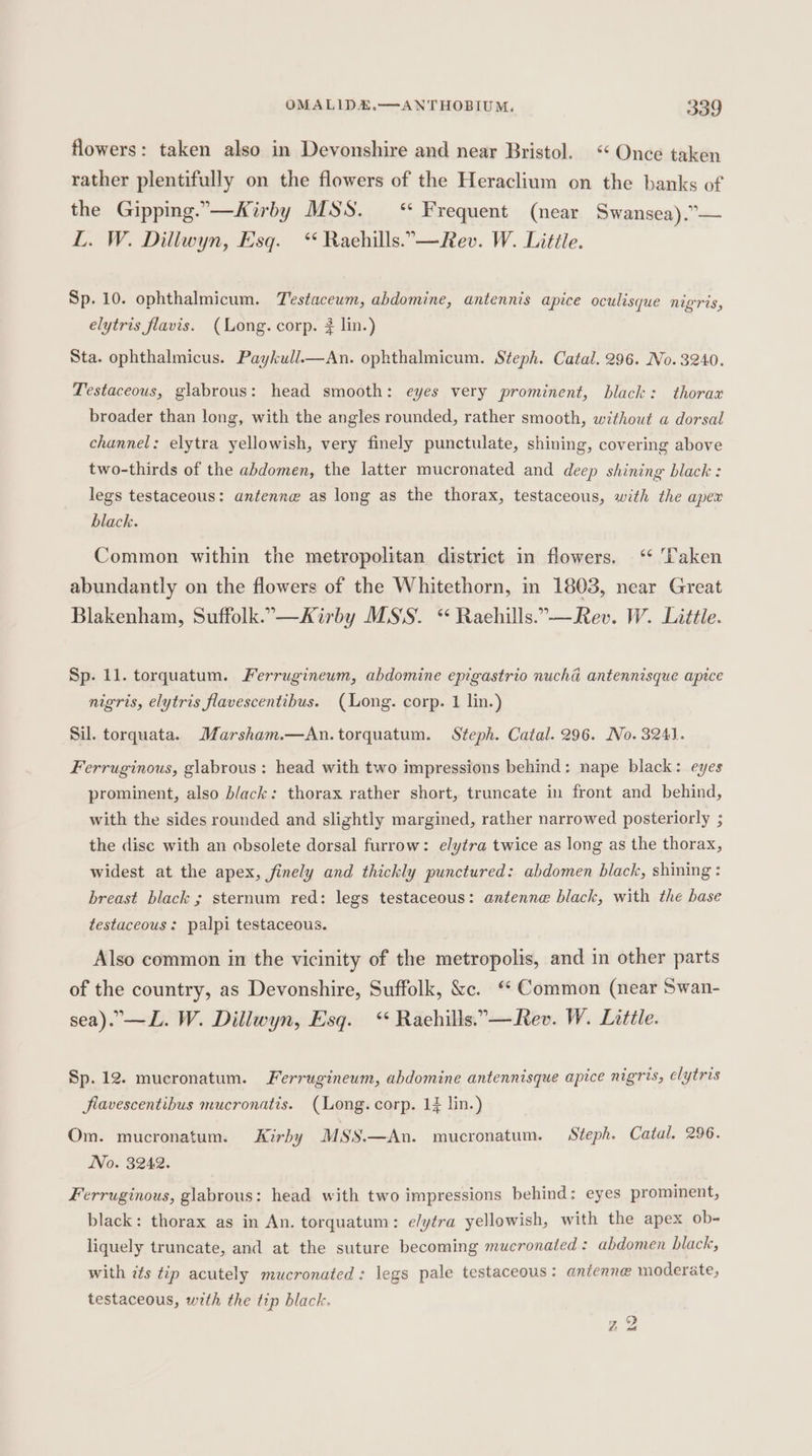 flowers: taken also in Devonshire and near Bristol. “Once taken rather plentifully on the flowers of the Heraclium on the banks of the Gipping.”—Kirby MSS. “ Frequent (near Swansea).”— L. W. Diliwyn, Esq. “ Raehills.-—Rev. W. Little. Sp. 10. ophthalmicum. Testacewm, abdomine, antennis apice oculisque nigris, elytris flavis. (Long. corp. # lin.) Sta. ophthalmicus. Paykull.—An. ophthalmicum. Steph. Catal. 296. No. 3240. Testaceous, glabrous: head smooth: eyes very prominent, black: thorax broader than long, with the angles rounded, rather smooth, without a dorsal channel: elytra yellowish, very finely punctulate, shining, covering above two-thirds of the abdomen, the latter mucronated and deep shining black : legs testaceous: antenne as long as the thorax, testaceous, with the apex black. Common within the metropolitan district in flowers. ‘ ‘Taken abundantly on the flowers of the Whitethorn, in 1803, near Great Blakenham, Suffolk.”-—Kirby MS'S. “ Raehills.”-—Rev. W. Little. Sp. ll. torquatum. Ferrugineum, abdomine epgastrio nuché antennisque apice nigris, elytris flavescentibus. (Long. corp. 1 lin.) Sil. torquata. Marsham.—An.torquatum. Steph. Catal. 296. No. 3241. Ferruginous, glabrous: head with two impressions behind: nape black: eyes prominent, also black: thorax rather short, truncate in front and behind, with the sides rounded and slightly margined, rather narrowed posteriorly ; the disc with an obsolete dorsal furrow: elytra twice as long as the thorax, widest at the apex, finely and thickly punctured: abdomen black, shining: breast black ; sternum red: legs testaceous: antenne black, with the base testaceous: palpi testaceous. Also common in the vicinity of the metropolis, and in other parts of the country, as Devonshire, Suffolk, &amp;c. ‘ Common (near Swan- sea).”—L. W. Dillwyn, Esq. ‘¢ Raehills.”—Rev. W. Little. Sp.12. mucronatum. Ferrugineum, abdomine antennisque apice nigris, elytris flavescentibus mucronatis. (Long. corp. 13 lin.) Om. mucronatum. Kirby MSS.—An. mucronatum. Steph. Catal. 296. No. 3242. Ferruginous, glabrous: head with two impressions behind: eyes prominent, black: thorax as in An. torquatum: elytra yellowish, with the apex ob- liquely truncate, and at the suture becoming mucronated: abdomen black, with zts tip acutely mucronated: legs pale testaceous: antenne moderate, testaceous, with the tip black. zZ2