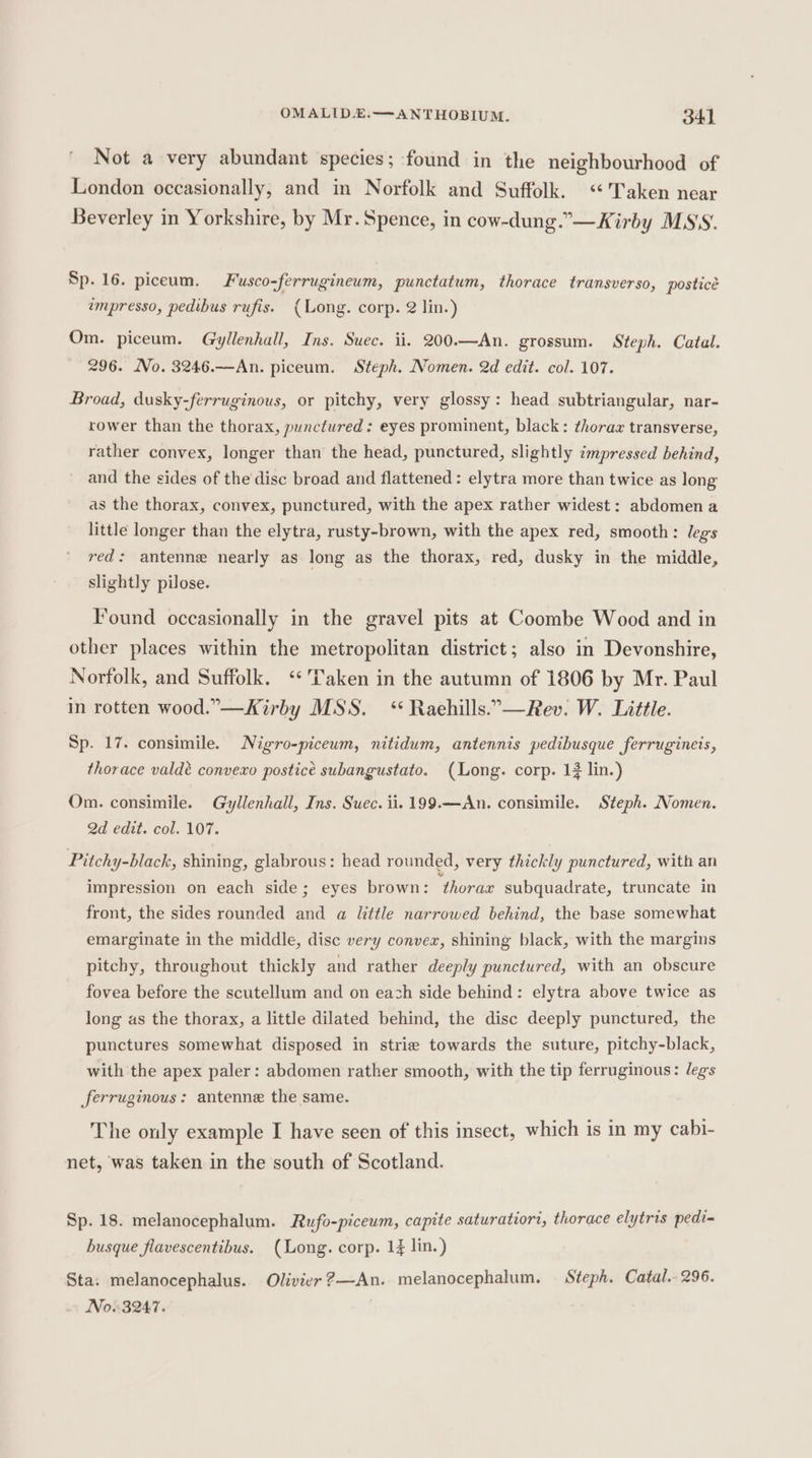 Not a very abundant species; -found in the neighbourhood of London occasionally, and in Norfolk and Suffolk. “Taken near Beverley in Yorkshire, by Mr. Spence, in cow-dung.”—Kirby MSS. Sp. 16. piceum. Fusco-ferrugineum, punctatum, thorace transverso, posticé empresso, pedibus rufis. (Long. corp. 2 lin.) Om. piceum. Gyllenhall, Ins. Suec. ii. 200.—An. grossum. Steph. Catal. 296. No. 3246.—An. piceum. Steph. Nomen. 2d edit. col. 107. Broad, dusky-ferruginous, or pitchy, very glossy: head subtriangular, nar- rower than the thorax, punctured: eyes prominent, black: thorax transverse, rather convex, longer than the head, punctured, slightly impressed behind, and the sides of the disc broad and flattened: elytra more than twice as long as the thorax, convex, punctured, with the apex rather widest: abdomen a little longer than the elytra, rusty-brown, with the apex red, smooth: legs red: antenne nearly as long as the thorax, red, dusky in the middle, slightly pilose. Found occasionally in the gravel pits at Coombe Wood and in other places within the metropolitan district; also in Devonshire, Norfolk, and Suffolk. ‘‘'Taken in the autumn of 1806 by Mr. Paul in rotten wood.”—Kirby MSS. ‘ Raehills.”—Rev. W. Little. Sp. 17. consimile. Nigro-piceum, nitidum, antennis pedibusque ferrugineis, thorace valdé convexo posticé subangustato. (Long. corp. 13 lin.) Om. consimile. Gyllenhall, Ins. Suec. ii. 199.—An. consimile. Steph. Nomen. 2d edit. col. 107. Pitchy-black, shining, glabrous: head rounded, very thickly punctured, with an impression on each side; eyes brown: ‘thorax subquadrate, truncate in front, the sides rounded and a little narrowed behind, the base somewhat emarginate in the middle, disc very convex, shining black, with the margins pitchy, throughout thickly and rather deeply punctured, with an obscure fovea before the scutellum and on each side behind: elytra above twice as long as the thorax, a little dilated behind, the disc deeply punctured, the punctures somewhat disposed in strie towards the suture, pitchy-black, with the apex paler: abdomen rather smooth, with the tip ferruginous: legs ferruginous : antenne the same. The only example I have seen of this insect, which is in my cabi- net, was taken in the south of Scotland. Sp. 18. melanocephalum. Rufo-piceum, capite saturatiort, thorace elytris pedi= busque flavescentibus. (Long. corp. 1% lin.) Sta: melanocephalus. Olivier ?—An. melanocephalum. Steph. Catal.- 296. No..3247.