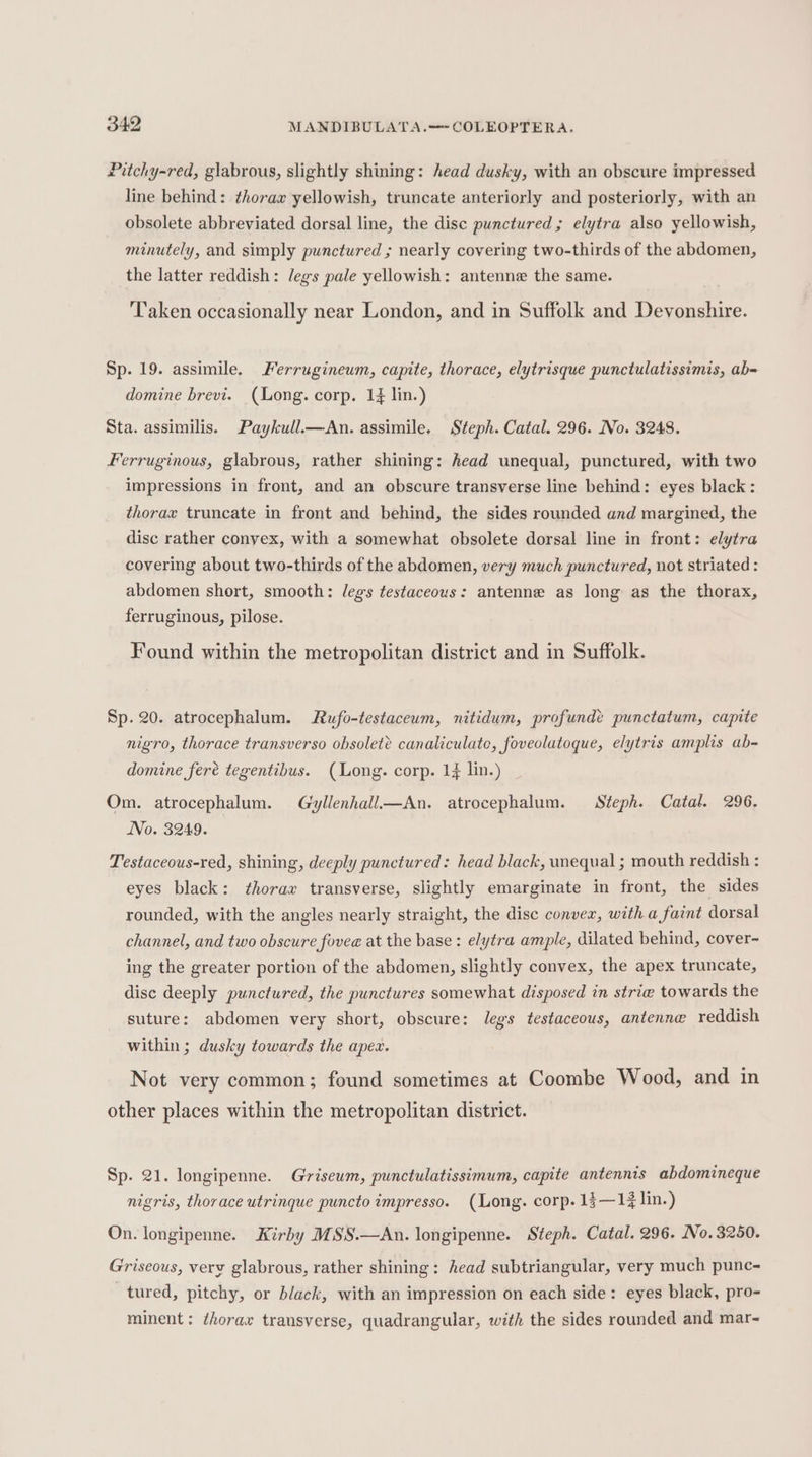 Pitchy-red, glabrous, slightly shining: head dusky, with an obscure impressed line behind: thorax yellowish, truncate anteriorly and posteriorly, with an obsolete abbreviated dorsal line, the disc punctured ; elytra also yellowish, minutely, and simply punctured ; nearly covering two-thirds of the abdomen, the latter reddish: legs pale yellowish: antenne the same. Taken occasionally near London, and in Suffolk and Devonshire. Sp. 19. assimile. Ferrugineum, capite, thorace, elytrisque punctulatissimis, ab= domine brevi. (Long. corp. 1} lin.) Sta. assimilis. Paykull—aAn. assimile. Steph. Catal. 296. No. 3248. Ferruginous, glabrous, rather shining: head unequal, punctured, with two impressions in front, and an obscure transverse line behind: eyes black: thorax truncate in front and behind, the sides rounded and margined, the disc rather conyex, with a somewhat obsolete dorsal line in front: elytra covering about two-thirds of the abdomen, very much punctured, not striated : abdomen short, smooth: legs testaceous: antenne as long as the thorax, ferruginous, pilose. Found within the metropolitan district and in Suffolk. Sp. 20. atrocephalum. Rufo-testaceum, nitidum, profunde punctatum, capite nigro, thorace transverso obsolet? canaliculate, foveolatoque, elytris amplis ab- domine fere tegentibus. (Long. corp. 14 lin.) Om. atrocephalum. Gyllenhall.—An. atrocephalum. Steph. Catal. 296. No. 3249. Testaceous-red, shining, deeply punctured: head black, unequal ; mouth reddish : eyes black: thorax transverse, slightly emarginate in front, the sides rounded, with the angles nearly straight, the disc convex, with a faint dorsal channel, and two obscure fovee at the base: elytra ample, dilated behind, cover- ing the greater portion of the abdomen, slightly convex, the apex truncate, disc deeply punctured, the punctures somewhat disposed in stri@ towards the suture: abdomen very short, obscure: legs testaceous, antenne reddish within ; dusky towards the apex. Not very common; found sometimes at Coombe Wood, and in other places within the metropolitan district. Sp. 21. longipenne. Griseum, punctulatissimum, capite antennis abdomineque nigris, thorace utrinque puncto impresso. (Long. corp. 13—1$ lin.) On. longipenne. Kirby MSS.—An. longipenne. Steph. Catal. 296. No. 3250. Griseous, very glabrous, rather shining: head subtriangular, very much punc- tured, pitchy, or black, with an impression on each side: eyes black, pro- minent; ¢horax transverse, quadrangular, with the sides rounded and mar-