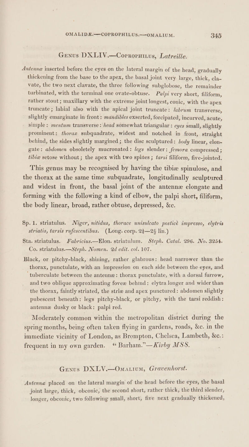 Genus DX LIV.—Coprrorninus, Latreille. Antenne inserted before the eyes on the lateral margin of the head, gradually thickening from the base to the apex, the basal joint very large, thick, cla- vate, the two next clavate, the three following subglobose, the remainder turbinated, with the terminal one ovate-obtuse. Palpi very short, filiform, rather stout ; maxillary with the extreme joint longest, conic, with the apex truncate ; labial also with the apical joint truncate: labrum transverse, slightly emarginate in front : mandibles exserted, forcipated, incurved, acute, simple: mentum transverse: head somewhat triangular : eyes small, slightly prominent: thorax subquadrate, widest and notched in front, straight behind, the sides slightly margined ; the disc sculptured: body linear, elon- gate: abdomen obsoletely mucronated: legs slender: femora compressed ; tibie setose without ; the apex with two spines ; tars? filiform, five-jointed. This genus may be recognised by having the tibize spinulose, and the thorax at the same time subquadrate, longitudinally sculptured and widest in front, the basal joint of the antenne elongate and forming with the following a kind of elbow, the palpi short, filiform, the body linear, broad, rather obtuse, depressed, &amp;c. | Sp. 1. striatulus. Niger, nitidus, thorace unisulcato posticé impresso, elytris striatis, tarsis rufescentibus. (Long. corp. 24—23 lin.) Sta. striatulus. Fabricius.—Elon. striatulum. Steph. Catal. 296. No. 3254. Co. striatulus.—Steph. Nomen. 2d edit. col. 107. Black, or pitchy-black, shining, rather glabrous: head narrower than the thorax, punctulate, with an impression on each side between the eyes, and ‘tuberculate between the antenne : thorax punctulate, with a dorsal furrow, and two oblique approximating fovee behind: elytra longer and wider than the thorax, faintly striated, the strie and apex punctured: abdomen slightly pubescent beneath: legs pitchy-black, or pitchy, with the tarsi reddish : antenne dusky or black: palpi red. Moderately common within the metropolitan district during the spring months, being often taken flying in gardens, roads, Xc. in the immediate vicinity of London, as Brompton, Chelsea, Lambeth, &amp;c.: frequent in my own garden. “ Barham.”—Kirby MSS. Genus DXLV.—Omatium, Gravenhorst. Antenne placed on the lateral margin of the head before the eyes, the basal joint large, thick, obconic, the second short, rather thick, the third slender, longer, obconic, two following small, short, five next gradually thickened,