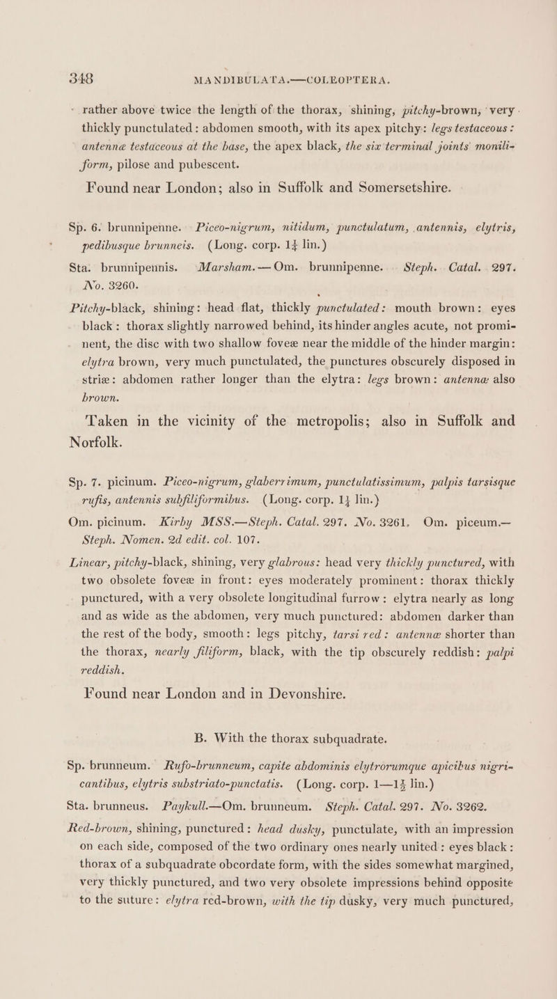‘ rather above twice the length of the thorax, shining, pitchy-brown, ‘very - thickly punctulated : abdomen smooth, with its apex pitchy: legs testaceous : antenne testaceous at the base, the apex black, the six terminal joints’ monili- form, pilose and pubescent. Found near London; also in Suffolk and Somersetshire. Sp. 6. brunnipenne. Piceo-nigrum, nitidum, punctulatum, antennis, elytris, pedibusque brunnets. (Long. corp. 14 lin.) Sta. brunnipennis. Marsham.—-Om. brunnipenne. | Steph. Catal. 297. “0. 3260. Pitchy-black, shining: head flat, thickly punctulated: mouth brown: eyes black : thorax slightly narrowed behind, its hinder angles acute, not promi- nent, the disc with two shallow fovee near the middle of the hinder margin: elytra brown, very much punctulated, the punctures obscurely disposed in strie: abdomen rather longer than the elytra: legs brown: antenne also brown. Taken in the vicinity of the metropolis; also in Suffolk and Norfolk. Sp. 7. picinum. Piceo-nigrum, glaberrimum, punctulatissimum, palpis tarsisque rufis, antennis subfiliformibus. (Long. corp. 1} lin.) Om. picinum. Kirby MSS.—Steph. Catal. 297. No. 3261. Om. piceum.— Steph. Nomen. 2d edit. col. 107. Linear, pitchy-black, shining, very glabrous: head very thickly punctured, with two obsolete fovee in front: eyes moderately prominent: thorax thickly punctured, with a very obsolete longitudinal furrow: elytra nearly as long and as wide as the abdomen, very much punctured: abdomen darker than the rest of the body, smooth: legs pitchy, tarsi red: antenne shorter than the thorax, nearly filiform, black, with the tip obscurely reddish: palpi reddish. Found near London and in Devonshire. B. With the thorax subquadrate. Sp. brunneum. Rufo-brunneum, capite abdominis elytrorumque apicthus nigri= cantibus, elytris substriato-punctatis. (Long. corp. 1—13 Jin.) Sta. brunneus. Paykull—Om. brunneum. Steph. Catal. 297. No. 3262. Red-brown, shining, punctured: head dusky, punctulate, with an impression on each side, composed of the two ordinary ones nearly united : eyes black : thorax of a subquadrate obcordate form, with the sides somewhat margined, very thickly punctured, and two very obsolete impressions behind opposite to the suture: elytra red-brown, with the tip dusky, very much punctured,