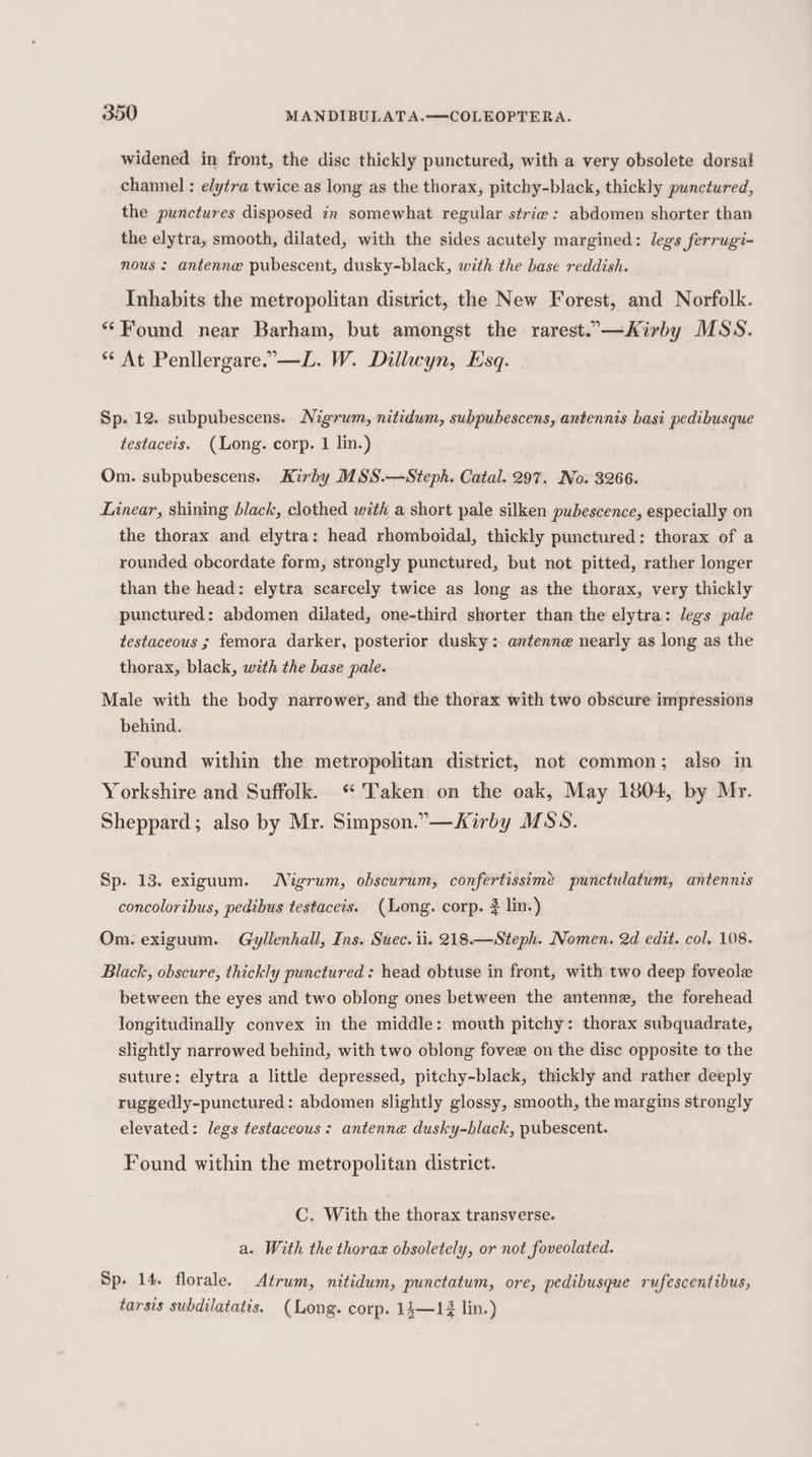 widened in front, the disc thickly punctured, with a very obsolete dorsal channel : elytra twice as long as the thorax, pitchy-black, thickly punctured, the punctures disposed zn somewhat regular strie: abdomen shorter than the elytra, smooth, dilated, with the sides acutely margined: legs ferrugi- nous : antenne pubescent, dusky-black, with the base reddish. Inhabits the metropolitan district, the New Forest, and Norfolk. “Found near Barham, but amongst the rarest..—Kirby MSS. ** At Penllergare.-—L. W. Dillwyn, Esq. Sp. 12. subpubescens. Nigrum, nitidum, subpubescens, antennis basi pedibusque testaceis. (Long. corp. 1 lin.) Om. subpubescens. Kirby MSS.—Steph. Catal. 297. No. 3266. Linear, shining black, clothed with a short pale silken pubescence, especially on the thorax and elytra: head rhomboidal, thickly punctured: thorax of a rounded obcordate form, strongly punctured, but not pitted, rather longer than the head: elytra scarcely twice as long as the thorax, very thickly punctured: abdomen dilated, one-third shorter than the elytra: legs pale testaceous ; femora darker, posterior dusky: antenne nearly as long as the thorax, black, with the base pale. Male with the body narrower, and the thorax with two obscure impressions behind. Found within the metropolitan district, not common; also in Yorkshire and Suffolk. Taken on the oak, May 1804, by Mr. Sheppard; also by Mr. Simpson.”—Kirby MSS. Sp. 13. exiguum. Nigrum, obscurum, confertissimé punctulatum, antennis concoloribus, pedibus testacets. (Long. corp. 2 lin.) Om. exiguum. Gyllenhall, Ins. Suec. ii. 218.—Steph. Nomen. 2d edit. col. 108. Black, obscure, thickly punctured : head obtuse in front, with two deep foveole between the eyes and two oblong ones between the antenne, the forehead longitudinally convex in the middle: mouth pitchy: thorax subquadrate, slightly narrowed behind, with two oblong fovee on the disc opposite to the suture: elytra a little depressed, pitchy-black, thickly and rather deeply ruggedly-punctured: abdomen slightly glossy, smooth, the margins strongly elevated: legs testaceous: antenne dusky-black, pubescent. Found within the metropolitan district. C. With the thorax transverse. a. With the thorax obsoletely, or not foveolated. Sp- 14. florale. Atrum, nitidum, punctatum, ore, pedibusque rufescentibus, tarsis subdilatatis. (Long. corp. 13—14 lin.)