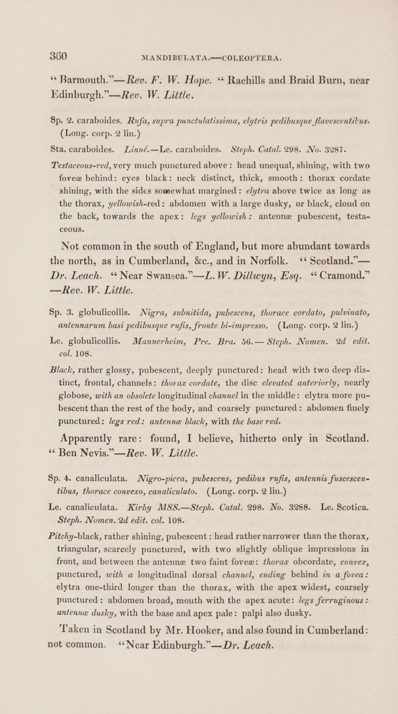 ‘* Barmouth.”— Rev. F. W. Hope. ‘ Raehills and Braid Burn, near Kdinburgh.”—Rev. W. Little. Sp. 2. caraboides. Rufa, supra punctulatissima, elytris pedibusque flavescentilus. (Long. corp. 2 lin.) Sta. caraboides. Linné.—Le. caraboides. Steph. Catal. 298. No. 3287. Testaceous-red, very much punctured above: head unequal, shining, with two fovee behind: eyes black: neck distinct, thick, smooth: thorax cordate shining, with the sides somewhat margined: elytra above twice as long as the thorax, yellowish-red: abdomen with a large dusky, or black, cloud on the back, towards the apex: legs yellowish: antenne pubescent, testa- ceous. Not common in the south of England, but more abundant towards the north, as in Cumberland, &amp;c., and in Norfolk. ‘* Scotland.”— Dr. Leach. ‘ Near Swansea.”—L.W. Dillwyn, Esq. ‘ Cramond.” —Rev. W. Little. Sp. 3. globulicollis. Nigra, subnitida, pubescens, thorace cordato, pulvinato, antennarum basi pedibusque rufis, fronte bi-impresso. (Long. corp. 2 lin.) Le. globulicollis. Mannerheim, Pre. Bra. 56.— Steph. Nomen. 2d edit. col. 108. Black, rather glossy, pubescent, deeply punctured: head with two deep dis- tinct, frontal, channels: thorax cordate, the disc elevated anteriorly, nearly globose, with an obsolete longitudinal channel in the middle: elytra more pu- bescent than the rest of the body, and coarsely punctured: abdomen finely punctured: legs red: antenne black, with the base red. Apparently rare: found, I believe, hitherto only in Scotland. ‘* Ben Nevis. —Rev. W. Little. Sp. 4. canaliculata. Nigro-picea, pubescens, pedibus rufis, antennis fuscescen- tibus, thorace convexo, canaliculato. (Long. corp. 2 lin.) Le. canaliculata. Kirby MSS.—Steph. Catal. 298. No. 3288. Le. Scotica. Steph. Nomen. 2d edit. col. 108. Pitchy-black, rather shining, pubescent : head rather narrower than the thorax, triangular, scarcely punctured, with two slightly oblique impressions in front, and between the antenne two faint fovee: thorax obcordate, convez, punctured, with a longitudinal dorsal channel, ending behind in a fovea: elytra one-third longer than the thorax, with the apex widest, coarsely punctured : abdomen broad, mouth with the apex acute: legs ferruginous : antenne dusky, with the base and apex pale: palpi also dusky. Taken in Scotland by Mr. Hooker, and also found in Cumberland: not common. ‘*Near Edinburgh.”—Dr. Leach.