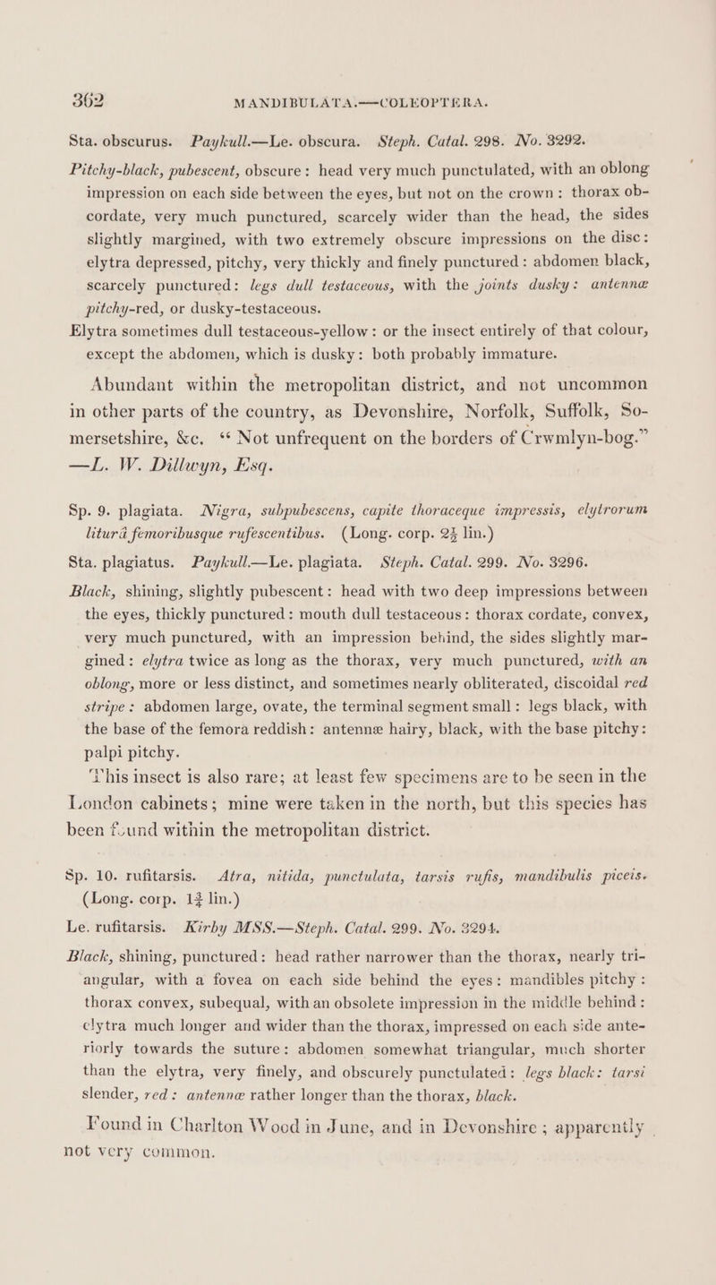 Sta. obscurus. Paykull.—Le. obscura. Steph. Catal. 298. No. 3292. Pitchy-black, pubescent, obscure: head very much punctulated, with an oblong impression on each side between the eyes, but not on the crown: thorax ob- cordate, very much punctured, scarcely wider than the head, the sides slightly margined, with two extremely obscure impressions on the disc: elytra depressed, pitchy, very thickly and finely punctured : abdomen black, scarcely punctured: legs dull testaceous, with the joints dusky: antenne pitchy-red, or dusky-testaceous. Elytra sometimes dull testaceous-yellow : or the insect entirely of that colour, except the abdomen, which is dusky: both probably immature. Abundant within the metropolitan district, and not uncommon in other parts of the country, as Devonshire, Norfolk, Suffolk, So- mersetshire, &amp;c. ‘* Not unfrequent on the borders of C rwmlyn-bog.” —L. W. Dillwyn, Esq. Sp. 9. plagiata. Nigra, subpubescens, capite thoraceque impressis, elytrorum litura femoribusque rufescentibus. (Long. corp. 2% lin.) Sta. plagiatus. Paykull—tLe. plagiata. Steph. Catal. 299. No. 3296. Black, shining, slightly pubescent: head with two deep impressions between the eyes, thickly punctured: mouth dull testaceous: thorax cordate, convex, very much punctured, with an impression behind, the sides slightly mar- gined: elytra twice as long as the thorax, very much punctured, with an oblong, more or less distinct, and sometimes nearly obliterated, discoidal red stripe: abdomen large, ovate, the terminal segment small: legs black, with the base of the femora reddish: antenne hairy, black, with the base pitchy: palpi pitchy. his insect is also rare; at least few specimens are to be seen in the London cabinets; mine were taken in the north, but this species has been fund within the metropolitan district. Sp. 10. rufitarsis. Atra, nitida, punctulata, tarsis rufis, mandibulis piceis. (Long. corp. 14 lin.) Le. rufitarsis. Kirby MSS.—Steph. Catal. 299. No. 3294. Black, shining, punctured: head rather narrower than the thorax, nearly tri- angular, with a fovea on each side behind the eyes: mandibles pitchy : thorax convex, subequal, with an obsolete impression in the middle behind : elytra much longer and wider than the thorax, impressed on each side ante- riorly towards the suture: abdomen somewhat triangular, much shorter than the elytra, very finely, and obscurely punctulated: legs black: tarsi slender, red: antenn@ rather longer than the thorax, black. I . . . e Found in Charlton Woed in June, and in Devonshire ; apparently | not very common.