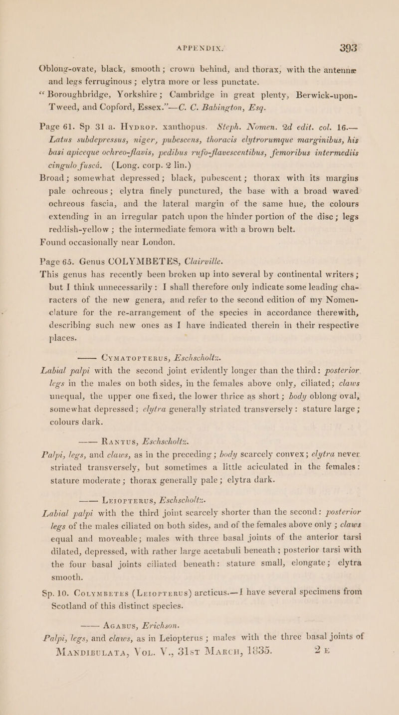 Oblong-ovate, black, smooth; crown behind, and thorax, with the antenne and legs ferruginous ; elytra more or less punctate. ** Boroughbridge, Yorkshire; Cambridge in great plenty, Berwick-upon- Tweed, and Copford, Essex.”—C. C. Babington, Esq. Page 61. Sp 31 a. Hypror. xanthopus. Steph. Nomen. 2d edit. col. 16.— Latus subdepressus, niger, pubescens, thoracis elytrorumque marginibus, his basi apiceque ochreo-flavis, pedibus rufo-flavescentibus, femoribus intermediis cingulo fusca. (Long. corp. 2 lin.) Broad; somewhat depressed; black, pubescent; thorax with its margins pale ochreous; elytra finely punctured, the base with a broad waved ochreous fascia, and the lateral margin of the same hue, the colours extending in an irregular patch upon the hinder portion of the disc; legs reddish-yellow ; the intermediate femora with a brown belt. Found occasionally near London. Page 65. Genus COLYMBETES, Clairville. This genus has recently been breken up into several by continental writers ; but I think unnecessarily: I shall therefore only indicate some leading cha- racters of the new genera, and refer to the second edition of my Nomen- clature for the re-arrangement of the species in accordance therewith, describing such new ones as I have indicated therein in their respective places. ; Cymatrorrterus, Eschscholtz. Labial palpi with the second joint evidently longer than the third: posterior legs in the males on both sides, in the females above only, ciliated; claws unequal, the upper one fixed, the lower thrice as short ; body oblong oval, somewhat depressed ; elytra generally striated transversely: stature large ; colours dark. —— Rantus, Eschscholtz. Palpi, legs, and claws, as in the preceding ; body scarcely convex; elytra never striated transversely, but sometimes a little aciculated in the females: stature moderate ; thorax generally pale; elytra dark. —— Lesorrerus, Eschscholtz. Labial palpi with the third joint scarcely shorter than the second: posterior legs of the males ciliated on both sides, and of the females above only ; claws equal and moveable; males with three basal joints of the anterior tarsi dilated, depressed, with rather large acetabuli beneath ; posterior tarsi with the four basal joints ciliated beneath: stature small, elongate; elytra smooth. Sp. 10. Corymseres (Lerorrervs) arcticus.—I have several specimens from Scotland of this distinct species. —— Acasus, Erichson. Palpi, legs, and claws, as in Leiopterus ; males with the three basal joints of
