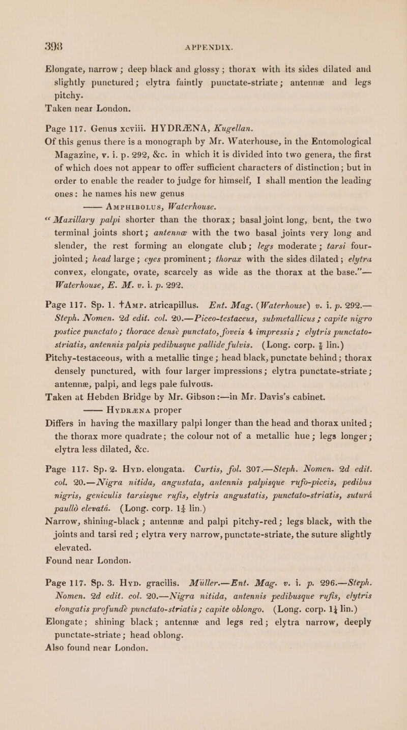 Elongate, narrow ; deep black and glossy ; thorax with its sides dilated and slightly punctured; elytra faintly punctate-striate; antenne and legs pitchy. Taken near London. Page 117. Genus xcviii. HY DRAENA, Kugellan. Of this genus there is a monograph by Mr. Waterhouse, in the Entomological Magazine, v. i. p. 292, &amp;c. in which it is divided into two genera, the first of which does not appear to offer sufficient characters of distinction; but in order to enable the reader to judge for himself, I shall mention the leading ones: he names his new genus —— Ampuisotus, Waterhouse. “ Maxillary palpi shorter than the thorax; basal joint long, bent, the two terminal joints short; antenne with the two basal joints very long and slender, the rest forming an elongate club; legs moderate ; tarsi four- jointed ; head large ; eyes prominent ; thorax with the sides dilated; elytra convex, elongate, ovate, scarcely as wide as the thorax at the base.”— Waterhouse, E. M. v. i. p. 292. Page 117. Sp. 1. fAmp. atricapillus. Ent. Mag. (Waterhouse) v. i. p. 292.— Steph. Nomen. 2d edit. col. 20.—Piceo-testaceus, submetallicus ; capite nigro postice punctato ; thorace densé punctato, foveis 4 impressis ; elytris punctato- striatis, antennis palpis pedibusque pallide fulvis. (Long. corp. % lin.) Pitchy-testaceous, with a metallic tinge ; head black, punctate behind ; thorax densely punctured, with four larger impressions; elytra punctate-striate ; antenne, palpi, and legs pale fulvous. Taken at Hebden Bridge by Mr. Gibson :—in Mr. Davis’s cabinet. Hypr2Na proper Differs in having the maxillary palpi longer than the head and thorax united ; the thorax more quadrate; the colour not of a metallic hue; legs longer ; elytra less dilated, &amp;c. Page 117. Sp.2. Hyp. elongata. Curtis, fol. 307.—Steph. Nomen. 2d edit. col. 20.—Nigra nitida, angustata, antennis palpisque rufo-piceis, pedibus nigris, geniculis tarsisque rufis, elytris angustatis, punctato-striatis, sutura paullo elevata. (Long. corp. 1; lin.) Narrow, shining-black ; antenne and palpi pitchy-red; legs black, with the joints and tarsi red ; elytra very narrow, punctate-striate, the suture slightly elevated. Found near London. Page 117. Sp. 3. Hyp. gracilis. Miuller.—Ent. Mag. v. i. p. 296.—Steph. Nomen. 2d edit. col. 20.—Nigra nitida, antennis pedibusque rufis, elytris elongatis profundé punctato-striatis ; capite oblongo. (Long. corp. 1} lin.) Elongate; shining black; antenne and legs red; elytra narrow, deeply punctate-striate ; head oblong. Also found near London.