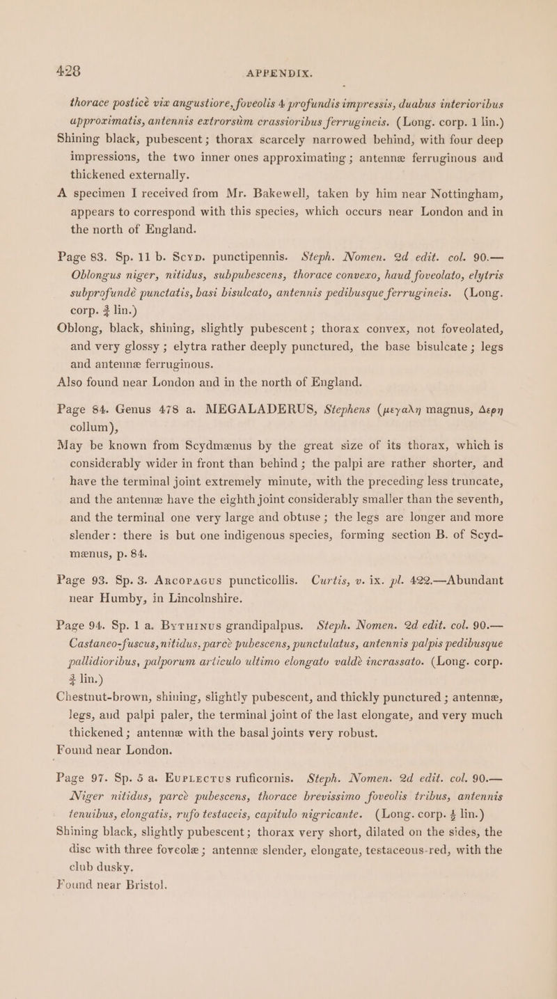 thorace posticé viv angustiore, foveolis 4 profundis impressis, duabus interioribus upproximatis, antennis extrorsim crassioribus ferrugineis. (Long. corp. 1 lin.) Shining black, pubescent ; thorax scarcely narrowed behind, with four deep impressions, the two inner ones approximating ; antenne ferruginous and thickened externally. A specimen I received from Mr. Bakewell, taken by him near Nottingham, appears to correspond with this species, which occurs near London and in the north of England. Page 83. Sp. 11 b. Scyp. punctipennis. Steph. Nomen. 2d edit. col. 90.— Oblongus niger, nitidus, subpubescens, thorace convexo, haud foveolato, elytris subprofundé punctatis, basi bisulcato, antennis pedibusque ferrugineis. (Long. corp. 3 lin.) Oblong, black, shining, slightly pubescent ; thorax convex, not foveolated, and very glossy ; elytra rather deeply punctured, the base bisulcate ; legs and antenne ferruginous. Also found near London and in the north of England. Page 84. Genus 478 a. MEGALADERUS, Stephens (peyadn magnus, Aeon collum), May be known from Scydmenus by the great size of its thorax, which is considerably wider in front than behind ; the palpi are rather shorter, and have the terminal joint extremely minute, with the preceding less truncate, and the antenne have the eighth joint considerably smaller than the seventh, and the terminal one very large and obtuse ; the legs are longer and more slender: there is but one indigenous species, forming section B. of Scyd- menus, p. 84. Page 93. Sp. 3. Arcopacus puncticollis. Curtis, v. ix. pl. 422—Abundant near Humby, in Lincolnshire. Page 94. Sp. 1 a. Byruinus grandipalpus. Steph. Nomen. 2d edit. col. 90.— Castaneo-fuscus, nitidus, parce pubescens, punctulatus, antennis palpis pedibusque pallidioribus, palporum ariiculo ultimo elongato valde incrassato. (Long. corp. 3 lin.) Chestnut-brown, shining, slightly pubescent, and thickly punctured ; antenne, legs, aud palpi paler, the terminal joint of the last elongate, and very much thickened ; antenne with the basal joints very robust. Found near London. Page 97. Sp. 5 a. Euprecrus ruficornis. Steph. Nomen. 2d edit. col. 90.— Niger nitidus, parce pubescens, thorace brevissimo foveolis tribus, antennis tenuibus, elongatis. rufo testaceis, capitulo nigricante. (Long. corp. 4 lin.) Shining black, slightly pubescent; thorax very short, dilated on the sides, the disc with three foveole ; antenne slender, elongate, testaceous-red, with the club dusky, Found near Bristol.