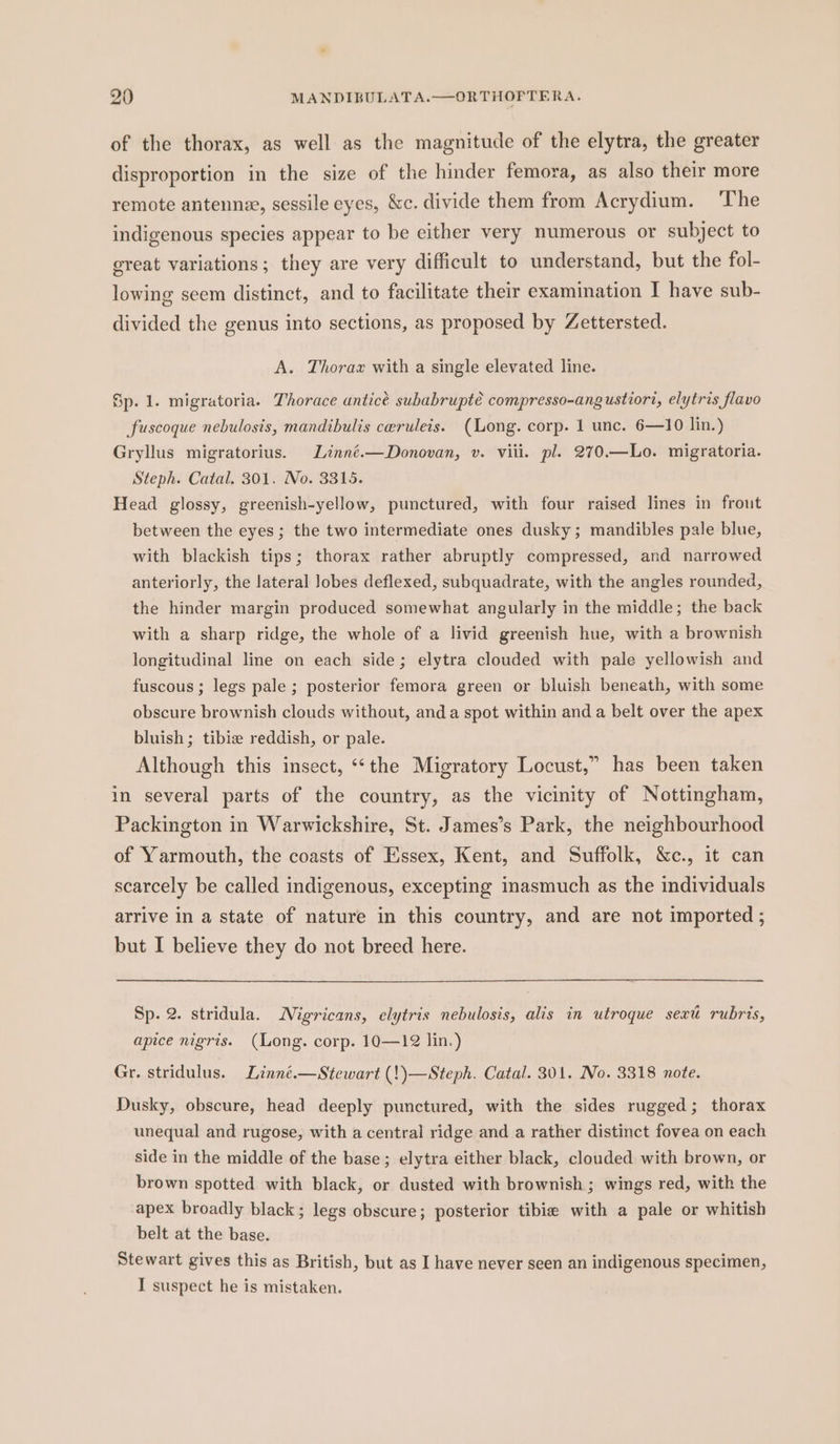 of the thorax, as well as the magnitude of the elytra, the greater disproportion in the size of the hinder femora, as also their more remote antennze, sessile eyes, &amp;c. divide them from Acrydium. The indigenous species appear to be either very numerous or subject to great variations; they are very difficult to understand, but the fol- lowing seem distinct, and to facilitate their examination I have sub- divided the genus into sections, as proposed by Zettersted. A. Thorax with a single elevated line. Sp. 1. migratoria. Thorace anticé subabrupté compresso-ang ustiori, elytris flavo fuscoque nebulosis, mandibulis ceruleis. (Long. corp. 1 unc. 6—10 lin.) Gryllus migratorius. Linné.—Donovan, v. viii. pl. 270.—Lo. migratoria. Steph. Catal. 301. No. 3315. Head glossy, greenish-yellow, punctured, with four raised lines in frout between the eyes; the two intermediate ones dusky; mandibles pale blue, with blackish tips; thorax rather abruptly compressed, and narrowed anteriorly, the lateral Jobes deflexed, subquadrate, with the angles rounded, the hinder margin produced somewhat angularly in the middle; the back with a sharp ridge, the whole of a livid greenish hue, with a brownish longitudinal line on each side; elytra clouded with pale yellowish and fuscous; legs pale ; posterior femora green or bluish beneath, with some obscure brownish clouds without, and a spot within and a belt over the apex bluish ; tibie reddish, or pale. Although this insect, “‘the Migratory Locust,” has been taken in several parts of the country, as the vicinity of Nottingham, Packington in Warwickshire, St. James’s Park, the neighbourhood of Yarmouth, the coasts of Essex, Kent, and Suffolk, &amp;c., it can scarcely be called indigenous, excepting inasmuch as the individuals arrive in a state of nature in this country, and are not imported ; but I believe they do not breed here. Sp. 2. stridula. Migricans, elytris nebulosis, alis in utroque sext rubris, apice nigris. (Long. corp. 10—12 lin.) Gr. stridulus. Linné.—Stewart (!)—Steph. Catal. 301. No. 3318 note. Dusky, obscure, head deeply punctured, with the sides rugged; thorax unequal and rugose, with a central ridge and a rather distinct fovea on each side in the middle of the base ; elytra either black, clouded with brown, or brown spotted with black, or dusted with brownish; wings red, with the apex broadly black ; legs obscure; posterior tibie with a pale or whitish belt at the base. Stewart gives this as British, but as I have never seen an indigenous specimen, I suspect he is mistaken.