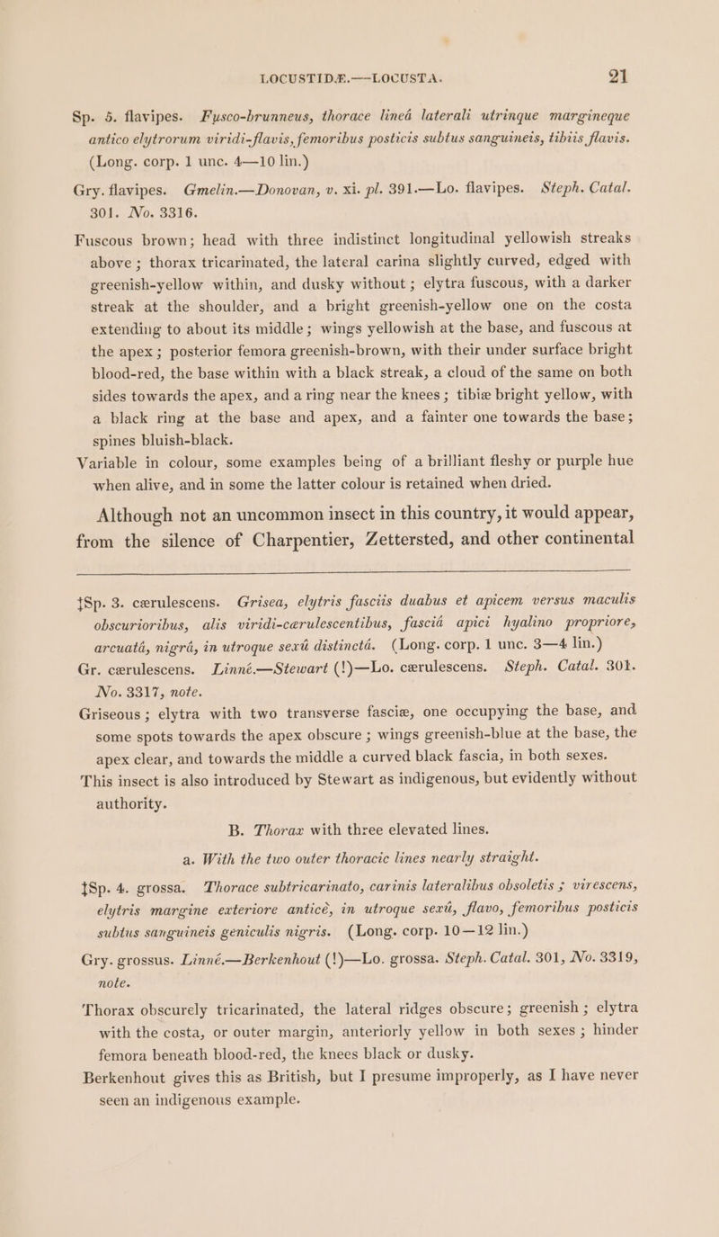 Sp. 5. flavipes. Fysco-brunneus, thorace lined laterali utrinque margineque antico elytrorum viridi-flavis, femoribus posticis subtus sanguinets, tibirs flavis. (Long. corp. 1 unc. 4—10 lin.) Gry. flavipes. Gmelin.—Donovan, v. xi. pl. 391.—Lo. flavipes. Steph. Catal. 301. No. 3316. Fuscous brown; head with three indistinct longitudinal yellowish streaks above ; thorax tricarinated, the lateral carina slightly curved, edged with greenish-yellow within, and dusky without ; elytra fuscous, with a darker streak at the shoulder, and a bright greenish-yellow one on the costa extending to about its middle; wings yellowish at the base, and fuscous at the apex ; posterior femora greenish-brown, with their under surface bright blood-red, the base within with a black streak, a cloud of the same on both sides towards the apex, and a ring near the knees ; tibie bright yellow, with a black ring at the base and apex, and a fainter one towards the base ; spines bluish-black. Variable in colour, some examples being of a brilliant fleshy or purple hue when alive, and in some the latter colour is retained when dried. Although not an uncommon insect in this country, it would appear, from the silence of Charpentier, Zettersted, and other continental {Sp. 3. cerulescens. Grisea, elytris fascris duabus et apicem versus maculis obscurioribus, alis viridi-cerulescentibus, fascia apici hyalino propriore, arcuata, nigra, in utroque sexti distinctd. (Long. corp. 1 unc. 3—4 lin.) Gr. cerulescens. Linné.—Stewart (!)—Lo. cerulescens. Steph. Catal. 301. No. 3317, note. Griseous ; elytra with two transverse fascie, one occupying the base, and some spots towards the apex obscure ; wings greenish-blue at the base, the apex clear, and towards the middle a curved black fascia, in both sexes. This insect is also introduced by Stewart as indigenous, but evidently without authority. B. Thorax with three elevated lines. a. With the two outer thoracic lines nearly straight. {Sp. 4. grossa. Thorace subtricarinato, carinis lateralibus obsoletis ; virescens, elytris margine exteriore anticé, in utroque sexi, flavo, femoribus posticis subtus sanguineis geniculis nigris. (Long. corp. 10—12 lin.) Gry. grossus. Linné.—Berkenhout (!)—Lo. grossa. Steph. Catal. 301, No. 3319, note. Thorax obscurely tricarinated, the lateral ridges obscure; greenish ; elytra with the costa, or outer margin, anteriorly yellow in both sexes ; hinder femora beneath blood-red, the knees black or dusky. Berkenhout gives this as British, but I presume improperly, as I have never seen an indigenous example.