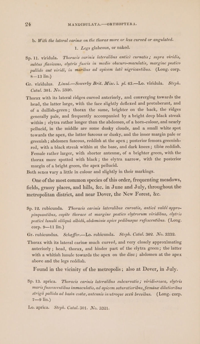 b. With the lateral carine on the thorax more or less curved or angulated. 1. Legs glabrous, or naked. Sp. 11. viridula. T'horacis carinis lateralibus anticé curvatis ; supra viridis, subtus flavicans, elytris fuscis in medio obscuro-maculatis, margine postico pallido aut viridi, in maribus ad apicem laté nigricantibus. (Long. corp. 8—13 lin.) Gr. viridulus. Linné.—Sowerby Brit. Misc. i. pl. 63.—Lo. viridula. Steph. Catal. 301. No. 3320. Thorax with its lateral ridges curved anteriorly, and converging towards the head, the latter large, with the face slightly deflexed and protuberant, and of a dullish-green; thorax the same, brighter on the back, the ridges generally pale, and frequently accompanied by a bright deep black streak within ; elytra rather longer than the abdomen, of a horn-colour, and nearly pellucid, in the middle are some dusky clouds, and a small white spot towards the apex, the latter fuscous or dusky, and the inner margin pale or greenish ; abdomen fuscous, reddish at the apex ; posterior femora greenish- red, with a black streak within at the base, and dark knees ; tibie reddish. Female rather larger, with shorter antenne, of a brighter green, with the thorax more spotted with black; the elytra narrow, with the posterior margin of a bright green, the apex pellucid. Both sexes vary a little in colour and slightly in their markings. One of the most common species of this order, frequenting meadows, fields, grassy places, and hills, &amp;c. in June and July, throughout the metropolitan district, and near Dover, the New Forest, &amp;c. Sp. 12. rubicunda. Thoracis carinis lateralibus curvatis, anticé valde appro- pinquantibus, capite thorace et margine postico elytrorum viridtbus, elytris posticé lunuld obliqua albidé, abdominis apice pedibusque rufescentibus. (Long. corp. 9—11 lin.) Gr. rubicundus. Scheffer.—Lo. rubicunda. Steph. Catal. 302. No. 3332. Thorax with its lateral carine much curved, and very closely approximating anteriorly ; head, thorax, and hinder part of the elytra green; the latter with a whitish lunule towards the apex on the disc; abdomen at the apex above and the legs reddish. Found in the vicinity of the metropolis; also at Dover, in July. Sp- 13. aprica. Thoracis carinis lateralibus subcurvatis ; viridi-rosea, elytris maris fuscescentibus immaculatis, ad apicem saturatioribus, feemine dilutioribus striga pallida ad basin costa, antennis in utroque seat brevibus. (Long. corp. 7—9 lin.) Lo. aprica. Steph. Catal. 301. No. 3321.