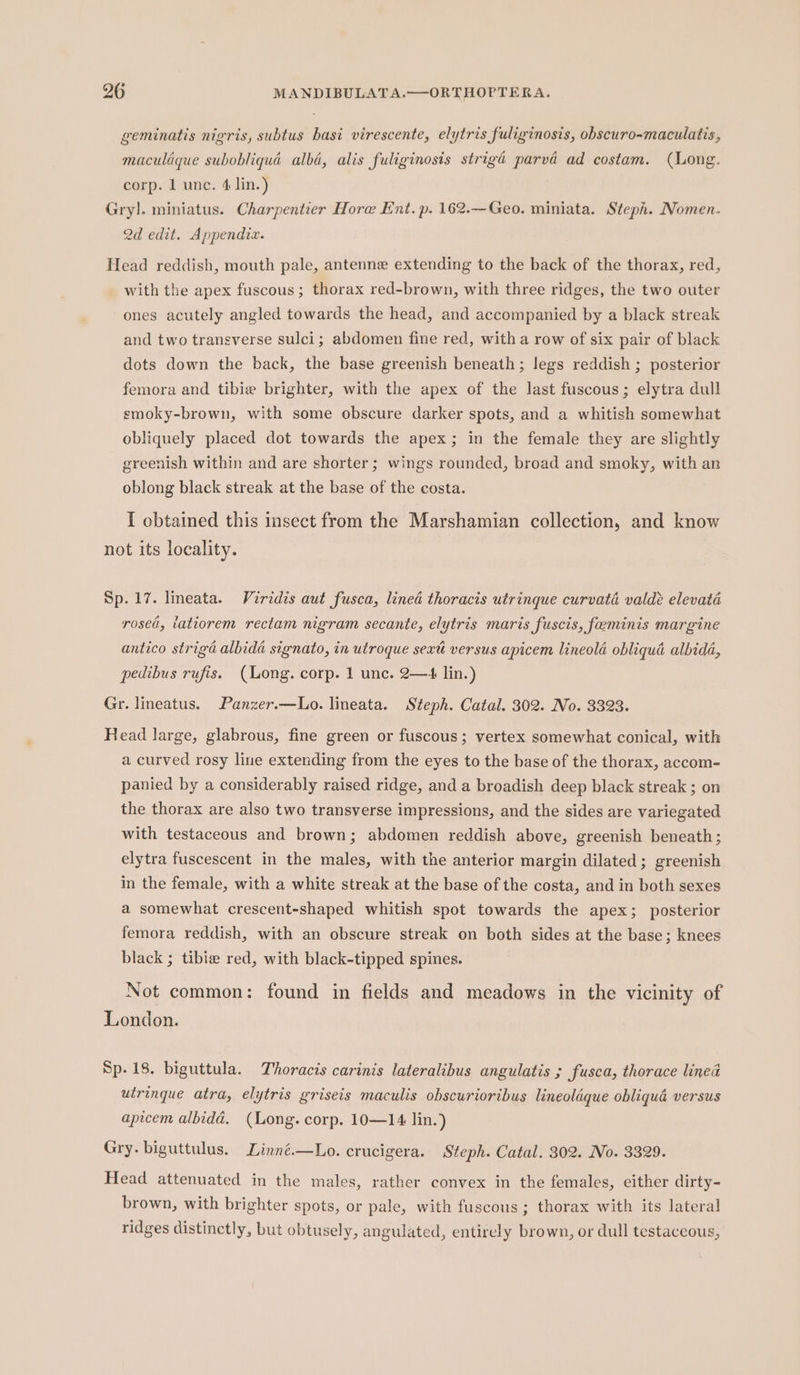 geminatis nigris, subtus basi virescente, elytris fuliginosis, obscuro-maculatis, maculdgue subobliqua alba, alis fuliginosis strigd parva ad costam. (Long. corp. 1 unc. 4 lin.) Gry]. miniatus. Charpentier Hore Ent. p. 162.—Geo. miniata. Steph. Nomen. 2d edit. Appendix. Head reddish, mouth pale, antenne extending to the back of the thorax, red, with the apex fuscous ; thorax red-brown, with three ridges, the two outer ones acutely angled towards the head, and accompanied by a black streak and two transverse sulci; abdomen fine red, with a row of six pair of black dots down the back, the base greenish beneath ; legs reddish ; posterior femora and tibie brighter, with the apex of the last fuscous; elytra dull smoky-brown, with some obscure darker spots, and a whitish somewhat obliquely placed dot towards the apex; in the female they are slightly greenish within and are shorter; wings rounded, broad and smoky, with an oblong black streak at the base of the costa. I obtained this insect from the Marshamian collection, and know not its locality. Sp. 17. lineata. Viridis aut fusca, lined thoracis utrinque curvata valde elevaté rosea, latiorem rectam nigram secante, elytris maris fuscis, feminis margine antico strigd albida signato, in utroque sext versus apicem lineola obliqua albida, pedibus rufis. (Long. corp. 1 unc. 2—+4 lin.) Gr. lineatus. Panzer.—Lo. lineata. Steph. Catal. 302. No. 3323. Head large, glabrous, fine green or fuscous; vertex somewhat conical, with a curved rosy line extending from the eyes to the base of the thorax, accom- panied by a considerably raised ridge, and a broadish deep black streak ; on the thorax are also two transverse impressions, and the sides are variegated with testaceous and brown; abdomen reddish above, greenish beneath; elytra fuscescent in the males, with the anterior margin dilated ; greenish in the female, with a white streak at the base of the costa, and in both sexes a somewhat crescent-shaped whitish spot towards the apex; posterior femora reddish, with an obscure streak on both sides at the base; knees black ; tibie red, with black-tipped spines. Not common: found in fields and meadows in the vicinity of London. Sp. 18. biguttula. Thoracis carinis lateralibus angulatis ; fusca, thorace lined utringue atra, elytris griseis maculis obscurioribus lineolaque obliquéd versus apicem albidd. (Long. corp. 10—14 lin.) Gry. biguttulus. Linné.—Lo. crucigera. Steph. Catal. 302. No. 3329. Head attenuated in the males, rather convex in the females, either dirty- brown, with brighter spots, or pale, with fuscous; thorax with its lateral ridges distinctly, but obtusely, angulated, entirely brown, or dull testaceous,