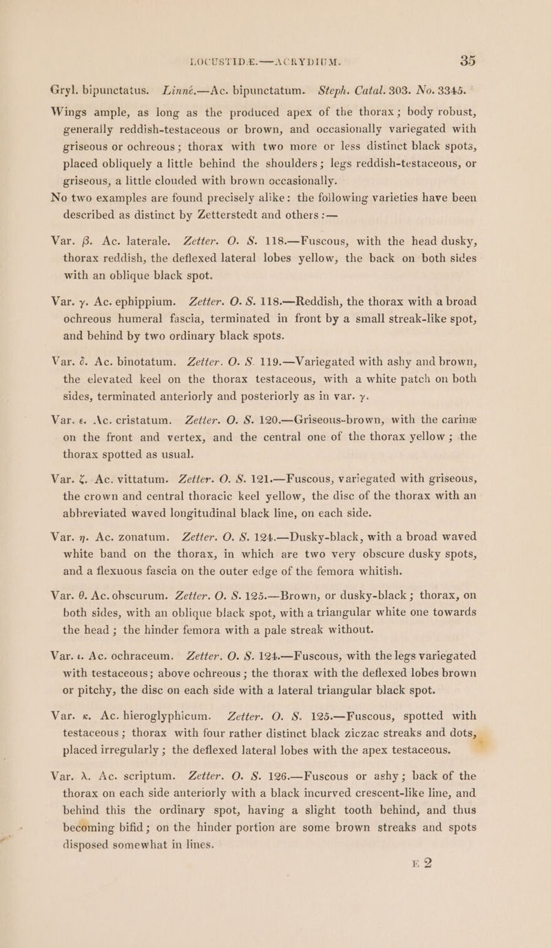 Gryl. bipunctatus. Linné.—Ac. bipunctatum. Steph. Catal. 303. No. 3345. Wings ample, as long as the produced apex of the thorax; body robust, generally reddish-testaceous or brown, and occasionally variegated with griseous or ochreous; thorax with two more or less distinct black spots, placed obliquely a little behind the shoulders; legs reddish-testaceous, or griseous, a little clouded with brown occasionally. No two examples are found precisely alike: the following varieties have been described as distinct by Zetterstedt and others :— Var. 6. Ac. laterale. Zetter. O. S. 118.—Fuscous, with the head dusky, thorax reddish, the deflexed lateral lobes yellow, the back on both sides with an oblique black spot. Var. y. Ac. ephippium. Zetter. O. S. 118.—Reddish, the thorax with a broad ochreous humeral fascia, terminated in front by a small streak-like spot, and behind by two ordinary black spots. Var. 0. Ac. binotatum. Zetter. O. S. 119.—Variegated with ashy and brown, the elevated keel on the thorax testaceous, with a white patch on both sides, terminated anteriorly and posteriorly as in var. y. Var. «. .\c.cristatum. Zetter. O. S. 120.—Griseous-brown, with the carine on the front and vertex, and the central one of the thorax yellow ; the thorax spotted as usual. Var. %. Ac. vittatum. Zetter. O. S. 121.—Fuscous, variegated with griseous, the crown and central thoracic keel yellow, the disc of the thorax with an abbreviated waved longitudinal black line, on each side. Var. ». Ac. zonatum. Zetter. O. S. 124.—Dusky-black, with a broad waved white band on the thorax, in which are two very obscure dusky spots, and a flexuous fascia on the outer edge of the femora whitish. Var. 9. Ac. ohscurum. Zetter. O. S. 125.—Brown, or dusky-black ; thorax, on both sides, with an oblique black spot, with a triangular white one towards the head ; the hinder femora with a pale streak without. Var.t. Ac. ochraceum, Zetter. O. S. 124.—Fuscous, with the legs variegated with testaceous; above ochreous ; the thorax with the deflexed lobes brown or pitchy, the disc on each side with a lateral triangular black spot. Var. «. Ac. hieroglyphicum. Zetter. O. S. 125.—Fuscous, spotted with testaceous ; thorax with four rather distinct black ziczac streaks and dots, placed irregularly ; the deflexed lateral lobes with the apex testaceous. Var. X. Ac. scriptum. Zetter. O. S. 126.—Fuscous or ashy; back of the thorax on each side anteriorly with a black incurved crescent-like line, and behind this the ordinary spot, having a slight tooth behind, and thus becoming bifid; on the hinder portion are some brown streaks and spots disposed somewhat in lines. EQ
