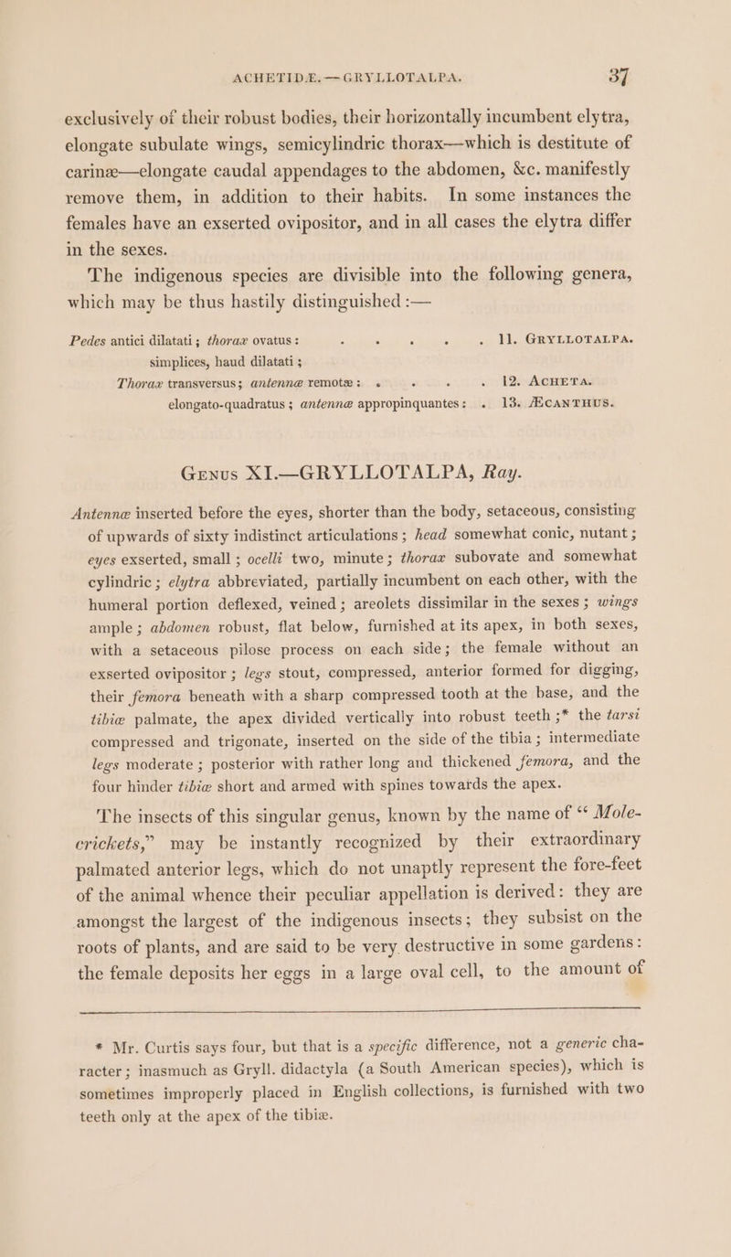 exclusively of their robust bodies, their horizontally incumbent elytra, elongate subulate wings, semicylindric thorax—which is destitute of carinee—elongate caudal appendages to the abdomen, &amp;c. manifestly remove them, in addition to their habits. In some instances the females have an exserted ovipositor, and in all cases the elytra differ in the sexes. The indigenous species are divisible into the following genera, which may be thus hastily distinguished :— Pedes antici dilatati; thorax ovatus: : 5 . ll. GRYLLOTALPA. simplices, haud dilatati ; Thorax transversus; antenne remote: « , : . 12. ACHETA. elongato-quadratus ; antenne appropinquantes: . 13. ASCANTHUS. Genus XI—GRYLLOTALPA, Ray. Antenne inserted before the eyes, shorter than the body, setaceous, consisting of upwards of sixty indistinct articulations ; head somewhat conic, nutant ; eyes exserted, small ; ocelli two, minute; thorax subovate and somewhat cylindric ; elytra abbreviated, partially incumbent on each other, with the humeral portion deflexed, veined ; areolets dissimilar in the sexes ; wing's ample ; abdomen robust, flat below, furnished at its apex, in both sexes, with a setaceous pilose process on each side; the female without an exserted ovipositor ; legs stout, compressed, anterior formed for digging, their femora beneath with a sharp compressed tooth at the base, and the tibie palmate, the apex divided vertically into robust teeth ;* the tarsz compressed and trigonate, inserted on the side of the tibia ; intermediate legs moderate ; posterior with rather long and thickened femora, and the four hinder tibie short and armed with spines towards the apex. The insects of this singular genus, known by the name of “ Mole- crickets,’ may be instantly recognized by their extraordinary palmated anterior legs, which do not unaptly represent the fore-feet of the animal whence their peculiar appellation is derived: they are amongst the largest of the indigenous insects; they subsist on the roots of plants, and are said to be very. destructive in some gardens : the female deposits her eggs in a large oval cell, to the amount of ae ae se ee SS eee * Mr. Curtis says four, but that is a specific difference, not a generic cha- racter; inasmuch as Gryll. didactyla (a South American species), which is sometimes improperly placed in English collections, is furnished with two teeth only at the apex of the tibie.