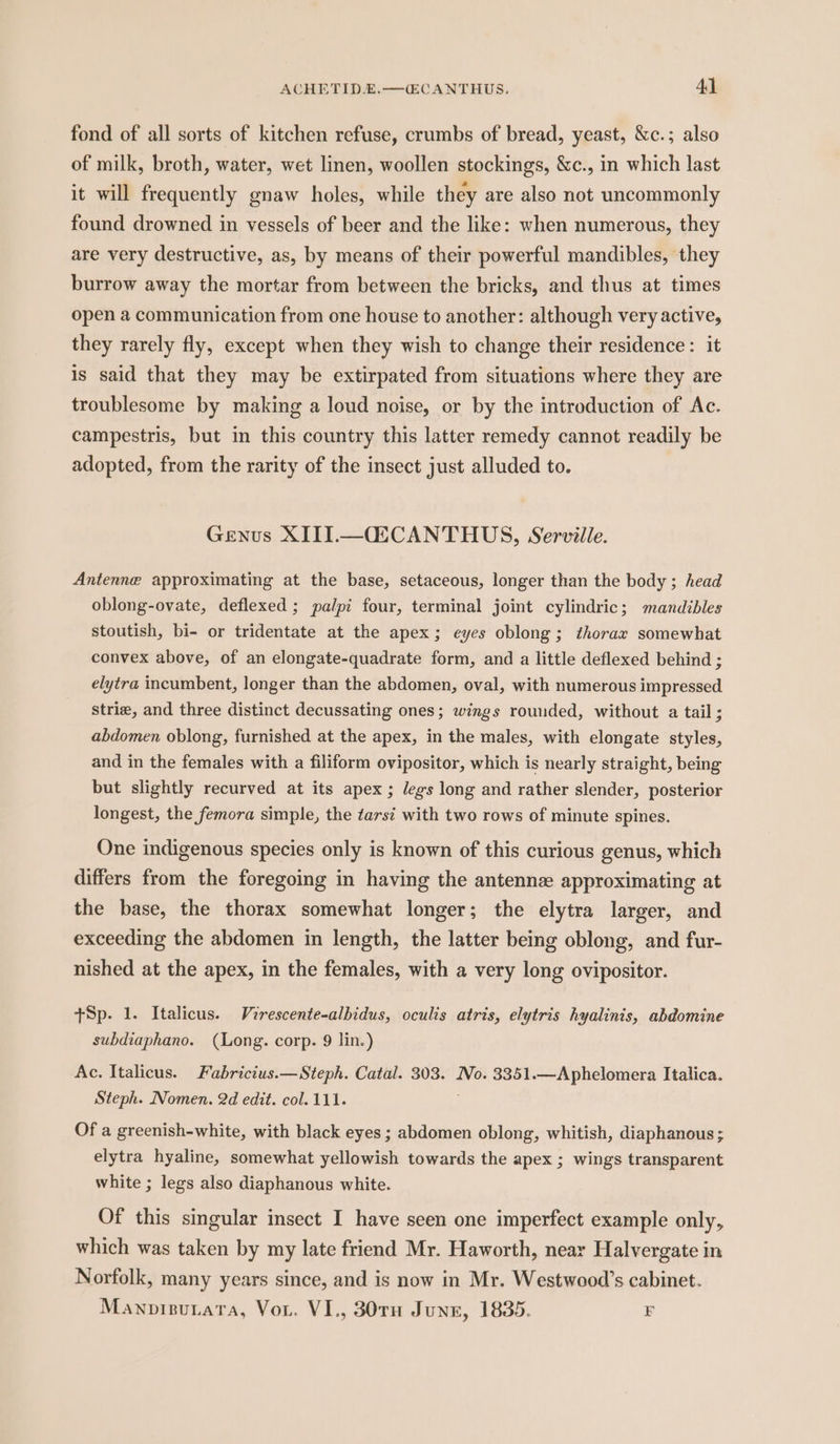 ACHETID£.—CECANTHUS. 4]. fond of all sorts of kitchen refuse, crumbs of bread, yeast, &amp;c.; also of milk, broth, water, wet linen, woollen stockings, &amp;c., in which last it will frequently gnaw holes, while they are also not uncommonly found drowned in vessels of beer and the like: when numerous, they are very destructive, as, by means of their powerful mandibles, they burrow away the mortar from between the bricks, and thus at times open a communication from one house to another: although very active, they rarely fly, except when they wish to change their residence: it is said that they may be extirpated from situations where they are troublesome by making a loud noise, or by the introduction of Ac. campestris, but in this country this latter remedy cannot readily be adopted, from the rarity of the insect just alluded to. Genus XIII.—CECANTHUS, Serville. Antenne approximating at the base, setaceous, longer than the body; head oblong-ovate, deflexed ; palpi four, terminal joint cylindric; mandibles stoutish, bi- or tridentate at the apex; eyes oblong; thorax somewhat convex above, of an elongate-quadrate form, and a little deflexed behind ; elytra incumbent, longer than the abdomen, oval, with numerous impressed strie, and three distinct decussating ones; wings rounded, without a tail ; abdomen oblong, furnished at the apex, in the males, with elongate styles, and in the females with a filiform ovipositor, which is nearly straight, being but slightly recurved at its apex ; legs long and rather slender, posterior longest, the femora simple, the tarsi with two rows of minute spines. One indigenous species only is known of this curious genus, which differs from the foregoing in having the antennz approximating at the base, the thorax somewhat longer; the elytra larger, and exceeding the abdomen in length, the latter being oblong, and fur- nished at the apex, in the females, with a very long ovipositor. +Sp. 1. Italicus. Virescente-albidus, oculis atris, elytris hyalinis, abdomine subdiaphano. (Long. corp. 9 lin.) Ac. Italicus. Fabricius.—Steph. Catal. 303. No. 3351.—Aphelomera Italica. Steph. Nomen. 2d edit. col. 111. Of a greenish-white, with black eyes ; abdomen oblong, whitish, diaphanous; elytra hyaline, somewhat yellowish towards the apex ; wings transparent white ; legs also diaphanous white. Of this singular insect I have seen one imperfect example only, which was taken by my late friend Mr. Haworth, near Halvergate in Norfolk, many years since, and is now in Mr. Westwood’s cabinet. Manovizsutata, Vor. VI., 307TH June, 1835. E