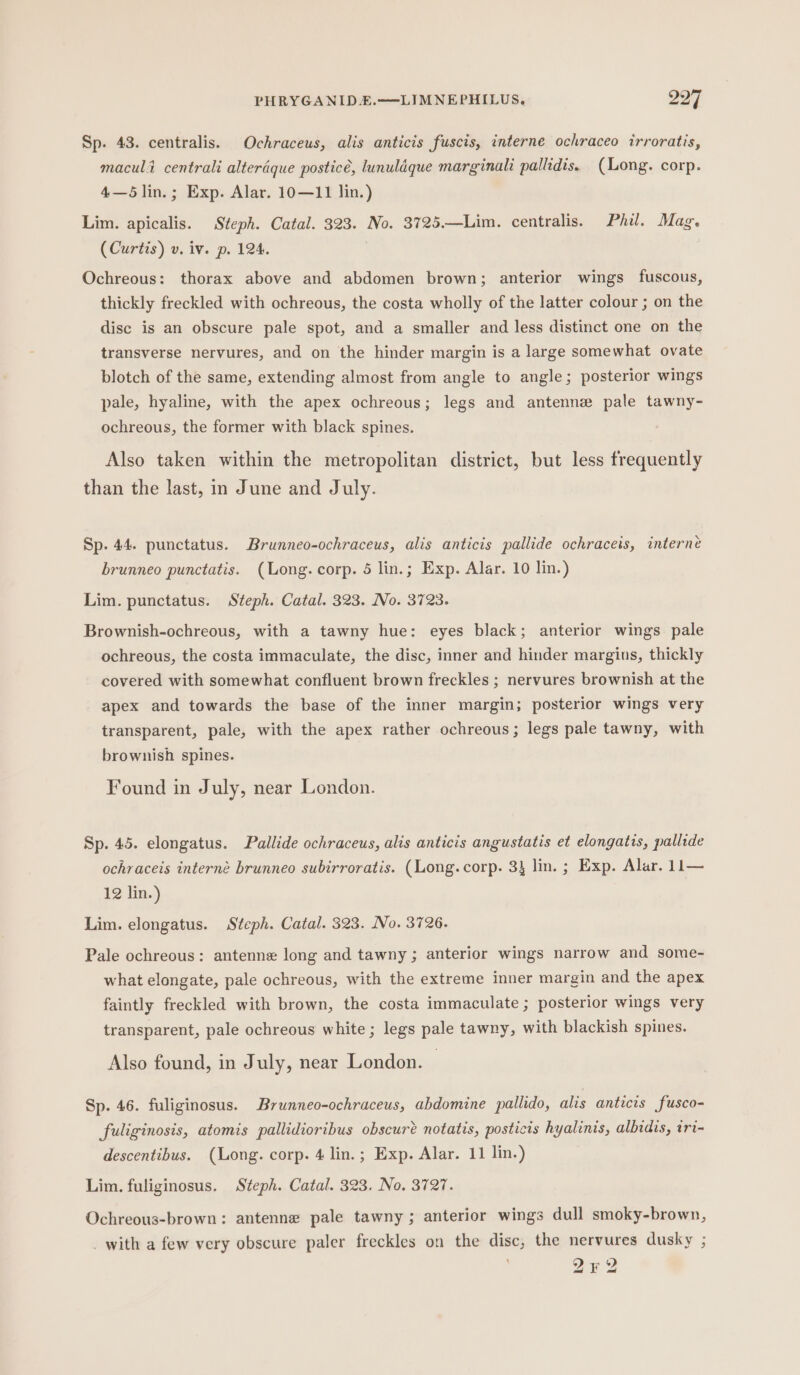 Sp. 43. centralis. Ochraceus, alis anticis fuscis, interne ochraceo irroratis, maculi centrali alterdque posticé, lunuldque marginali pallidis. (Long. corp. 4—5lin.; Exp. Alar. 10—11 lin.) Lim. apicalis. Steph. Catal. 323. No. 3725.—Lim. centralis. Phil. Mag. (Curtis) v. iv. p. 124. Ochreous: thorax above and abdomen brown; anterior wings fuscous, thickly freckled with ochreous, the costa wholly of the latter colour ; on the disc is an obscure pale spot, and a smaller and less distinct one on the transverse nervures, and on the hinder margin is a large somewhat ovate blotch of the same, extending almost from angle to angle; posterior wings pale, hyaline, with the apex ochreous; legs and antenne pale tawny- ochreous, the former with black spines. Also taken within the metropolitan district, but less frequently than the last, in June and July. Sp. 44. punctatus. Brunneo-ochraceus, alis anticis pallide ochraceis, interne brunneo punctatis. (Long. corp. 5 lin.; Exp. Alar. 10 lin.) Lim. punctatus. Steph. Catal. 323. No. 3723. Brownish-ochreous, with a tawny hue: eyes black; anterior wings pale ochreous, the costa immaculate, the disc, inner and hinder margins, thickly covered with somewhat confluent brown freckles ; nervures brownish at the apex and towards the base of the inner margin; posterior wings very transparent, pale, with the apex rather ochreous; legs pale tawny, with brownish spines. Found in July, near London. Sp. 45. elongatus. Pallide ochraceus, alis anticis angustatis et elongatis, pallide ochraceis interné brunneo subirroratis. (Long. corp. 3} lin. ; Exp. Alar. 11— 12 lin.) Lim. elongatus. Steph. Catal. 323. No. 3726. Pale ochreous: antenne long and tawny ; anterior wings narrow and some- what elongate, pale ochreous, with the extreme inner margin and the apex faintly freckled with brown, the costa immaculate ; posterior wings very transparent, pale ochreous white ; legs pale tawny, with blackish spines. Also found, in July, near London. , Sp. 46. fuliginosus. Brunneo-ochraceus, abdomine pallido, alis anticis fusco- fuliginosis, atomis pallidiortbus obscuré notatis, posticis hyalinis, albidis, iri- descentibus. (Long. corp. 4 lin. ; Exp. Alar. 11 lin.) Lim. fuliginosus. Steph. Catal. 323. No. 3727. Ochreous-brown: antenne pale tawny ; anterior wings dull smoky-brown, _ with a few very obscure paler freckles on the disc, the nervures dusky ; 222