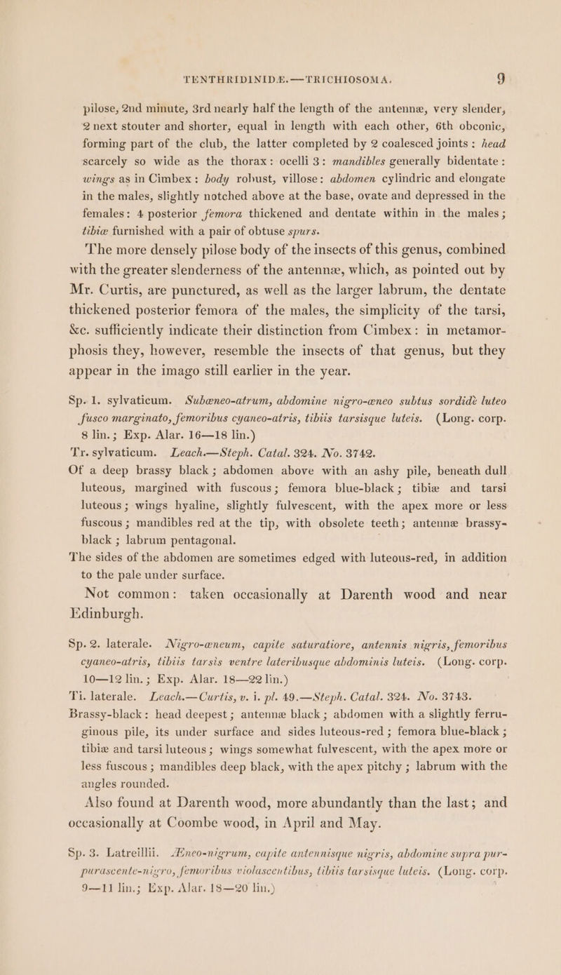 TENTHRIDINIDE.—TRICHIOSOMA. g pilose, 2nd minute, 3rd nearly half the length of the antenne, very slender, 2 next stouter and shorter, equal in length with each other, 6th obconic, forming part of the club, the latter completed by 2 coalesced joints : head scarcely so wide as the thorax: ocelli 3: mandibles generally bidentate : wings as in Cimbex: body robust, villose: abdomen cylindric and elongate in the males, slightly notched above at the base, ovate and depressed in the females: 4 posterior femora thickened and dentate within in the males ; tibie furnished with a pair of obtuse spurs. The more densely pilose body of the insects of this genus, combined with the greater slenderness of the antennee, which, as pointed out by Mr. Curtis, are punctured, as well as the larger labrum, the dentate thickened posterior femora of the males, the simplicity of the tarsi, &amp;c. sufficiently indicate their distinction from Cimbex: in metamor- phosis they, however, resemble the insects of that genus, but they appear in the imago still earlier in the year. Sp. 1. sylvaticum. Subeneo-atrum, abdomine nigro-eneo subtus sordidé luteo fusco marginato, femoribus cyaneo-atris, tibiis tarsisque luteis. (Long. corp. 8 lin.; Exp. Alar. 16—18 lin.) Tr. sylvaticum. Leach.—Steph. Catal. 324. No. 3742. Of a deep brassy black ; abdomen above with an ashy pile, beneath dull luteous, margined with fuscous; femora blue-black; tibie and _ tarsi luteous ; wings hyaline, slightly fulvescent, with the apex more or less fuscous ; mandibles red at the tip, with obsolete teeth; antenne brassy- black ; labrum pentagonal. The sides of the abdomen are sometimes edged with luteous-red, in addition to the pale under surface. Not common: taken occasionally at Darenth wood and near dinburgh. Sp.2. laterale. Migro-awneum, capite saturatiore, antennis nigris, femoribus cyaneo-atris, tibiis tarsis ventre lateribusque abdominis luteis. (ong. corp. 10—12 lin.; Exp. Alar. 18—2@ lin.) Ti. laterale. Leach.— Curtis, v. i. pl. 49.—Steph. Catal. 324. No. 3743. Brassy-black: head deepest ; antenne black ; abdomen with a slightly ferru- ginous pile, its under surface and sides luteous-red ; femora blue-black ; tibia and tarsi luteous ; wings somewhat fulvescent, with the apex more or less fuscous ; mandibles deep black, with the apex pitchy ; labrum with the angles rounded. Also found at Darenth wood, more abundantly than the last ; and occasionally at Coombe wood, in April and May. Sp. 3. Latreillii. Aneo-nigrum, capite antennisque nigris, abdomine supra pur- purascente-niyro, femoribus violascentibus, tibiis tarsisque luteis. (Long. corp.