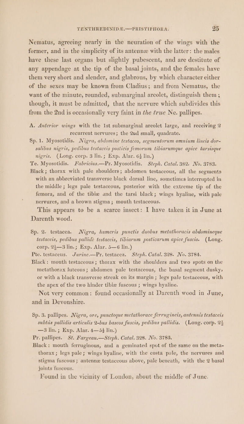 Nematus, agreeing nearly in the neuration of the wings with the former, and in the simplicity of its antennee with the latter: the males have these last organs but slightly pubescent, and are destitute of any appendage at the tip of the basal joimts, and the females have them very short and slender, and glabrous, by which character either of the sexes may be known from Cladius; and from Nematus, the want of the minute, rounded, submarginal areolet, distinguish them ; though, it must be admitted, that the nervure which subdivides this from the 2nd is occasionally very faint in the true Ne. pallipes. A. Anterior wings with the Ist submarginal areolet large, and receiving 2 recurrent nervures; the 2ad small, quadrate. Sp. 1. Myosotidis. Nigra, abdomine testaceo, segmentorum omnium linets dor- salibus nigris, pedibus testaceis posiicis femorum tibiarumque apice tarsisque nigris. (Long. corp. 3 lin.; Exp. Alar. 64 lin.) Te. Myosotidis. Fabrictus.—Pr. Myosotidis. Steph. Catal. 382. No. 3783. Black ; thorax with pale shoulders; abdomen testaceous, all the segments with an abbreviated transverse black dersal line, sometimes interrupted in the middle ; legs pale testaceous, posterior with the extreme tip of the femora, and of the tibia and the tarsi black; wings hyaline, with pale nervures, and a brown stigma; mouth testaceous. This appears to be a scarce insect: I have taken it in June at Darenth wood. Sp. 2. testacea. Migra, humeris punctis duobus metathoracis abdomineque testaceis, pedibus pallidé testaceis, tibiarum posticarum apice fuscis. (Long. corp. 24—3 lin.; Exp. Alar. 5—6 lin.) Pte. testaceus. Jurine.—Pr. testacea. Steph. Catal. 328. No. 3784. Black: mouth testaceous ; thorax with the shoulders and two spots on the metathorax luteous; abdomen pale testaceous, the basal segment dusky, or with a black transverse streak on its margin; legs pale testaceous, with the apex of the two hinder tibie fuscous ; wings hyaline. Not very common: found occasionally at Darenth wood in June, and in Devonshire. Sp. 3. pallipes. Nigra, ore, punctoque metathorace ferrugineis, antennis testacets subtus pallidis articulis 2-bus baseos fuscis, pedibus pallidis. (Long. corp. 24 —3 lin.; Exp. Alar. 4—53 lin.) Pr. pallipes. St. Fargeau.—Steph. Catal. 328. No. 3785. Black: mouth ferruginous, and a geminated spot of the same on the meta- thorax ; legs pale; wings hyaline, with the costa pale, the nervures and stigma fuscous ; antenne testaceous above, pale beneath, with the 2 basal joints fuscous. Found in the vicinity of London, about the middle of June.