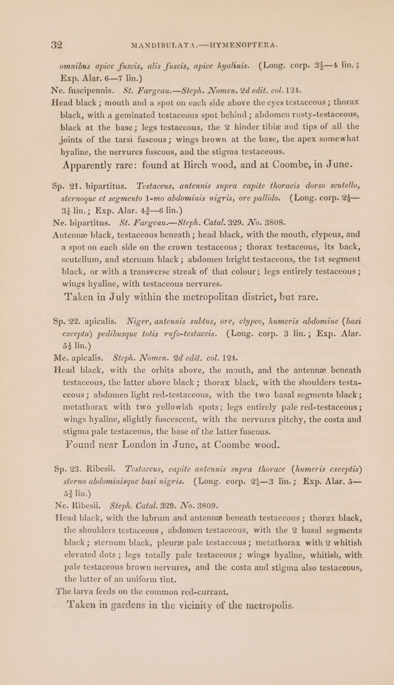 omnibus apice fuscis, alis fuscis, apice hyalinis. (Long. corp. 35—4 lin. 5 Exp. Alar. 6—7 lin.) Ne. fuscipennis. St. Fargeau.—Steph. Nomen. 2d edit. col. 124. Head black ; mouth and a spot on each side above the eyes testaceous ; thorax black, with a geminated testaceous spot behind ; abdomen rusty-testaceous, black at the base; legs testaceous, the 2 hinder tibie and tips of all the joints of the tarsi fuscous; wings brown at the base, the apex somewhat hyaline, the nervures fuscous, and the stigma testaceous. Apparently rare: found at Birch wood, and at Coombe, in June. Sp. 21. bipartitus. Testaceus, antennis supra capite thoracis dorso scutello, sternoque et segmento 1-mo abdominis nigris, ore pallido. (Long. corp. 2s— 34 lin.; Exp. Alar. 43—6 lin.) Ne. bipartitus. St. Fargeau.—sSteph. Catal. 329. No. 3808. Antenne black, testaceous beneath ; head black, with the mouth, clypeus, and a spot on each side on the crown testaceous ; thorax testaceous, its back, scutellum, and sternum black ; abdomen bright testaceous, the Ist segment black, or with a transverse streak of that colour; legs entirely testaceous ; wings hyaline, with testaceous nervures. Taken in July within the metropolitan district, but rare. Sp. 22. apicalis. Niger, antennis subtus, ore, clypeo, humeris abdomine (bast excepta) pedibusque totis rufo-testaceis. (ong. corp. 3 lin.; Exp. Alar. 53 lin.) Me. apicalis. Steph. Nomen. 2d edit. col. 124. Head black, with the orbits above, the mouth, and the antenne beneath testaceous, the latter above black ; thorax black, with the shoulders testa- ceous ; abdomen light red-testaceous, with the two basal segments black ; metathorax with two yellowish spots; legs entirely pale red-testaceous ; wings hyaline, slightly fuscescent, with the nervures pitchy, the costa and stigma pale testaceous, the base of the latter fuscous. Found near London in June, at Coombe wood. Sp. 23. Ribesii. Testuceus, capite antennis supra thorace (humeris exceptis) sterno abdominisque basi nigris. (Long. corp. 2}—3 lin.; Exp. Alar. 5— 53 lin.) Ne. Ribesii. Steph. Catal. 329. No. 3809. Head black, with the Jabrum and antenne beneath testaceous ; thorax black, the shoulders testaceous , abdomen testaceous, with the 2 basal segments black ; sternum black, pleure pale testaceous; metathorax with 2 whitish elevated dots ; legs totally pale testaceous; wings hyaline, whitish, with pale testaceous brown nervures, and the costa and stigma also testaceous, the latter of an uniform tint. The larva feeds on the common red-currant. Taken in gardens in the vicinity of the metropolis.