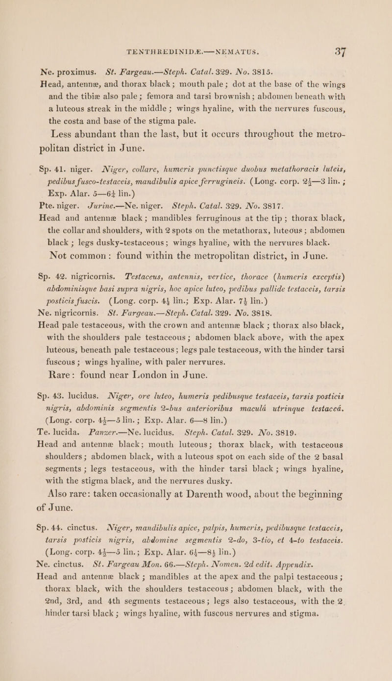 Ne. proximus. St. Fargeau.—Steph. Catal. 329. No. 3815. Head, antenne, and thorax black; mouth pale; dot at the base of the wings and the tibie also pale; femora and tarsi brownish; abdomen beneath with a luteous streak in the middle ; wings hyaline, with the nervures fuscous, the costa and base of the stigma pale. Less abundant than the last, but it occurs throughout the metro- politan district in June. Sp. 41. niger. Niger, collare, humeris punctisque duohus metathoracis luteis, pedibus fusco-testaceis, mandibulis apice ferrugineis. (Long. corp. 25—8 lin. ; Exp. Alar. 5—6 lin.) Pte. niger. Jurine.—Ne. niger. Steph. Catal. 329. No. 3817. Head and antenne black; mandibles ferruginous at the tip; thorax black, the collar and shoulders, with 2 spots on the metathorax, luteous ; abdomen black ; legs dusky-testaceous; wings hyaline, with the nervures black. Not common: found within the metropolitan district, in June. Sp. 42. nigricornis. Testaceus, antennis, vertice, thorace (humeris exceptis) abdominisque basi supra nigris, hoc apice luteo, pedibus pallide testaceis, tarsis posticis fuscis. (Long. corp. 43 lin.; Exp. Alar. 73 lin.) Ne. nigricornis. St. Fargeau.—Steph. Catal. 329. No. 3818. Head pale testaceous, with the crown and antenne black ; thorax also black, with the shoulders pale testaceous; abdomen black above, with the apex luteous, beneath pale testaceous; legs pale testaceous, with the hinder tarsi fuscous ; wings hyaline, with paler nervures. Rare: found near Iondon in June. Sp. 43. lucidus. Niger, ore luteo, humeris pedibusque testacets, tarsis posticis nigris, abdominis segmentis 2-bus anterioribus macula utrinque testaced. (Long. corp. 45—5 lin.; Exp. Alar. 6—8 lin.) Te. lucida. Panzer.—Ne.lucidus. Steph. Catal. 329. No. 3819. Head and antenne black; mouth luteous; thorax black, with testaceous shoulders ; abdomen black, with a luteous spot on each side of the 2 basal segments ; legs testaceous, with the hinder tarsi black ; wings hyaline, with the stigma black, and the nervures dusky. Also rare: taken occasionally at Darenth wood, about the beginning of June. Sp. 44. cinctus. Niger, mandibulis apice, palpis, humeris, pedibusque testaceis, tarsis posticis nigris, abdomine segmentis 2-do, 3-tio, et 4-to testacets. (Long. corp. 45—5 lin.; Exp. Alar. 64—83 lin.) Ne. cinctus. St. Fargeau Mon. 66.—Steph. Nomen. 2d edit. Appendix. Head and antenne black ; mandibles at the apex and the palpi testaceous ; thorax black, with the shoulders testaceous; abdomen black, with the 2nd, 3rd, and 4th segments testaceous; legs also testaceous, with the 2. hinder tarsi black ; wings hyaline, with fuscous nervures and stigma.