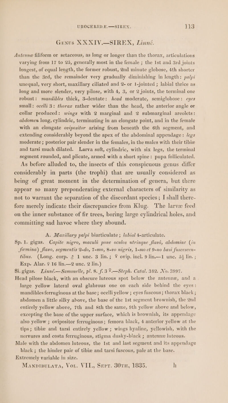 Genus XXXIV.—SIREX, Linné. Antenne filiform or setaceous, as long or longer than the thorax, articulations varying from 17 to 25, generally most in the female ; the Ist and 3rd joints longest, of equal length, the former robust, 2nd minute globose, 4th shorter than the 3rd, the remainder very gradually diminishing in length: palpi unequal, very short, maxillary ciliated and 2- or {-jointed ; labial thrice as long and more slender, very pilose, with 4, 3, or 2 joints, the terminal one robust: mandibles thick, 3-dentate: head moderate, semiglobose: eyes small: ocelli 3: thorax rather wider than the head, the anterior angle or collar produced: wings with 2 marginal and 2 submarginal areolets: abdomen long, cylindric, terminating in an elongate point, and in the female with an elongate ovépositor arising from beneath the 6th segment, and extending considerably beyond the apex of the abdominal appendage: legs moderate ; posterior pair slender in the females, in the males with their tibie and tarsi much dilated. Larva soft, cylindric, with six legs, the terminal segment rounded, and plicate, armed with a short spine: pupa folliculated, As before alluded to, the insects of this conspicuous genus differ considerably in parts (the trophi) that are usually considered as being of great moment in the determination of genera, but there appear so many preponderating external characters of similarity as not to warrant the separation of the discordant species; I shall there- fore merely indicate their discrepancies from Klug. The larvee feed on the inner substance of fir trees, boring large cylindrical holes, and committing sad havoc where they abound. A. Maxillary palpi biarticulate ; labial 4-articulate. Sp. 1. gigas. Capite nigro, macula pone oculos utrinque flava, abdomine (in femina) flavo, segmentis 2-do, 7-mo, 8-vo nigris, 1-mo et 9-no basi fuscescen- tibus. (Long. corp. ¢ 1 une. 8 lin.; * ovip. incl. 9 lin.x—1 unc. 52 lin. ; Exp. Alar. ° 16 lin.—? unc. @ lin.) Si. gigas. Linné.—Samouelle, pl. 8. f.3 ?.—Steph. Catal. 342. No. 3997. Head pilose black, with an obscure luteous spot below the antenne, and a large yellow lateral oval glabrous one on each side behind the eyes: mandibles ferruginous at the base; ocelli yellow ; eyes fuscous; thorax black ; abdomen a little silky above, the base of the 1st segment brownish, the 2nd entirely yellow above, 7th and 8th the same, 9th yellow above and below, excepting the base of the upper surface, which is brownish, its appendage also yellow ; ovipositor ferruginous; femora black, 4 anterior yellow at the tips; tibie and tarsi entirely yellow ; wings hyaline, yellowish, with the nervures and costa ferruginous, stigma dusky-black ; antennz luteous. Male with the abdomen luteous, the Ist and last segment and its appendage black ; the hinder pair of tibie and tarsi fuscous, pale at the base. Extremely variable in size. Manpisutata, Vou. VII., Sert. 30TH, 1835. h