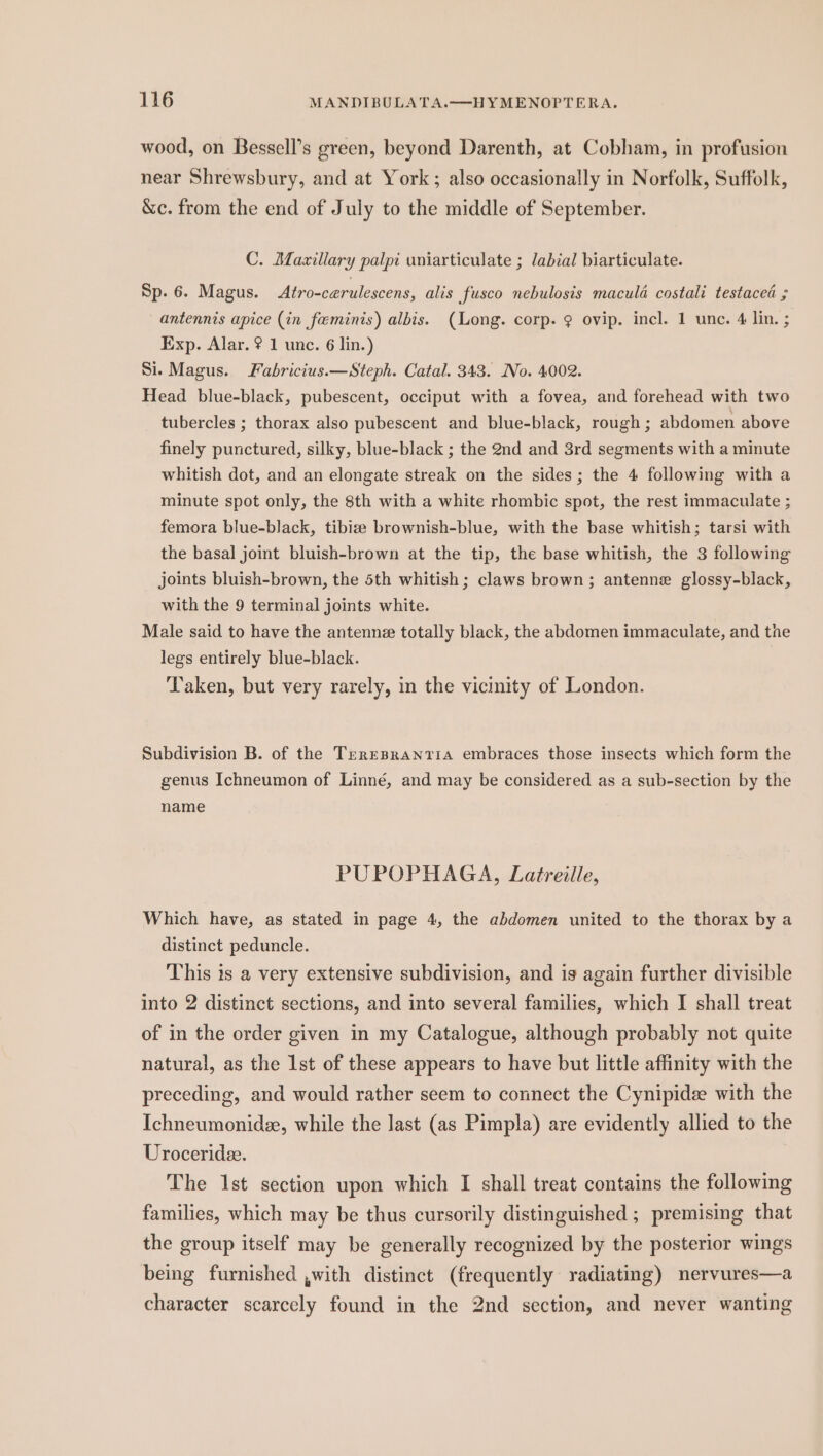 wood, on Bessell’s green, beyond Darenth, at Cobham, in profusion near Shrewsbury, and at York; also occasionally in Norfolk, Suffolk, &amp;c. from the end of July to the middle of September. C. Mazillary palpi uniarticulate ; labial biarticulate. Sp. 6. Magus. Atro-cerulescens, alis fusco nebulosis maculd costali testacea ; antennis apice (in feminis) albis. (Long. corp. ¢ ovip. incl. 1 unc. 4 lin. ; Exp. Alar. ? 1 unc. 6 lin.) Si. Magus. Fabricius.—Steph. Catal. 343. No. 4002. Head blue-black, pubescent, occiput with a fovea, and forehead with two tubercles ; thorax also pubescent and blue-black, rough ; abdomen above finely punctured, silky, blue-black ; the 2nd and 3rd segments with a minute whitish dot, and an elongate streak on the sides; the 4 following with a minute spot only, the 8th with a white rhombic spot, the rest immaculate ; femora blue-black, tibizse brownish-blue, with the base whitish; tarsi with the basal joint bluish-brown at the tip, the base whitish, the 3 following joints bluish-brown, the 5th whitish ; claws brown; antenne glossy-black, with the 9 terminal joints white. Male said to have the antennz totally black, the abdomen immaculate, and the legs entirely blue-black. Taken, but very rarely, in the vicinity of London. Subdivision B. of the TireBRant11A embraces those insects which form the genus Ichneumon of Linné, and may be considered as a sub-section by the name PUPOPHAGA, Latreille, Which have, as stated in page 4, the abdomen united to the thorax by a distinct peduncle. This is a very extensive subdivision, and is again further divisible into 2 distinct sections, and into several families, which I shall treat of in the order given in my Catalogue, although probably not quite natural, as the Ist of these appears to have but little affinity with the preceding, and would rather seem to connect the Cynipidee with the Ichneumonide, while the last (as Pimpla) are evidently allied to the Uroceride. The 1st section upon which I shall treat contains the following families, which may be thus cursorily distinguished ; premising that the group itself may be generally recognized by the posterior wings being furnished ,with distinct (frequently radiating) nervures—a character scarcely found in the 2nd section, and never wanting