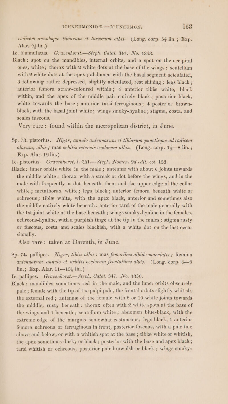 radicem unnuloque tibiarum et tarsorum albis. (Long. corp. 53 lin.; Exp. Alar. 93 lin.) Ic. biannulatus. Gravenhorst.—Steph. Catal. 347. No. 4343. Black: spot on the mandibles, internal orbits, and a spot on the occipital ones, white; thorax with 2 white dots at the base of the wings; scutellum with 2 white dots at the apex ; abdomen with the basal segment aciculated, 3 following rather depressed, slightly aciculated, rest shining ; legs black ; anterior femora straw-coloured within; 4 anterior tibie white, black within, and the apex of the middle pair entirely black ; posterior black, white towards the base; anterior tarsi ferruginous; 4 posterior brown- black, with the basa] joint white; wings smoky-hyaline ; stigma, costa, and scales fuscous. Very rare: found within the metropolitan district, in June. Sp. 73. pistorius. Miger, annulo antennarum et tibiarum punctisque ad radicem alarum, albis ; mas orbitis internis oculorum albis. (Long. corp. 74—8 lin. ; Exp. Alar. 12 lin.) Ic. pistorius. Gravenhorst, 1. 231.—Steph. Nomen. 2d edit. col. 133. Black: inner orbits white in the male ; antenne with about 6 joints towards the middle white ; thorax with a streak or dot before the wings, and in the male with frequently a dot beneath them and the upper edge of the collar white ; metathorax white; legs black; anterior femora beneath white or ochreous ; tibize white, with the apex black, anterior and sometimes also the middle entirely white beneath: anterior tarsi of the male generally with the 1st joint white at the base beneath ; wings smoky-hvaline in the females, ochreous-hyaline, with a purplish tinge at the tip in the males ; stigma rusty or fuscous, costa and scales blackish, with a white dot on the last occa- sionally. Also rare: taken at Darenth, in June. Sp. 74. pallipes. Miger, tibizs albis: mas femoribus albido maculatis ; foemina antennarum annulo et orbitis oculorum frontalibus albis. (Long. corp. 6—8 lin.; Exp. Alar. 11—134 lin.) Ic. pallipes. Gravenhorst.—Steph. Catal. 347. No. 4350. Black : mandibles sometimes red in the male, and the inner orbits obscurely pale ; female with the tip of the palpi pale, the frontal orbits slightly whitish, the external red ; antennze of the female with 8 or 10 white joints towards the middle, rusty beneath: thorax often with 2 white spots at the base of the wings and 1 beneath; scutellum white ; abdomen blue-black, with the extreme edge of the margins somewhat castaneous; legs black, 4 anterior femora ochreous or ferrugivous in front, posterior fuscous, with a pale line above and below, or with a whitish spot at the base ; tibiae white or whitish, the apex sometimes dusky or black ; posterior with the base and apex black ; tarsi whitish or ochreous, posterior pair brownish or black ; wings smoky-