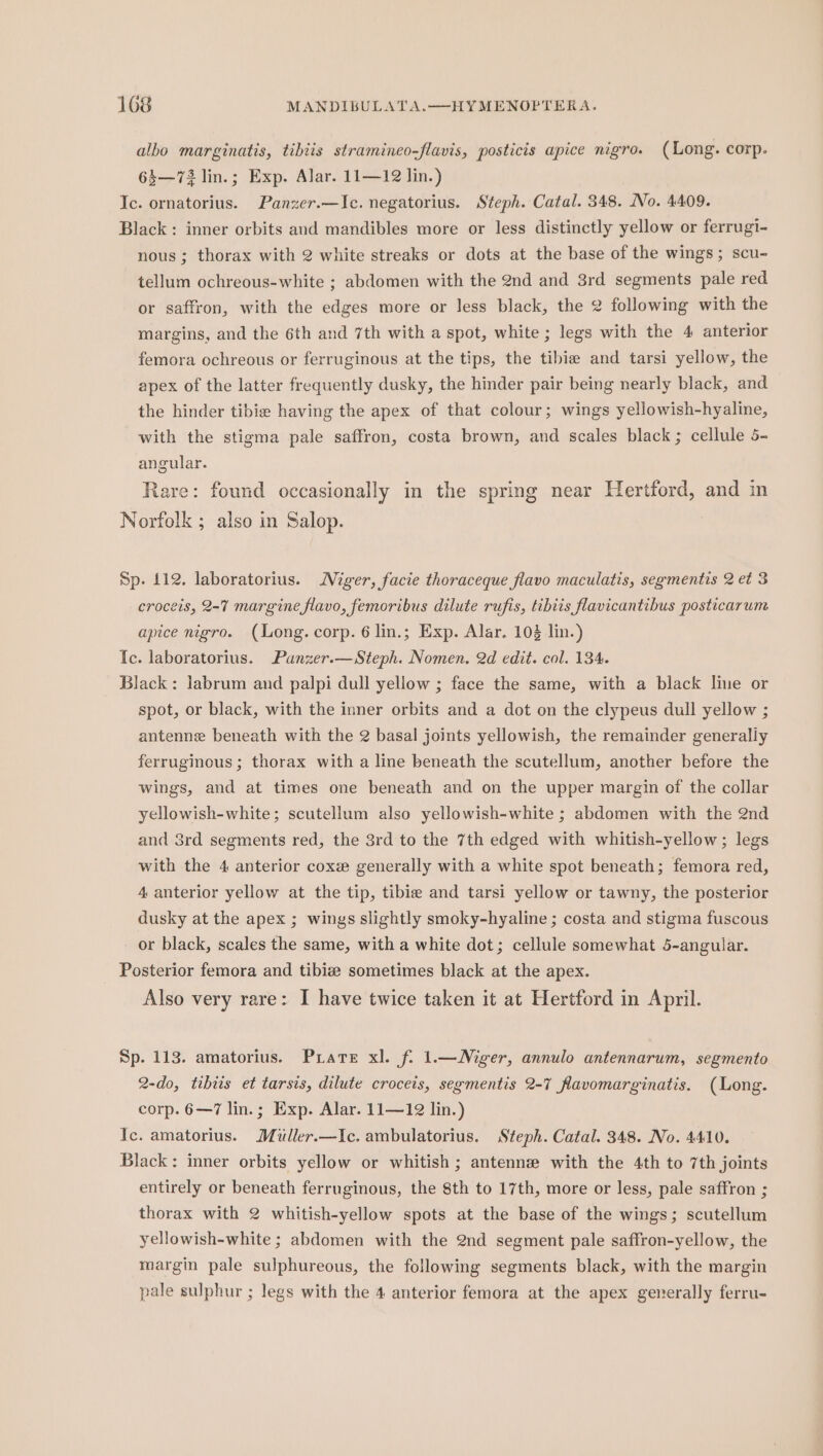 albo marginatis, tibiis stramineo-flavis, posticis apice nigro. (Long. corp. 64—72 lin.; Exp. Alar. 11—12 lin.) Ic. ornatorius. Panzer.—Ic. negatorius. Steph. Catal. 348. No. 4409. Black : inner orbits and mandibles more or less distinctly yellow or ferrugi- nous ; thorax with 2 white streaks or dots at the base of the wings; scu- tellum ochreous-white ; abdomen with the 2nd and 3rd segments pale red or saffron, with the edges more or less black, the 2 following with the margins, and the 6th and 7th with a spot, white; legs with the 4 anterior femora ochreous or ferruginous at the tips, the tibie and tarsi yellow, the apex of the latter frequently dusky, the hinder pair being nearly black, and the hinder tibie having the apex of that colour; wings yellowish-hyaline, with the stigma pale saffron, costa brown, and scales black; cellule 5- angular. Rare: found occasionally in the spring near Hertford, and in Norfolk ; also in Salop. Sp. 112. laboratorius. Niger, facie thoraceque flavo maculatis, segmentis 2 et 3 croceis, 2-7 margine flavo, femoribus dilute rufis, tibiis flavicantibus posticarum apice nigro. (Long. corp. 6 lin.; Exp. Alar. 10% lin.) Ic. laboratorius. Panzer.—Steph. Nomen. 2d edit. col. 134. Black: labrum and palpi dull yellow ; face the same, with a black line or spot, or black, with the inner orbits and a dot on the clypeus dull yellow ; antenne beneath with the 2 basal joints yellowish, the remainder generally ferruginous ; thorax with a line beneath the scutellum, another before the wings, and at times one beneath and on the upper margin of the collar yellowish-white; scutellum also yellowish-white ; abdomen with the 2nd and 3rd segments red, the 3rd to the 7th edged with whitish-yellow; legs with the 4 anterior coxe generally with a white spot beneath; femora red, 4 anterior yellow at the tip, tibie and tarsi yellow or tawny, the posterior dusky at the apex ; wings slightly smoky-hyaline ; costa and stigma fuscous or black, scales the same, with a white dot; cellule somewhat 5-angular. Posterior femora and tibize sometimes black at the apex. Also very rare: I have twice taken it at Hertford in April. Sp. 113. amatorius. Pirate xl. f. 1.—Mger, annulo antennarum, segmento 2-do, tibis et tarsis, dilute croceis, segmentis 2-7 flavomarginatis. (Long. corp. 6—7 lin.; Exp. Alar. 11—1@ lin.) Ic. amatorius. Muller.—Ic. ambulatorius. Steph. Catal. 348. No. 4410. Black: inner orbits yellow or whitish ; antennze with the 4th to 7th joints entirely or beneath ferruginous, the 8th to 17th, more or less, pale saffron ; thorax with 2 whitish-yellow spots at the base of the wings; scutellum yellowish-white ; abdomen with the 2nd segment pale saffron-yellow, the margin pale sulphureous, the following segments black, with the margin pale sulphur ; legs with the 4 anterior femora at the apex generally ferru-